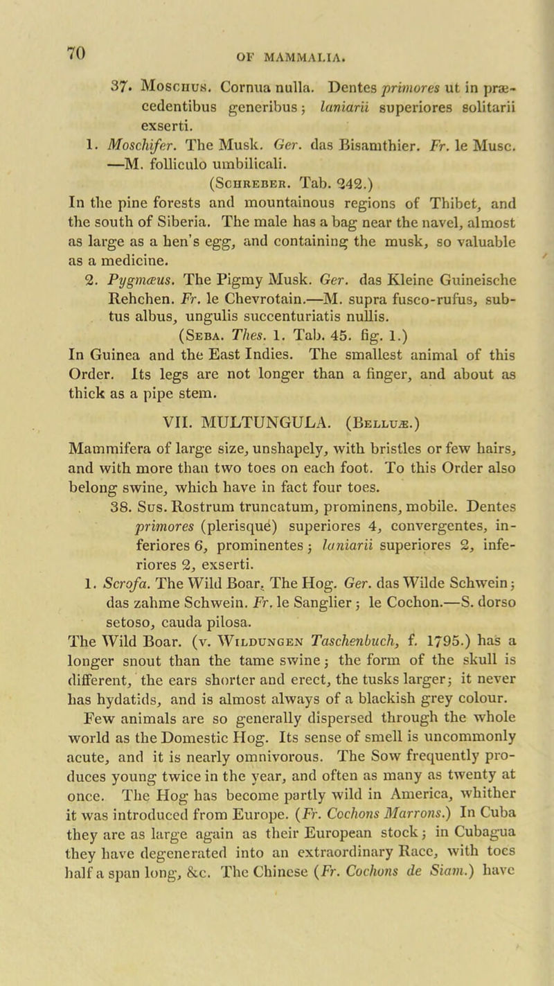 37* Moschus. Cornua nulla. Dentes primores ut in prae- cedentibus generibus; laniarii superiores solitarii exserti. 1. Moschifer. The Musk. Ger. das Bisanithier. Fr. le Muse. —M. folliculo umbilicali. (Schreber. Tab. 242.) In the pine forests and mountainous regions of Thibet, and the south of Siberia. The male has a bag near the navel, almost as large as a hen’s egg, and containing the musk, so valuable as a medicine. 2. Pygmceus. The Pigmy Musk. Ger. das Kleine Guineische Rehchen. Fr. le Chevrotain.—M. supra fusco-rufus, sub- tus albus, ungulis succenturiatis nullis. (Seba. Thes. 1. Tab. 45. fig. 1.) In Guinea and the East Indies. The smallest animal of this Order. Its legs are not longer than a finger, and about as thick as a pipe stem. VII. MULTUNGULA. (Bellu*.) Mammifera of large size, unshapely, with bristles or few hairs, and with more than two toes on each foot. To this Order also belong swine, which have in fact four toes. 38. Sus. Rostrum truncatum, prominens, mobile. Dentes primores (plerisque) superiores 4, convergentes, in- feriores 6, prominentes ; laniarii superiores 2, infe- riors 2, exserti. 1. Scrofa. The Wild Boar. The Hog. Ger. das Wilde Schwein; das zahme Schwein. Fr. le Sanglier ; le Cochon.—S. dorso setoso, cauda pilosa. The Wild Boar. (v. Wildungen Taschenbuch, f. 1795.) has a longer snout than the tame swine ; the form of the skull is different, the ears shorter and erect, the tusks larger; it never has hydatids, and is almost always of a blackish grey colour. Few animals are so generally dispersed through the whole world as the Domestic Hog. Its sense of smell is uncommonly acute, and it is nearly omnivorous. The Sow frequently pro- duces young twice in the year, and often as many as twenty at once. The Hog has become partly wild in America, whither it was introduced from Europe. (Fr. Cochons Marrons.) In Cuba they are as large again as their European stock; in Cubagua they have degenerated into an extraordinary Race, with toes half a span long, &c. The Chinese (Fr. Cochons de Siam.) have
