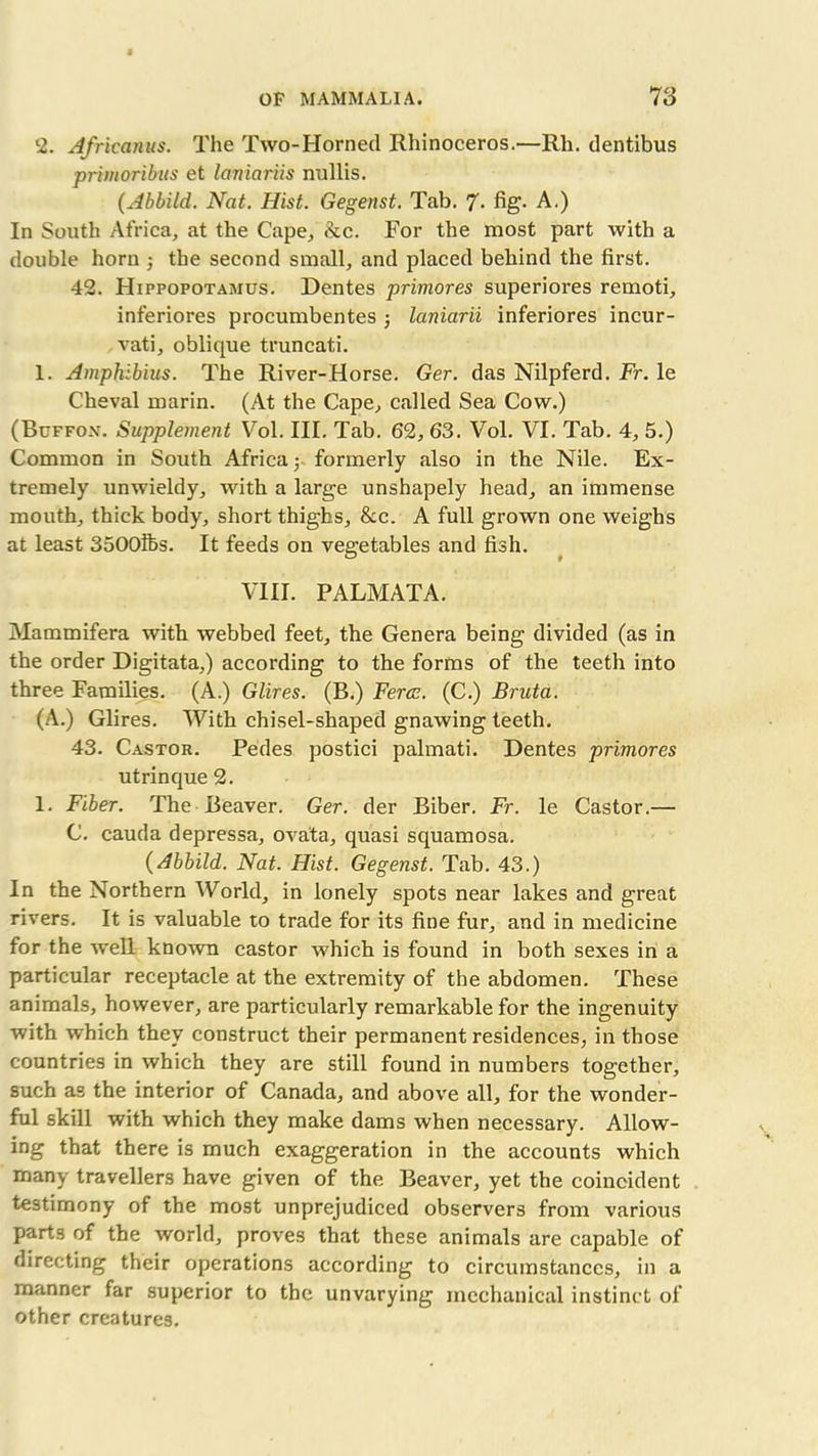 2. Africanus. The Two-Horned Rhinoceros.—Rh. dentibus primoribus et laniariis nullis. (Abbild. Nat. Hist. Gegenst. Tab. 7- fig- A.) In South Africa, at the Cape, &c. For the most part with a double horn ; the second small, and placed behind the first. 42. Hippopotamus. Dentes primores superiores remoti, inf'eriores procumbentes ; laniarii inferiores incur- vati, oblique truncati. I. Amphibius. The River-Horse. Ger. das Nilpferd. Fr. le Cheval marin. (At the Cape, called Sea Cow.) (Buffon. Supplement Vol. III. Tab. 62, 63. Vol. VI. Tab. 4, 5.) Common in South Africa; formerly also in the Nile. Ex- tremely unwieldy, with a large unshapely head, an immense mouth, thick body, short thighs, &c. A full grown one weighs at least 3500lbs. It feeds on vegetables and fish. VIII. PALMATA. Mammifera with webbed feet, the Genera being divided (as in the order Digitata,) according to the forms of the teeth into three Families. (A.) Glires. (B.) Feres. (C.) Bruta. (A.) Glires. With chisel-shaped gnawing teeth. 43. Castor. Pedes postici palmati. Dentes primores utrinque2. 1. Fiber. The Beaver. Ger. der Biber. Fr. le Castor.— C. cauda depressa, ovata, quasi squamosa. (Abbild. Nat. Hist. Gegenst. Tab. 43.) In the Northern World, in lonely spots near lakes and great rivers. It is valuable to trade for its fine fur, and in medicine for the well known castor which is found in both sexes in a particular receptacle at the extremity of the abdomen. These animals, however, are particularly remarkable for the ingenuity with which tbev construct their permanent residences, in those countries in which they are still found in numbers together, such as the interior of Canada, and above all, for the wonder- ful skill with which they make dams when necessary. Allow- ing that there is much exaggeration in the accounts which many travellers have given of the Beaver, yet the coincident testimony of the most unprejudiced observers from various parts of the world, proves that these animals are capable of directing their operations according to circumstances, in a manner far superior to the unvarying mechanical instinct of other creatures.