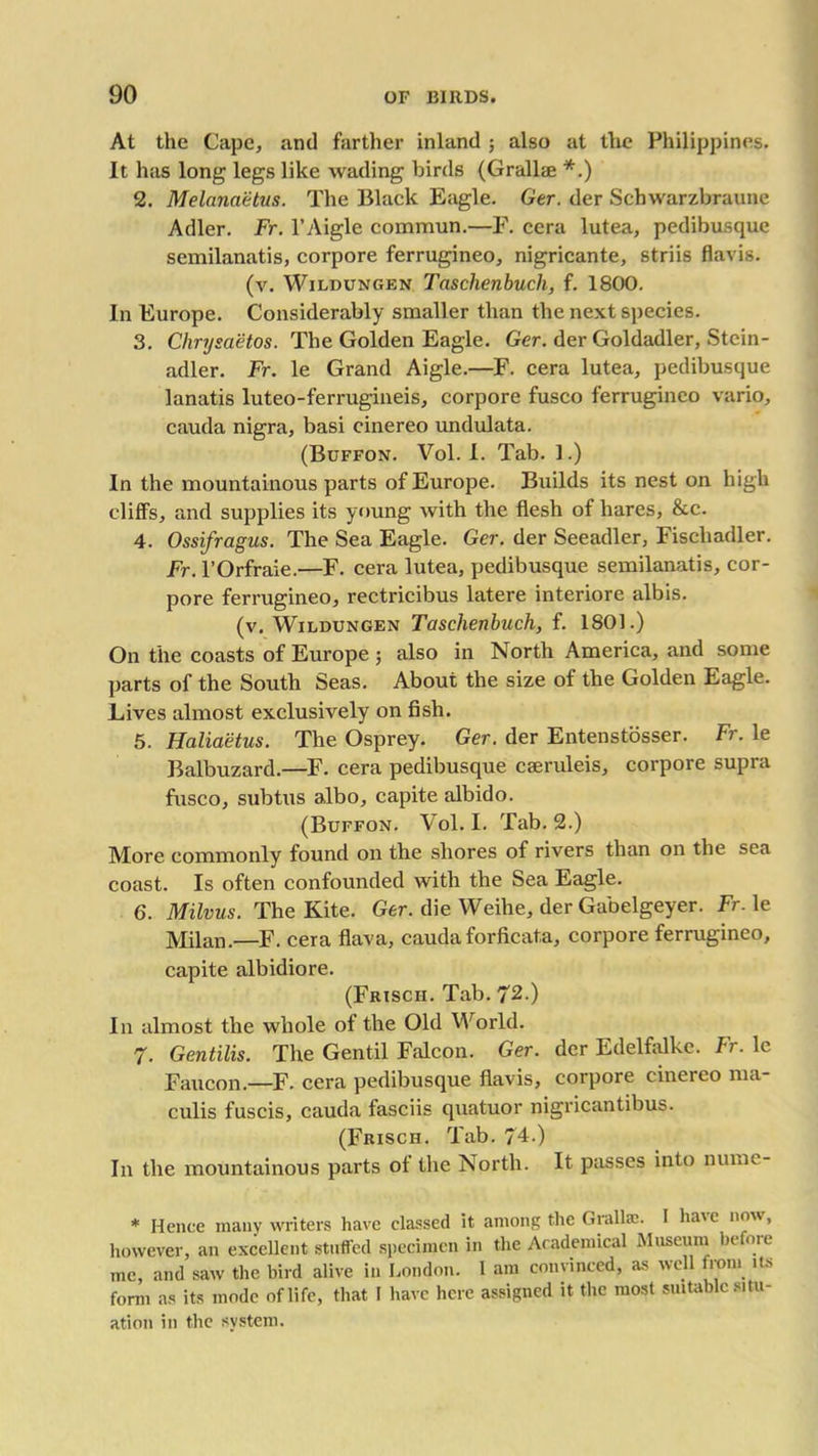 At the Cape, and farther inland ; also at the Philippines. It has long legs like wading birds (Grallae *.) 2. Melanaetns. The Black Eagle. Ger. der Schwarzbraune Adler. Fr. l’Aigle commun.—F. cera lutea, pedibusque semilanatis, corpore ferrugineo, nigricante, striis flavis. (v. Wildungen Taschenbucli, f. 1800. In Europe. Considerably smaller than the next species. 3. Chrysaetos. The Golden Eagle. Ger. der Goldadler, Stcin- adler. Fr. le Grand Aigle.—F. cera lutea, pedibusque lanatis luteo-ferrugineis, corpore fusco ferrugineo vario, cauda nigra, basi cinereo undulata. (Buffon. Vol. I. Tab. 1.) In the mountainous parts of Europe. Builds its nest on high cliffs, and supplies its young with the flesh of hares, &c. 4. Ossifragus. The Sea Eagle. Ger. der Seeadler, Fischadler. Fr. l’Orfraie.—F. cera lutea, pedibusque semilanatis, cor- pore ferrugineo, rectricibus latere interiore albis. (v. Wildungen Taschenbuch, f. 1801.) On the coasts of Europe 5 also in North America, and some parts of the South Seas. About the size of the Golden Eagle. Lives almost exclusively on fish. 5. Haliaetus. The Osprey. Ger. der Entenstosser. Fr. le Balbuzard.—F. cera pedibusque cseruleis, corpore supra fusco, subtus albo, capite albido. (Buffon. Vol. I. Tab. 2.) More commonly found on the shores of rivers than on the sea coast. Is often confounded with the Sea Eagle. 6. Milvus. The Kite. Ger. die Weihe, der Gabelgeyer. Fr. le Milan.—F. cera flava, cauda forficat.a, corpore ferrugineo, capite albidiore. (Frisch. Tab. 72.) In almost the whole of the Old World. 7. Gentilis. The Gentil Falcon. Ger. der Edelfalke. Fr. le Faucon.—F. cera pedibusque flavis, corpore cinereo nni- culis fuscis, cauda fasciis quatuor nigricantibus. (Frisch. Tab. 74.) In the mountainous parts of the North. It passes into numc- * Hence many writers have classed it among the Grallae. I have now, however, an excellent stuffed specimen in the Academical Museum before me, and saw the bird alive in London. 1 am convinced, as well from its form as its mode of life, that I have here assigned it the most suitable situ- ation in the system.