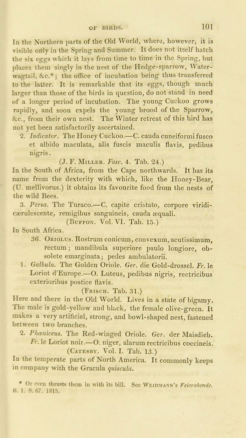 In the Northern parts of the Old World, where, however, it is visible only in the Spring and Summer. It does not itself hatch the six eggs which it lays from time to time in the Spring, but places them singly in the nest of the Hedge-sparrow, Water- wagtail, &c.*; the office of incubation being thus transferred to the latter. It is remarkable that its eggs, though much larger than those of the birds in question, do not stand in need of a longer period of incubation. The young Cuckoo grows rapidly, and soon expels the young brood of the Sparrow, &c., from their own nest. The Winter retreat of this bird has not yet been satisfactorily ascertained. 2. Indicator. The Honey Cuckoo.—C. cauda cuneiformifusco et albido maculata, alis fuscis maculis flavis, pedibus nigris. (J. F. Miller. Fasc. 4. Tab. 24.) In the South of Africa, from the Cape northwards. It has its name from the dexterity with which, like the Honey-Bear, (U. mellivorus.) it obtains its favourite food from the nests of the wild Bees. 3. Persa. The Turaco.—C. capite cristato, corpore viridi- cserulescente, remigibus sanguineis, cauda aequali. (Buffon. Vol. VI. Tab. 15.) In South Africa. 36. Oriolus. Rostrum conicum, convexum, acutissimum, rectum; mandibula superiore paulo longiore, ob- solete emarginata; pedes ambulatorii. 1. Galbula. The Golden Oriole. Ger. die Gold-drossel. Fr. le Loriot d’Europe.—O. Luteus, pedibus nigris, rectricibus exterioribus postice flavis. (Frisch. Tab. 31.) Here and there in the Old World. Lives in a state of bigamy. The male is gold-yellow and black, the female olive-green. It makes a very artificial, strong, and bowl-shaped nest, fastened between two branches. 2. Phceniceus. The Red-winged Oriole. Ger. der Maisdieb. Fr. le Loriot noir.—O. niger, alarum rectricibus coccineis. (Catesby. Vol. I. Tab. 13.) In the temperate parts of North America. It commonly keeps in company with the Gracula quiscula. * Or even thrusts them in with its bill. See Weidmann’s Fcicrabendc. H. 1. S. 67. 1815.