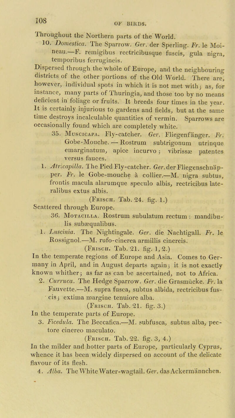 OF BIRDS. lhroughout the Northern parts of the World. 10. Domestica. The Sparrow. Ger. der Sperling. Ft. le Moi- neau.—F. reraigibus rectricibusque fuscis, gula nigra, temporibus ferrugineis. Dispersed through the whole of Europe, and the neighbouring districts of the other portions of the Old World. There are, however, individual spots in which it is not met with; as, for instance, many parts of Thuringia, and those too by no means deficient in foliage or fruits. It breeds four times in the year. It is certainly injurious to gardens and fields, but at the same time destroys incalculable quantities of vermin. Sparrows are occasionally found which are completely white. 35. Muscicapa. Fly-catcher. Ger. Fliegenfiinger. Fr. Gobe-Mouche. •—Rostrum subtrigonum utrinque emarginatum, apice incurvo ; vibrissse patentes versus fauces. 1. Atricapilla. 1 he Pied Fly-catcher. Ger. der Fliegenschnap- per. Fr. le Gobe-mouche a collier.—M. nigra subtus, frontis macula alarumque speculo albis, rectricibus late- ral ibus extus albis. (Frisch. Tab. 24. fig. 1.) Scattered through Europe. 36. Motacilla. Rostrum subulatum rectum : mandibu- lis subaequalibus. 1. Luscinia. The Nightingale. Ger. die Nachtigall. Fr. le Rossignol.—M. rufo-cinerea armillis cinereis. (Frisch. Tab. 21. fig. 1,2.) In the temperate regions of Europe and Asia. Comes to Ger- many in April, and in August departs again; it is not exactly known whither; as far as can be ascertained, not to Africa. 2. Curruca. The Hedge Sparrow. Ger. die Grasmiicke. Fr. la Fauvette.'—M. supra fusca, subtus albida, rectricibus fus- cis; extima margine tenuiore alba. (Frisch. Tab. 21. fig. 3.) In the temperate parts of Europe. 3. Ficedula. The Beccafica.—M. subfusca, subtus alba, pec- tore cinereo maculato. (Frisch. Tab. 22. fig. 3, 4.) In the milder and hotter parts of Europe, particularly Cyprus, whence it has been widely dispersed on account of the delicate flavour of its flesh. 4. Alba. The White Water-wagtail. Ger. dasAckermannchen.