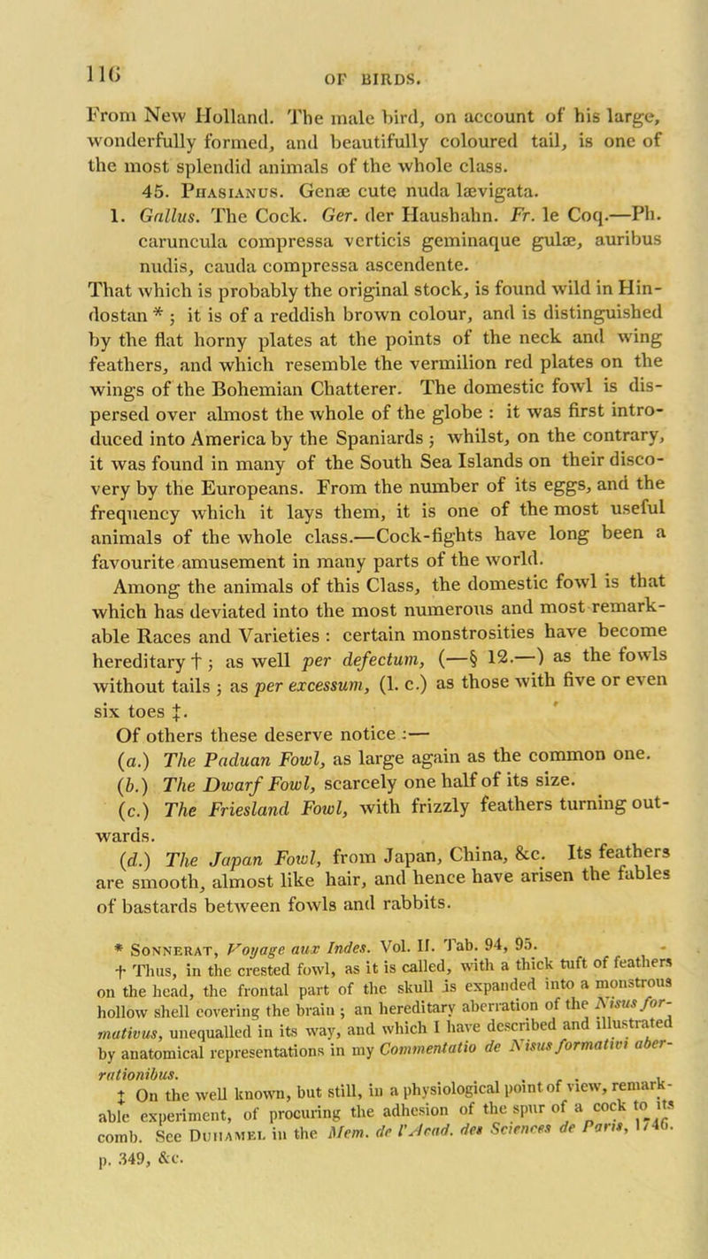 From New Holland. The male bird, on account of his large, wonderfully formed, and beautifully coloured tail, is one of the most splendid animals of the whole class. 45. Piiasianus. Gense cute nuda laevigata. 1. Gallus. The Cock. Ger. der Haushahn. Fr. le Coq.—Ph. caruncula compressa vcrticis geminaque gulae, auribus nudis, cauda compressa ascendente. That which is probably the original stock, is found wild in Hin- dostan * ; it is of a reddish brown colour, and is distinguished by the flat horny plates at the points of the neck and wing feathers, and which resemble the vermilion red plates on the wings of the Bohemian Chatterer. The domestic fowl is dis- persed over almost the whole of the globe : it was first intro- duced into America by the Spaniards ; whilst, on the contrary, it was found in many of the South Sea Islands on their disco- very by the Europeans. From the number of its eggs, and the frequency which it lays them, it is one of the most useful animals of the whole class.—Cock-fights have long been a favourite amusement in many parts of the world. Among the animals of this Class, the domestic fowl is that which has deviated into the most numerous and most remark- able Races and Varieties : certain monstrosities have become hereditary f j as well per defectum, (—§ 12. ) as the fouls without tails ; as per excessum, (1. c.) as those with five or even six toes J. Of others these deserve notice :— (a.) The Paduan Fowl, as large again as the common one. (&.) The Dwarf Fowl, scarcely one half of its size. (c.) The Friesland Fowl, with frizzly feathers turning out- wards. (d.) The Japan Fowl, from Japan, China, &c. Its feathers are smooth, almost like hair, and hence have arisen the fables of bastards between fowls and rabbits. * Sonnerat, Voyage aax Index. Vol. II. rJ ab. 94, 95. f Thus, in the crested fowl, as it is called, with a thick tuft of feathers on the head, the frontal part of the skull is expanded into a monstrous hollow shell covering the brain ; an hereditary aberration of the A isus/or- mativus, unequalled in its way, and which I have described an l ustiate by anatomical representations in my Commentatio de Nisus formatwt aber- rationibus. . , , + On the well known, but still, in a physiological point, of view, remar - able experiment, of procuring the adhesion of the spur of a cock to its comb. See Dumamet. in the Mem. de I'Acad. dee Sciences de Pane, 1/4G. p. 349, &C.