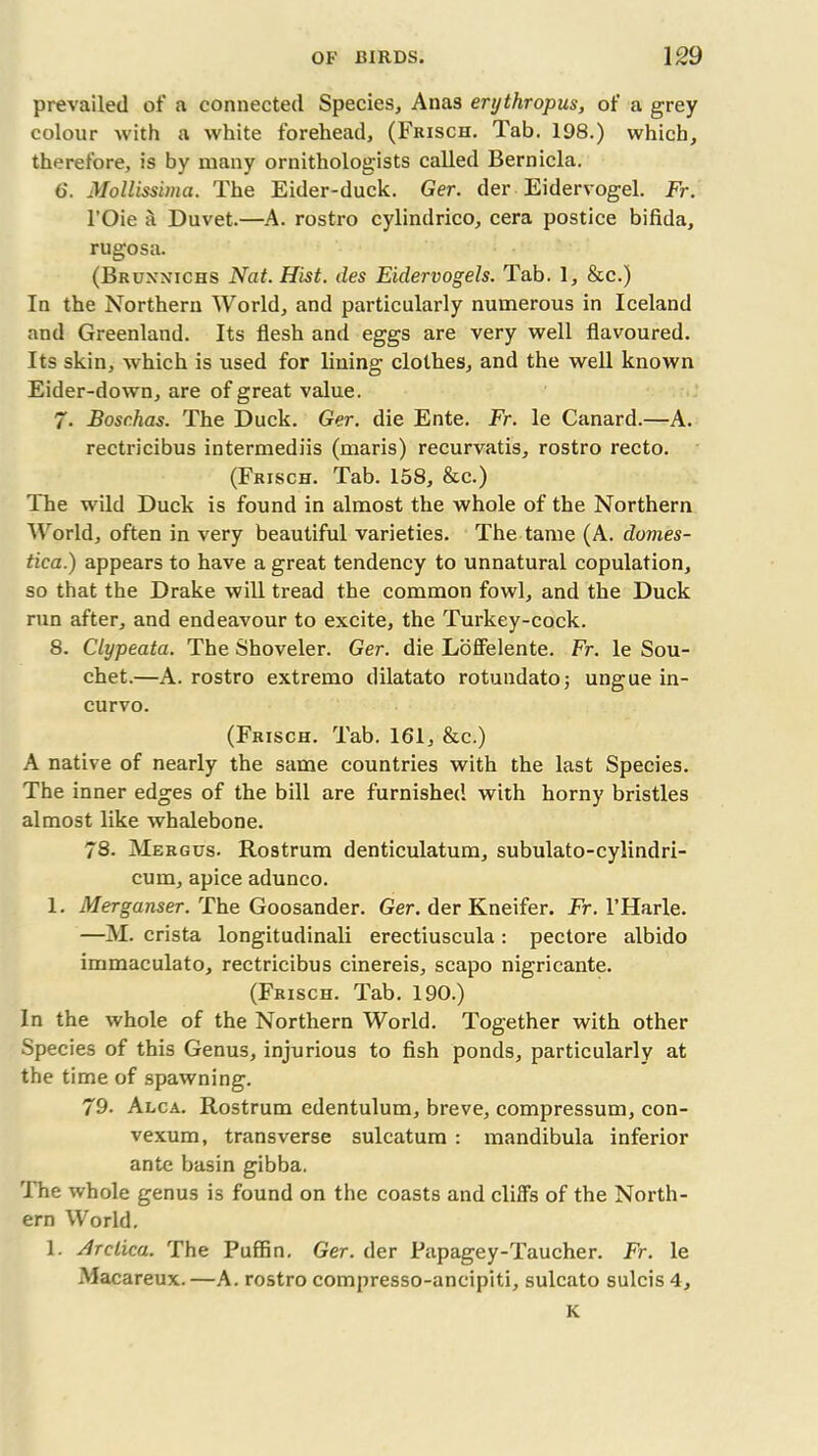 prevailed of a connected Species, Anas erythropus, of a grey colour with a white forehead, (Frisch. Tab. 198.) which, therefore, is by many ornithologists called Bernicla. 6. Mollissima. The Eider-duck. Ger. der Eidervogel. Fr. l’Oie a Duvet.—A. rostro cylindrico, cera postice bifida, rugosa. (Bruxnichs Nat. Hist, des Eidervogels. Tab. 1, &c.) In the Northern World, and particularly numerous in Iceland and Greenland. Its flesh and eggs are very well flavoured. Its skin, which is used for lining clothes, and the well known Eider-down, are of great value. 7- Boschas. The Duck. Ger. die Ente. Fr. le Canard.—A. rectricibus intermediis (maris) recurvatis, rostro recto. (Frisch. Tab. 158, &c.) The wild Duck is found in almost the whole of the Northern World, often in very beautiful varieties. The tame (A. domes- tica.) appears to have a great tendency to unnatural copulation, so that the Drake will tread the common fowl, and the Duck run after, and endeavour to excite, the Turkey-cock. 8. Clypeata. The Shoveler. Ger. die LofFelente. Fr. le Sou- chet.—A. rostro extremo dilatato rotundatoj ungue in- curvo. (Frisch. Tab. 161, &c.) A native of nearly the same countries with the last Species. The inner edges of the bill are furnished with horny bristles almost like whalebone. 78. Mergus. Rostrum denticulatum, subulato-cylindri- cum, apice adunco. 1. Merganser. The Goosander. Ger. der Kneifer. Fr. l’Harle. —M. crista longitudinali erectiuscula : pectore albido immaculato, rectricibus cinereis, scapo nigricante. (Frisch. Tab. 190.) In the whole of the Northern World. Together with other Species of this Genus, injurious to fish ponds, particularly at the time of spawning. 79. Alca. Rostrum edentulum, breve, compressum, con- vexum, transverse sulcatum : mandibula inferior ante basin gibba. The whole genus is found on the coasts and cliffs of the North- ern World. 1. Arctica. The Puffin. Ger. der Papagey-Taucher. Fr. le Macareux. —A. rostro compresso-ancipiti, sulcato sulcis 4, K