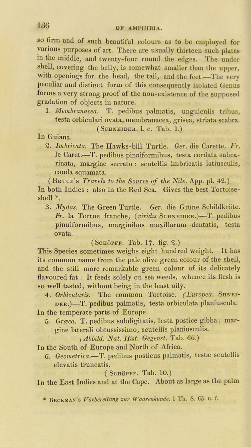 OF AMPHIBIA. so firm und of such beautiful colours as to be employed for various purposes of art. There are usually thirteen such plates in the middle, and twenty-four round the edges. The under shell, covering the belly, is somewhat smaller than the upper, with openings for the head, the tail, and the feet.—The very peculiar and distinct form of this consequently isolated Genus forms a very strong proof of the non-existence of the supposed gradation of objects in nature. 1. Membranacea. T. pedibus palmatis, unguiculis tribus, testa orbiculari ovata, membranacea, grisea, striata scabra. (Schneider. 1. c. Tab. 1.) In Guiana. 2. Imbricata. The Hawks-bill Turtle. Ger. die Carette. Fr. le Caret.—T. pedibus pinniformibus, testa cordata subca- rinata, margine serrato : scutellis imbricatis latiusculis, cauda squamata. (Bruce’s Travels to the Source of the Nile. App. pi. 42.) In both Indies : also in the Red Sea. Gives the best Tortoise- shell * 3. My das. The Green Turtle. Ger. die Grime Schildkrote. Fr. la Tortue tranche, (viridis Schneider.)—T. pedibus pinniformibus, marginibus maxillarum dentatis, testa ovata. (Schopff. Tab. 17. fig. 2.) This Species sometimes weighs eight hundred weight. It has its common name from the pale olive green colour of the shell, and the still more remarkable green colour of its delicately flavoured fat : It feeds solely on sea weeds, whence its flesh is so well tasted, without being in the least oily. 4. Orbicularis. The common Tortoise. (Europea. Shnei- der.)—T. pedibus palmatis, testa orbiculata planiuscula. In the temperate parts of Europe. 5. Grceca. T. pedibus subdigitatis, :esta postice gibba: mar- gine laterali obtussissimo, scutellis planiusculis. t Abbild. Nat. Hist. Gegenst. Tab. 66.) In the South of Europe and North of Africa. 6. Geometrica.—T. pedibus posticus palmatis, testae scutellis elevatis truncatis. ( Schopff. Tab. 10.) In the East Indies and at the Cape. About as large as the palm * Beckman’s Vorbcrcilung zur (Vaarenkunde. 1 Th. S. 63. u. f.