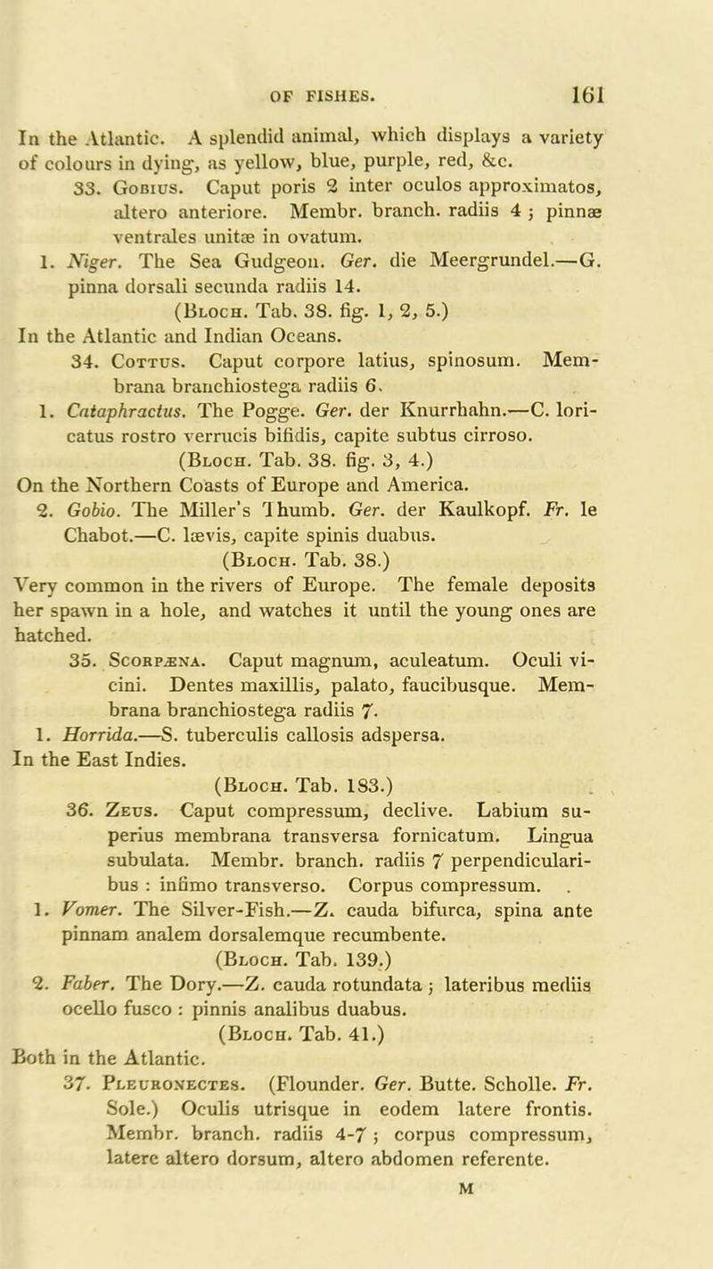 In the Atlantic. A splendid animal, which displays a variety of colours in dying, as yellow, blue, purple, red, &c. 33. Gobius. Caput poris 2 inter oculos approximates, altero anteriore. Membr. branch, radiis 4 j pinnae ventrales unitae in ovatum. 1. Niger. The Sea Gudgeon. Ger. die Meergrundel.—G. pinna dorsali secunda radiis 14. (Bloch. Tab. 3S. fig. 1, 2, 5.) In the Atlantic and Indian Oceans. 34. Cottus. Caput corpore latius, spinosum. Mem- brana branchiostega radiis 6. 1. Cntaphractus. The Pogge. Ger. der Knurrhahn.—C. lori- catus rostro vernicis bifidis, capite subtus cirroso. (Bloch. Tab. 38. fig. 3, 4.) On the Northern Coasts of Europe and America. 2. Gobio. The Miller’s dhumb. Ger. der Kaulkopf. Fr. le Chabot.—C. laevis, capite spinis duabus. (Bloch. Tab. 38.) Very common in the rivers of Europe. The female deposits her spawn in a hole, and watches it until the young ones are hatched. 35. ScoRPiENA. Caput magnum, aculeatum. Oculi vi- cini. Dentes maxillis, palato, faucibusque. Mem- brana branchiostega radiis 7- 1. Horrida.—S. tuberculis callosis adspersa. In the East Indies. (Bloch. Tab. 183.) 36. Zeus. Caput compressum, declive. Labium su- perius membrana transversa fornicatum. Lingua subulata. Membr. branch, radiis 7 perpendiculari- bus : infimo transverso. Corpus compressum. 1. Vomer. The Silver-Fish.—Z. cauda bifurca, spina ante pinnam analem dorsalemque recumbente. (Bloch. Tab. 139.) 2. Faber. The Dory.—Z. cauda rotundata ; lateribus mediis ocello fusco : pinnis analibus duabus. (Bloch. Tab. 41.) Both in the Atlantic. 37. Pleuronectes. (Flounder. Ger. Butte. Scholle. Fr. Sole.) Oculis utrisque in eodem latere frontis. Membr. branch, radiis 4-7; corpus compressum, latere altero dorsum, altero abdomen referente. M