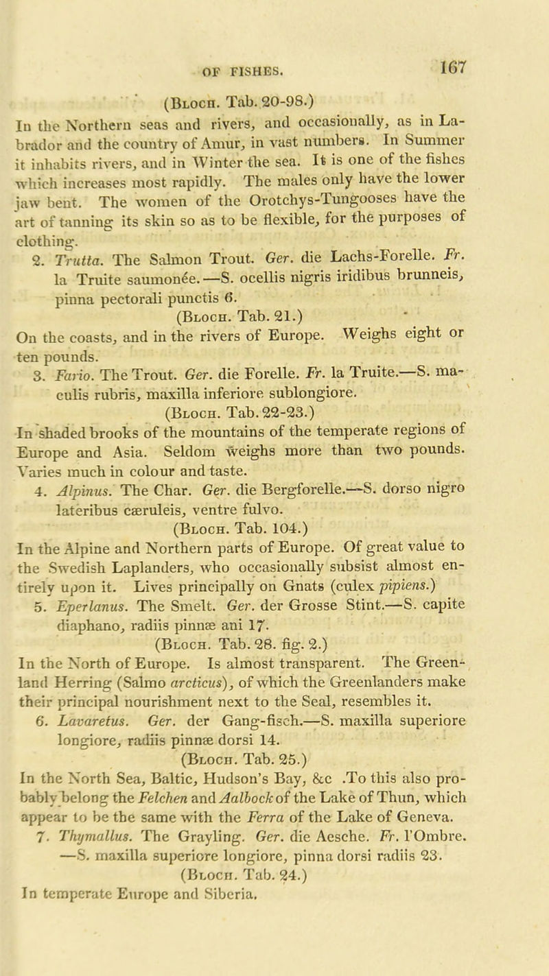 (Blocii. Tab. 20-98.) In the Northern seas anil rivers, anil occasionally, as in La- brador anil the country of Amur, in vast numbers. In Summer it inhabits rivers, anil in Winter the sea. It is one of the fishes which increases most rapidly. The males only have the lower jaw bent. The women of the Orotchys-Tungooses have the art of tanning its skin so as to be flexible, for the purposes of clothing. 2. Trutta. The Salmon Trout. Ger. die Lachs-Forelle. Fr. la Truite saumonee.—S. ocellis nigris iridibus brunneis, pinna pectorali punctis (5. (Bloch. Tab. 21.) On the coasts, and in the rivers of Europe. Weighs eight or ten pounds. 3. Fario. The Trout. Ger. die Forelle. Fr. la Truite.—S. ma- culis rubris, maxilla inferiore sublongiore. (Bloch. Tab. 22-23.) In shaded brooks of the mountains of the temperate regions of Europe and Asia. Seldom weighs more than two pounds. Varies much in colour and taste. 4. Alpinus. The Char. Ger. die Bergforelle.—S. dorso nigro lateribus caeruleis, ventre fulvo. (Bloch. Tab. 104.) In the Alpine and Northern parts of Europe. Of great value to the Swedish Laplanders, who occasionally subsist almost en- tirely upon it. Lives principally on Gnats (culex pipiens.) 5. Eperlanus. The Smelt. Ger. der Grosse Stint.—S. capite diaphano, radiis pinnae ani 17- (Bloch. Tab. 28. fig. 2.) In the North of Europe. Is almost transparent. The Green- land Herring (Salmo arcticus), of which the Greenlanders make their principal nourishment next to the Seal, resembles it. 6. Lavaretus. Ger. der Gang-fiseh.—S. maxilla superiore longiore, radiis pinnae dorsi 14. (Blocii. Tab. 25.) In the North Sea, Baltic, Hudson’s Bay, &c .To this also pro- bably belong the Felchen and Aalbock of the Lake of Thun, which appear to be the same with the Ferra of the Lake of Geneva. 7- Thymallus. The Grayling. Ger. die Aesche. Fr. l’Ombre. —S. maxilla superiore longiore, pinna dorsi radiis 23. (Blocii. Tab. 24.) In temperate Europe and Siberia.