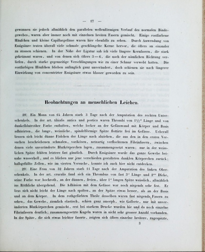 gewannen sie jedoch allmahlich den parallelen wellenforraigen Vcrlauf des normalen Binde- gewebes, waren aber imtner noch rait einzelnen breiten Fasern gemischt. Einige rostfarbene Haufchen und kleine Capillargefasse waren bier ebenfails zu sehen. Dureh Anwendung von Essigsaure traten uberall viele schmale geschlangelte Kerne hervor, die ofters an einander zu stossen schienen. In der Nahe der Ligatur sah ich viele langere Kernfasern, die stark gekrummt waren, und von denen sich ofters 3 — 6, die nach der namlichen Richtung ver- liefen, durch starke gegenseitige Verschlingungen wie zu einer Schnur verwebt batten. Die rostfarbigen Haufchen blieben anfanglich ganz unverandert, doth schienen sie nach langerer Einwirkung von concentrirter Essigsaure etwas blasser geworden zu sein. Beobaclitungen an menschlichen Leicheii. ■ 28) Ein Mann von 6i Jahren starb 3 Tage nach der Amputation des rechten Lnter- schenkels. In der art. tibialis antica und postica waren Thrombi von 11/2 Lange und von dunkelblutrother Farbe enthalten, welche locker an der Gefasswand mit Kdrper und Basis adharirten, die lange, weissliche, spindelformige Spitze flottirte frei im Gefasse. Ueberall liessen sich leicht diinne Fadchen der Lange nach abziehen, die aus den in den ersten Ver- suchen beschriebenen schmalen, varikosen, netzartig verflochtenen Fibrinfasern, zwischen denen viele unveranderte Blutkorperchen lagen, zusammengesetzt waren; nur in der weiss- lichen Spitze fehlten letztere fast ganzlich. Durch Essigsaure wurde das ganze Gewebe bei- nahe wasserhell, und es blieben nur jene verschieden geslalteten dunklen Kdrperchen zuriick; halbgefiillte Zellen, wie im vierten Yersuchc, konnte ich auch hier nicht entdecken. 29) Eine Frau von 32 Jahren starb 11 Tage nach der Amputation des linken Ober- schenkels. In der art. cruralis fand sich ein Thrombus von fast 3 Lange und 2' Dicke, seine Farbe war hochroth, an der diinnen, freien, iiber 1 langen Spitze weisslich, allmahlich ins Rothliche ubergehend. Die Adhasion mit dem Gefasse war noch nirgends sehr fest. Er liess sich nicht leicht der Lange nach spalten, an der Spitze etwas besser, ais an der Basis und an dem Kdrper. In dem rothgefarbten Theile desselben waren fast nirgends, Fasern zu sehen, das Gewebe, ziemlich elastisch, schien ganz amorph, wie Gallerte, nur mit unver- anderten Blutkorperchen gemischt, erst bei starkem Drucke wurden hie und da noch einzelne Fibrinfasern deutlich; zusammengesetzte Kugeln waren in nicht sehr grosser Anzahl vorhanden. In der Spitze, die sich etwas leichter faserte, zeigten sich ofters einzelne breitere, zugespiizte, 3 it