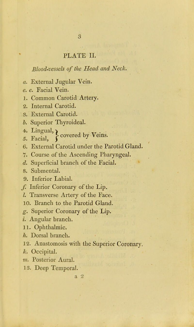 PLATE II. Blood-vessels of the Head and Neck. a. External Jugular Vein. e. e. Facial Vein. 1. Common Carotid Artery. 2. Internal Carotid. 5. External Carotid. b. Superior Thyroideal. 5 FaXr*’ f by Veins. 6. External Carotid under the Parotid Gland. 7. Course of the Ascending Pharyngeal. d. Superficial branch of the Facial. ^ 8. Submental. 9. Inferior Labial. f Inferior Coronary of the Lip. l. Transverse Artery of the Face. 10. Branch to the Parotid Gland. g. Superior Coronary of the Lip. i. Angular branch. 11. Ophthalmic. h. Dorsal branch. 12. Anastomosis with the Superior Coronary. k. Occipital. m. Posterior Aural. 13. Deep Temporal. a 2