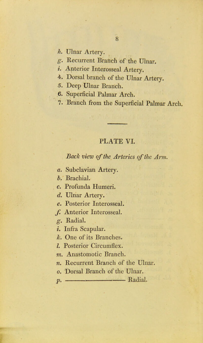 h. Ulnar Artery. g. Recurrent Branch of the Ulnar. i. Anterior Interosseal Artery. 4. Dorsal branch of the Ulnar Artery. 5. Deep Ulnar Branch. 6. Superficial Palmar Arch. 7. Branch from the Superficial Palmar Arch. PLATE VI. Bach view of the^ Arteries of the Arm, a. Subclavian Artery. b. Brachial. c. Profunda Humeri. d. Ulnar Artery. e. Posterior Interosseal. f Anterior Interosseal. g. Radial. i. Infra Scapular. h. One of its Branches. l. Posterior Circumflex. m. Anastomotic Branch. n. Recurrent Branch of the Ulnar. 0. Dorsal Branch of the Ulnar. p, 1 Radial.