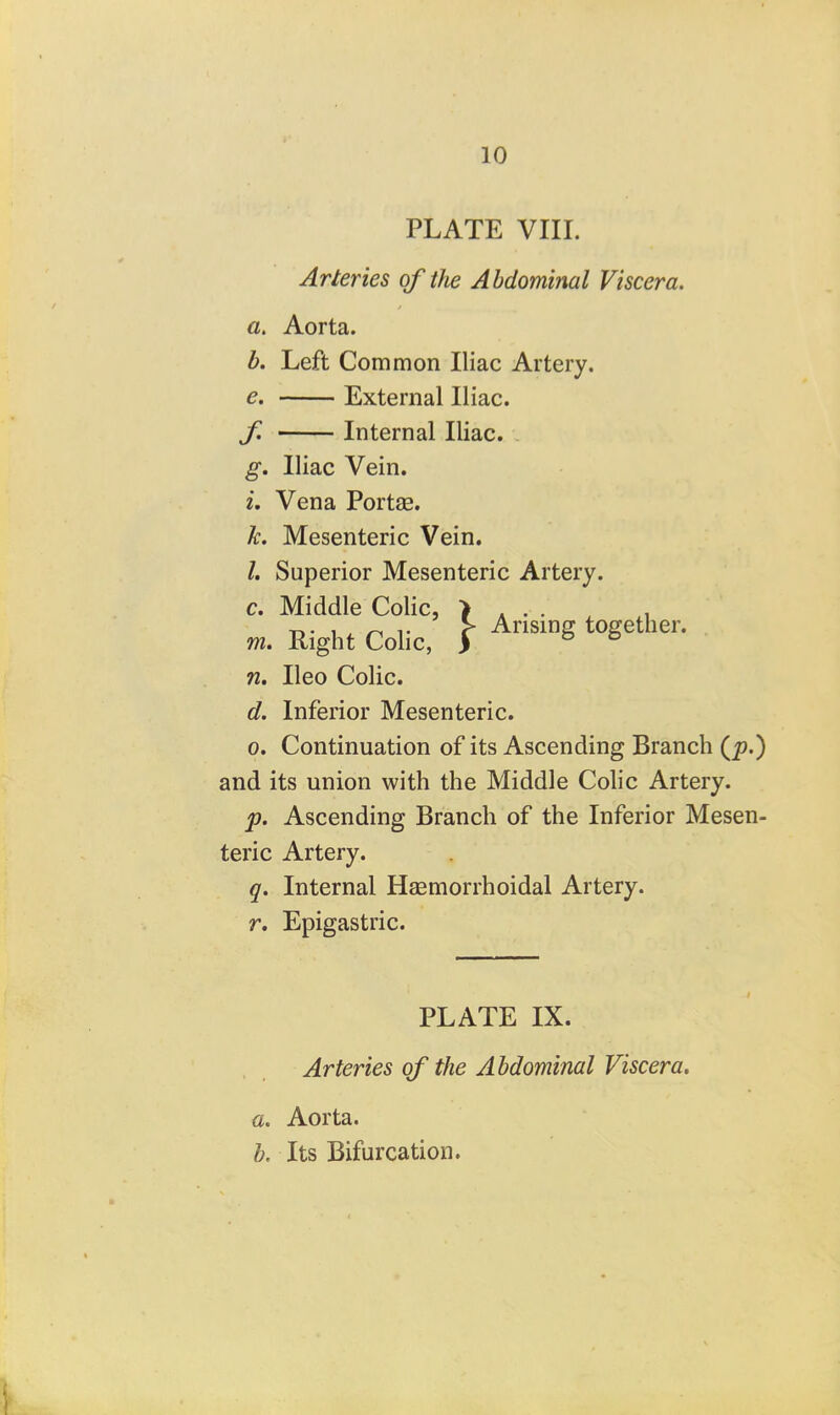 PLATE VIII. Arteries of tJw Abdominal Viscera. a. Aorta. b. Left Common Iliac Artery. e. External Iliac. f Internal Iliac. . g. Iliac Vein. i. Vena Portae. k. Mesenteric Vein. l. Superior Mesenteric Artery. c. Middle Colic, > . . . , m. Right Colic, f n. Ileo Colic. d. Inferior Mesenteric. 0. Continuation of its Ascending Branch (^.) and its union with the Middle Colic Artery. p. Ascending Branch of the Inferior Mesen- teric Artery. q. Internal Haemorrhoidal Artery. r. Epigastric. PLATE IX. Arteries of the Abdominal Viscera. a. Aorta. b. Its Bifurcation.