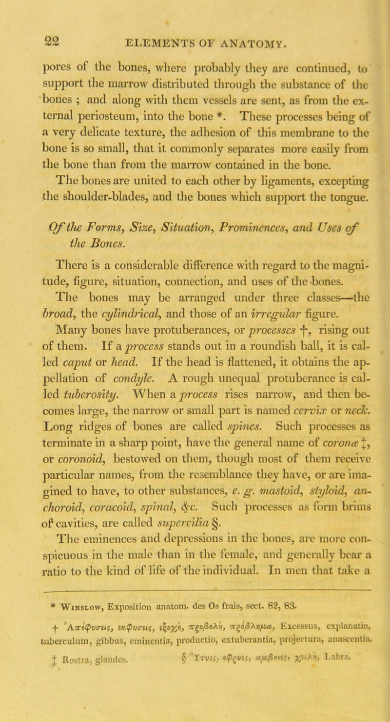 pores of the bones, where probably they are continued, to support the marrow distributed through the substance of the bones ; and along with them vessels are sent, as from the ex- ternal periosteum, into the bone *. These processes being of a very delicate texture, the adhesion of this membrane to the bone is so small, that it commonly separates more easily from the bone than from the marrow contained in the bone. The bones are united to each other by ligaments, excepting the shoulder-blades, and the bones which support the tongue. Of the Forms, Size, Situation, Prominences, and Uses of the Bones. There is a considerable difference with regard to the magni- tude, figure, situation, connection, and uses of the -bones. The bones may be arranged under three classes—the broad, the cylindrical, and those of an irregular figure. Many bones have protuberances, or processes *)*, rising out of them. If a. process stands out in a roundish ball, it is cal- led caput or head. If the head is flattened, it obtains the ap- pellation of condyle. A rough unequal protuberance is cal- led tuberosity. When a process rises narrow, and then be- comes large, the narrow or small part is named cervix or ncclc. Long ridges of bones are called spines. Such processes as terminate in a sharp point, have the general name of corona j, or coronoid, bestowed on them, though most of them receive particular names, from the resemblance they have, or are ima- gined to have, to other substances, e. g. mastoid, styloid, an- choroid, coracoid, spinal, §c. Such processes as form brims of cavities, are called supercilia §. The eminences and depressions in the bones, are more con- spicuous in the male than in the female, and generally bear a ratio to the kind of life of the individual. In men that take a • Winslow, Exposition anatom, des Os frais, sect. 82, 83. + ’ATToipvo-iiq, ucCpvcruq, 7rgo/2hmput, Excessus, explanatio, tuberculum, gibbus, eminentia, produclio, extuberantia, projectura, anascentia. + Rostra, glandes. § ’'Ttvij, Labra.