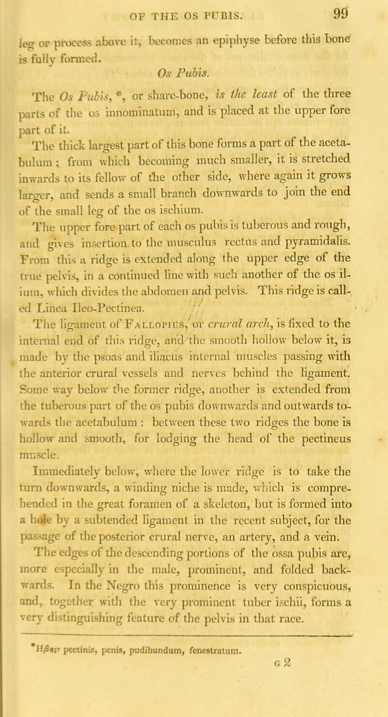 OF THE OS PUBIS. 90 jeo- or process above it, becomes an epiphyse before this bone is fully formed. Os Pubis. The Os Pubis, *, or share-bone, is the least of the three parts of the os innominatmn, and is placed at the upper fore part of it. The thick largest part of this bone forms a part of the aceta- bulum ; from which becoming much smaller, it is stretched inwards to its fellow of tlie other side, where again it grows larger, and sends a small branch downwards to join the end of the small leg of the os ischium. The upper fore part of each os pubis is tuberous and rough, and gives insertion to the musculus rectus and pyramidahs. From this a ridge is extended along the upper edge of the true pelvis, in a continued line with such another of the os il- ium, which divides the abdomen and pelvis. This ridge is call- ed Linea Ileo-Pectinea. The ligament of Fallopius, or crural arch, is fixed to the internal end of this ridge, and the smooth hollow below it, is made by the psoas and iliacus internal muscles passing with the anterior crural vessels and nerves behind the ligament. Some way below the former ridge, another is extended from the tuberous part of the os pubis downwards and outwards to- wards the acetabulum : between these two ridges the bone is hollow and smooth, for lodging the head of the pectineus muscle. Immediately below, where the lower ridge is to take the turn downwards, a winding niche is made, which is compre- hended in the great foramen of a skeleton, but is formed into a hole by a subtended ligament in the recent subject, for the passage of the posterior crural nerve, an artery, and a vein. The edges of the descending portions of the ossa pubis are, more especially in the male, prominent, and folded back- wards. In the Negro this prominence is very conspicuous, and, together with the very prominent tuber ischii, forms a very distinguishing feature of the pelvis in that race. pectinis, penis, pudibundum, fenestratum.