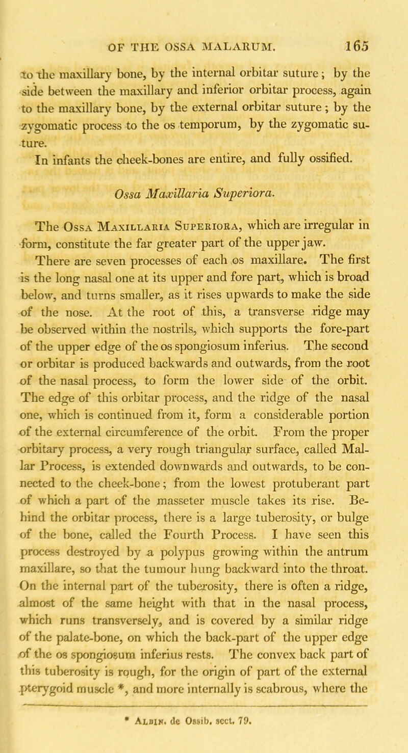 to the maxillary bone, by the internal orbital- suture ; by the side between the maxillary and inferior orbitar process, again to the maxillary bone, by the external orbitar suture; by the zygomatic process to the os temporum, by the zygomatic su- ture. In infants the cheek-bones are entire, and fully ossified. Ossa Maxillaria Superior a. The Ossa Maxillaeia Superiora, which are irregular in form, constitute the far greater part of the upper jaw. There are seven processes of each os maxillare. The first is the long nasal one at its upper and fore part, which is broad below, and tui*ns smaller, as it rises upwards to make the side of the nose. At the root of this, a transverse ridge may be observed within the nostrils, which supports the fore-part of the upper edge of the os spongiosum inferius. The second or orbitar is produced backwards and outwards, from the root of the nasal process, to form the lower side of the orbit. The edge of this orbitar process, and the ridge of the nasal one, which is continued from it, form a considerable portion of the external circumference of the orbit. From the proper orbitary process, a very rough triangular surface, called Mal- lar Process, is extended downwards and outwards, to be con- nected to the cheek-bone; from the lowest protuberant part of which a part of the masseter muscle takes its rise. Be- hind the orbitar process, there is a large tuberosity, or bulge of the bone, called the Fourth Process. I have seen this process destroyed by n, polypus growing within the antrum maxillare, so that the tumour hung backAvard into the throat. On the internal part of the tuberosity, there is often a ridge, almost of the same height Avith that in the nasal process, which runs transversely, and is covered by a similar ridge of the palate-bone, on which the back-part of the upper edge of the os spongiosum inferius rests. The convex back part of this tuberosity is rough, for the origin of part of the external pterygoid muscle *, and more internally is scabrous, Avhcre the * Albxn. de Ossib. sect, 79.
