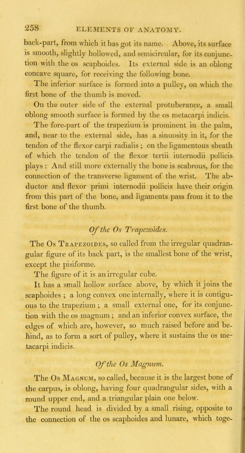 back-part, from which it has got its name. Above, its surface is smooth, slightly hollowed, and semicircular, for its conjunc- tion with the os scaphoides. Its external side is an oblong concave square, for receiving the following bone. The inferior surface is formed into a pulley, on which the first bone of the thumb is moved. On the outer side of the external protuberance, a small oblong smooth surface is formed by the os metacarpi indicis. The fore-part of the trapezium is prominent in the palm, and, near to the external side, has a sinuosity in it, for the tendon of the flexor carpi radialis ; on the ligamentous sheath of which the tendon of the flexor tertii internodii pollicis plays : And still more externally the bone is scabrous, for the connection of the transverse ligament of the wrist. The ab- ductor and flexor primi internodii pollicis have their origin from this part of the bone, and ligaments pass from it to the first bone of the thumb. Of the Os Trapezoides. The Os Trapezoides, so called from the irregular quadran- gular figure of its back part, is the smallest bone of the wrist, except the pisiforme. The figure of it is an irregular cube. It has a small hollow surface above, by which it joins the scaphoides ; a long convex one internally, where it is contigu- ous to the trapezium ; a small external one, for its conjunc- tion with the os magnum ; and an inferior convex surface, the edges of which are, however, so much raised before and be- hind, as to form a sort of pulley, where it sustains the os me- tacarpi indicis. Of the Os Magnum. The Os Magnum, so called, because it is the largest bone of the carpus, is oblong, having four quadrangular sides, with a round upper end, and a triangular plain one below. The round head is divided by a small rising, opposite to the connection of the os scaphoides and lunare, which toge-