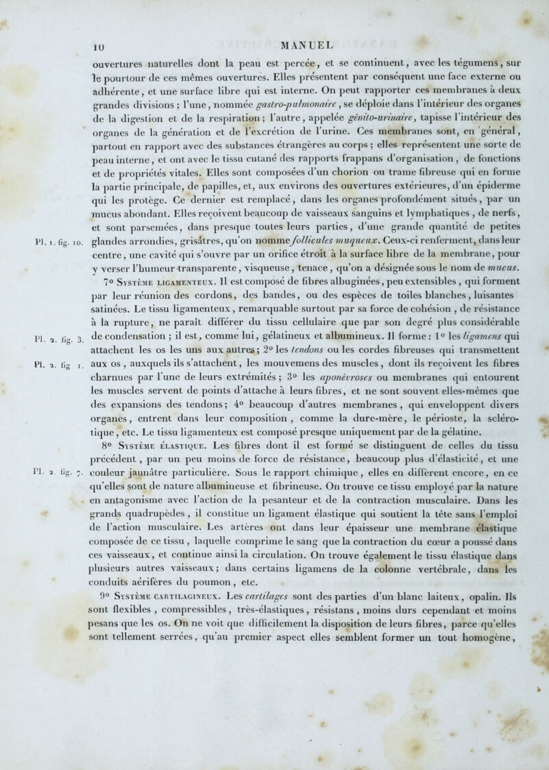 lU ouvertures naturelles dont la peau est percée, et se continuent, avec les tégumens, sur ïe pourtour de ces mêmes ouvertures. Elles présentent par consécpient une face externe ou adliérente, et une surface libre qui est interne. On peut rapporter ces membranes à deux grandes divisions ; l’une, nommée gaslro-pulmonairc, se déploie dans l’intérieur des organes de la digestion et de la respiration; l’autre, appelée génilo-urinaire, tapisse l’intérieur des organes de la génération et de l’excrétion de l’urine. Ces membranes sont, en 'général, partout en rapport avec des substances étrangères au corps ; elles représentent une sorte de peau interne , et ont avec le tissu cutané des rapports frappans d’organisation , de fonctions et de propriétés vitales. Elles sont composées d’un chorion ou trame fibreuse qui en forme la partie principale, de papilles, et, aux environs des ouvertures extérieures, d’un épiderme ({ui les protège. Ce dernier est remplacé, dans les organes profondément situés, par un mucus abondant. Elles reçoivent beaucoup de vaisseaux sanguins et lymphatiques , de nerfs, et sont parsemées, dans presque toutes leurs parties, d’une grande quantité de petites PI. I. fig. 10. glandes arrondies, grisâtres, qu’on nommefollicules muqueux. Ceux-ci renferment, dansleur centre, une cavité qui s’ouvre par un orifice étroit à la surface libre de la membrane, pour y verser l’humeur transparente, visqueuse, tenace, qu’on a désignée sous le nom de mucus. 7° Système ligamenteux. Il est composé de fibres albuginées, peu extensibles , qui forment par leur réunion des cordons, des bandes, ou des espèces de toiles blanches, luisantes satinées. Le tissu ligamenteux, remarquable surtout par sa force de cohésion , de résistance à la rupture, ne paraît différer du tissu cellulaire que par son degré plus considérable PI. 1 fi 3 condensation ; il est, comme lui, gélatineux et albumineux. Il forme : 1° les ligamens qui attachent les os les uns aux autres; 2° les tendons ouïes cordes fibreuses qui transmettent PI. 1. fig I. aux os, auxquels ils s’attachent, les mouvemens des muscles, dont ils reçoivent les fibres charnues par l’une de leurs extrémités ; 3° les aponévroses ou membranes qui entourent les muscles servent de points d’attache à leurs fibres, et ne sont souvent elles-mêmes que des expansions des tendons ; 4° beaucoup d’autres membranes , qui enveloppent divers organes, entrent dans leur composition, comme la dure-mère, le périoste, la scléro- tique , etc. Le tissu ligamenteux est composé presque uniquement par de la gélatine. 8° Système élastique. Les fibres dont il est formé se distinguent de celles du tissu précédent , par un peu moins de force de résistance, beaucoup plus d’élasticité, et une PI. 2 fig. 7. couleur jaunâtre particulière. Sous le rapport chimique, elles en diffèrent encore, en ce qu’elles sont de nature albumineuse et fibrineuse. On trouve ce tissu employé par la nature en antagonisme avec l’action de la pesanteur et de la contraction musculaire. Dans les grands quadrupèdes , il constitue un ligament élastique qui soutient la tête sans l’emploi de l’action musculaire. Les artères ont dans leur épaisseur une membrane élastique composée de ce tissu , laquelle comprime le sang que la contraction du cœur a poussé dans ces vaisseaux, et continue ainsi la circulation. On trouve également le tissu élastique dans plusieurs autres vaisseaux; dans certains ligamens de la colonne vertébrale, dans les conduits aérifères du poumon, etc. Système CARTILAGINEUX, hescartilages sont des parties d’un blanc laiteux, opalin. Ils sont flexibles , compressibles, très-élastiques, résistans , moins durs cependant et moins pesans que les os. On ne voit que difficilement la disposition de leurs fibres, parce qu’elles sont tellement serrées, qu’au premier aspect elles semblent former un tout homogène,