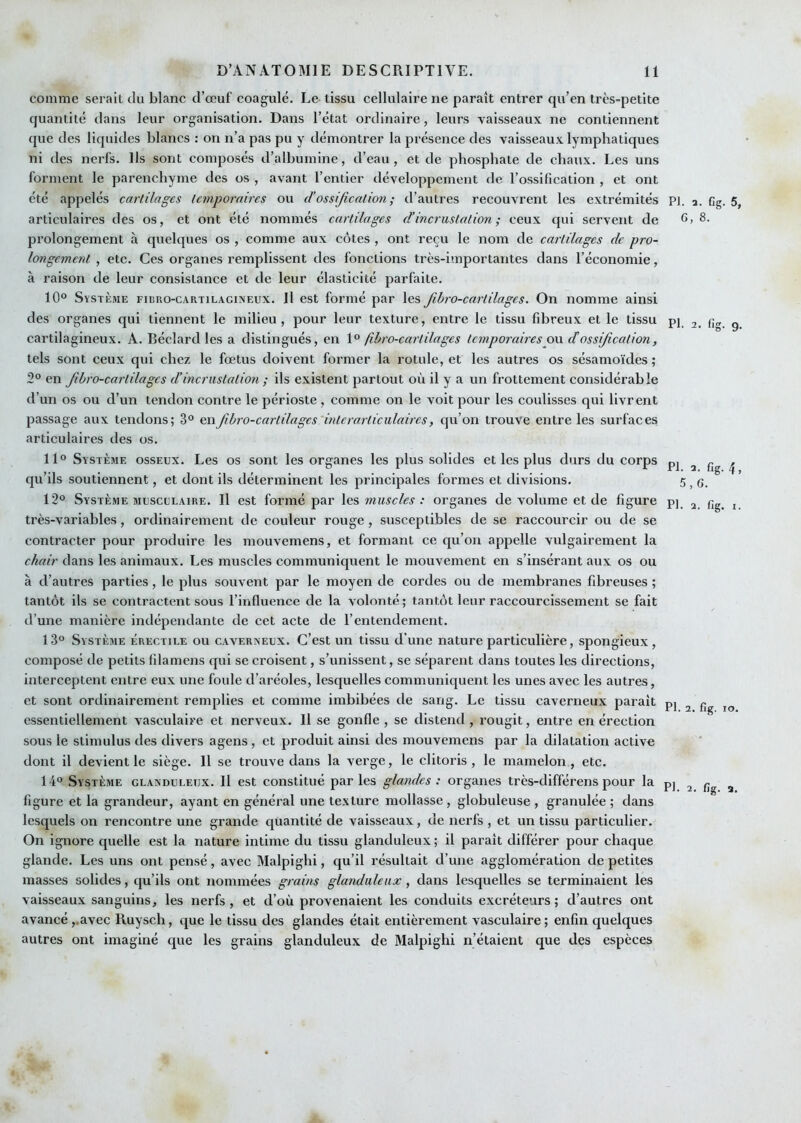 comme serait du blanc d’œuf coagulé. Le- tissu cellulaire ne paraît entrer qu’en très-petite quantité dans leur organisation. Dans l’état ordinaire, leurs vaisseaux ne contiennent que des liquides blancs : on n’a pas pu y démontrer la présence des vaisseaux lymphatiques ni des nerfs. Ils sont composés d’albumine, d’eau, et de phosphate de chaux. Les uns forment le parenchyme des os , avant l’entier développement de l’ossification , et ont été appelés cartilages temporaires ou d'ossification; d’autres recouvrent les extrémités articulaires des os, et ont été nommés cartilages d’incrustation ; ceux qui servent de prolongement à quelques os , comme aux côtes , ont reçu le nom de cartilages de pro- longement , etc. Ces organes remplissent des fonctions très-importantes dans l’économie, à raison de leur consistance et de leur élasticité parfaite. 10° Système ficro-cartilaciineux. Il est formé par les fihro-cartilages. On nomme ainsi des organes qui tiennent le milieu, pour leur texture, entre le tissu fdjreux et le tissu cartilagineux. A. Béclard les a distingués, en \° fibro-cartliages temporairespw dtossification, tels sont ceux qui chez le fœtus doivent former la rotule, et les autres os sésamoïdes ; 2° en fibro-cartilages d’incrustation ; ils existent partout où il y a un frottement considérable d’un os ou d’un tendon contre le périoste , comme on le volt pour les coulisses qui livrent passage aux tendons; 3° en fibro-cartilages'interarticulaircs, qu’on trouve entre les surfaces articulaires des os. 11° Système osseux. Les os sont les organes les plus solides et les plus durs du corps qu’ils soutiennent, et dont ils déterminent les principales formes et divisions. 12° Système MUSCULAIRE. Il est formé par les muscles : organes de volume et de figure très-variables, ordinairement de couleur rouge, susceptibles de se raccourcir ou de se contracter pour produire les mouvemens, et formant ce qu’on appelle vulgairement la chair dans les animaux. Les muscles communiquent le mouvement en s’insérant aux os ou à d’autres parties, le plus souvent par le moyen de cordes ou de membranes fibreuses ; tantôt ils se contractent sous l’influence de la volonté; tantôt leur raccourcissement se fait d’une manière indépendante de cet acte de l’entendement. 13° Système Érectile ou caverneux. C’est un tissu d’une nature particulière, spongieux, composé de petits fdamens qui se croisent, s’unissent, se séparent dans toutes les directions, interceptent entre eux une foule d’aréoles, lesquelles communiquent les unes avec les autres, et sont ordinairement remplies et comme imbibées de sang. Le tissu caverneux paraît essentiellement vasculaire et nerveux. Il se gonfle , se distend , rougit, entre en érection sous le stimulus des divers agens, et produit ainsi des mouvemens par la dilatation active dont il devient le siège. 11 se trouve dans la verge, le clitoris , le mamelon , etc. 14° Système glanduleux. Il est constitué parles glandes : organes très-différens pour la figure et la grandeur, ayant en général une texture mollasse , globuleuse , granulée ; dans lesquels on rencontre une grande quantité de vaisseaux, de nerfs , et un tissu particulier. On ignore quelle est la nature intime du tissu glanduleux ; il paraît différer pour chaque glande. Les uns ont pensé, avec Malpighi, qu’il résultait d’une agglomération de petites masses solides, qu’ils ont nommées grains glanduleux, dans lesquelles se terminaient les vaisseaux sanguins, les nerfs, et d’où provenaient les conduits excréteurs; d’autres ont avancé ,.avec Ruyscli, que le tissu des glandes était entièrement vasculaire ; enfin quelques autres ont imaginé que les grains glanduleux de Malpighi n’étaient que des espèces PL a. Cg. 5, 6, 8. PL 2. fig. g. PL a. fig. 4, 5, G. PL a. fig. I. PL 2. fig. lO. Pf. 2. fig. a.