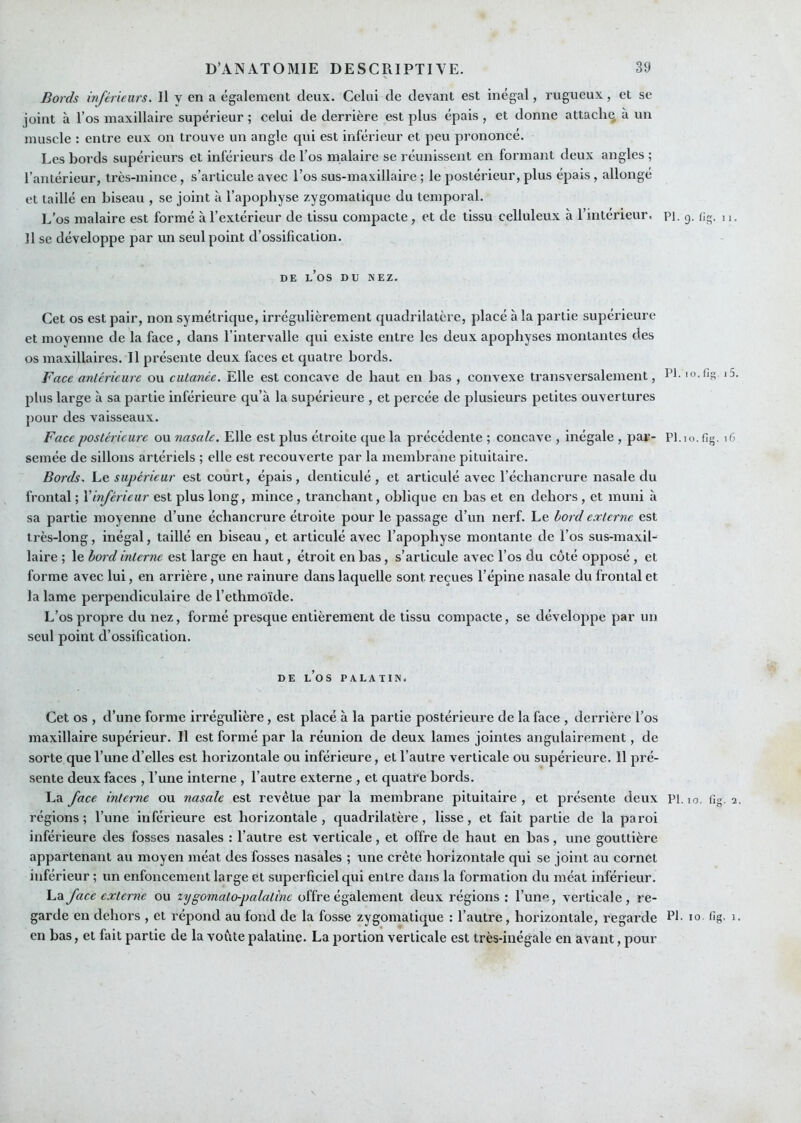 Bords inferieurs. Il y en a également deux. Celui de devant est inégal, rugueux, et se joint à l’os maxillaire supérieur ; celui de derrière est plus épais, et donne attacha à un muscle : entre eux on trouve un angle qui est inférieur et peu prononcé. Les bords supérieurs et inférieurs de l’os malaire se réunissent en formant deux angles ; l’antérieur, très-mince, s’articule avec l’os sus-maxillaire ; le postérieur, plus épais, allongé et taillé en biseau , se joint à l’apophyse zygomatique du temporal. L’os malaire est formé à l’extérieur de tissu compacte, et de tissu celluleux à l’intérieur, pi. g. dg. 11. Il se développe par un seul point d’ossification. DE l’os du nez. Cet os est pair, non symétrique, irrégulièrement quadrilatère, placé a la partie supérieure et moyenne de la face, dans l’intervalle qui existe entre les deux apophyses montantes des os maxillaires. Il présente deux faces et quatre bords. Face antérieure ou cutanée. Elle est concave de haut en bas , convexe transversalement, l’I- i5. plus large à sa partie inférieure qu’à la supérieure , et percée de plusieurs petites ouvertures pour des vaisseaux. Face postérieure ou nasale. Elle est plus étroite que la précédente ; concave , Inégale , par- Pl.io. fig. i6 semée de sillons artériels ; elle est recouverte par la membrane pituitaire. Bords. Le supérieur est court, épais, denticulé , et articulé avec l’échancrure nasale du frontal ; Vinférieur est plus long, mince, tranchant, oblique en bas et en dehors , et muni à sa partie moyenne d’une échancrure étroite pour le passage d’un nerf. Le bord e.xterne est très-long, inégal, taillé en biseau, et articulé avec l’apophyse montante de l’os sus-maxil- laire ; le bord interne est large en haut, étroit en bas, s’articule avec l’os du côté opposé, et forme avec lui, en arrière, une rainure dans laquelle sont reçues l’épine nasale du frontal et la lame perpendiculaire de l’ethmoïde. L’os propre du nez, formé presque entièrement de tissu compacte, se développe par un seul point d’ossification. DE l’os palatin. Cet os , d’une forme irrégulière, est placé à la partie postérieure de la face , derrière l’os maxillaire supérieur. Il est formé par la réunion de deux lames jointes angulairement, de sorte que l’une d’elles est horizontale ou inférieure, et l’autre verticale ou supérieure. Il pré- sente deux faces , l’une interne , l’autre externe , et quatre bords. La face interne ou nasale est revêtue par la membrane pituitaire , et présente deux Pl. lo. fig. 2. régions; l’une inférieure est horizontale, quadrilatère, lisse, et fait partie de la paroi inférieure des fosses nasales : l’autre est verticale, et offre de haut en bas, une gouttière appartenant au moyen méat des fosses nasales ; une crête horizontale qui se joint au cornet inférieur ; un enfoncement large et superficiel qui entre dans la formation du méat inférieur. La faee externe ou zygomato-palatine offre également deux régions : l’une, verticale, re- garde en dehors , et répond au fond de la fosse zygomatique : l’autre, horizontale, regarde Pf 10 fig. 1. en bas, et fait partie de la voûte palatine. La portion verticale est très-inégale en avant, pour