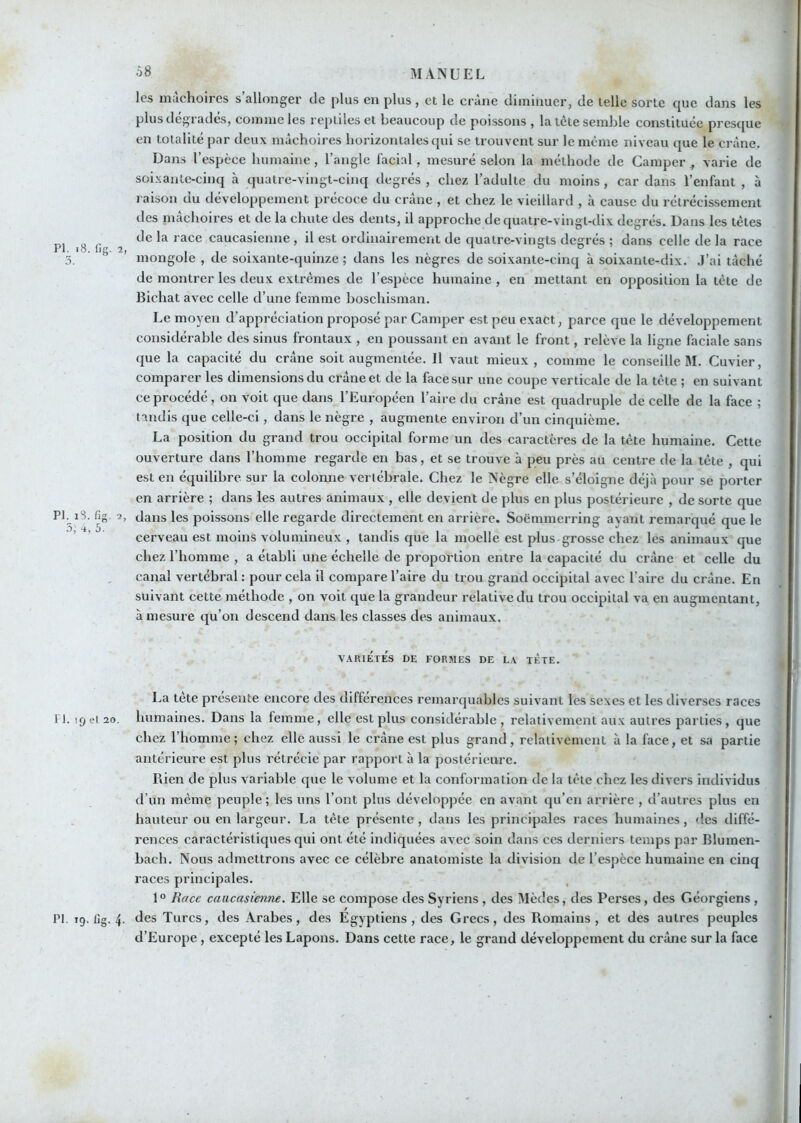PI. i8. lîg. PI. i3. fig. 2, .3; 4, 5. les mâchoires s’allonger de plus eu plus, et le crâne diminuer, de lelle sorte que dans les plus dégrades, comme les reptiles et beaucoup de poissons , la tète semble constituée presque en totalité par deux mâchoires horizontales qui se trouvent sur le même niveau que le crâne. Dans l’espèce humaine, l’angle facial, mesuré selon la méthode de Camper, varie de soixante-cinq à quatre-vingt-cinq degrés , chez l’adulte du moins , car dans l’enfant , à raison du développement précoce du crâne , et chez le vieillard , à cause du rétrécissement des mâchoires et de la chute des dents, il approche de quatre-vingt-dix degrés. Dans les têtes de la race caucasienne , il est ordinairement de quatre-vingts degrés ; dans celle de la race mongole , de soixante-quinze ; dans les nègres de soixante-cinq à soixante-dix. .l’ai tâché de montrer les deux extrêmes de l’espèce humaine , en mettant en opposition la tête de Bichat avec celle d’une femme boschisman. Le moyen d’appréciation proposé par Camper est peu exact, parce que le développement considérable des sinus frontaux , en poussant en avant le front, relève la ligne faciale sans que la capacité du crâne soit augmentée. Il vaut mieux, comme le conseille M. Cuvier, comparer les dimensions du crâne et de la face sur une coupe verticale de la tête ; en suivant ce procédé, on voit que dans l’Européen l’aire du crâne est quadruple de celle de la face ; tandis que celle-ci, dans le nègre , augmente environ d’un cinquième. La position du grand trou occipital forme un des caractères de la tête humaine. Cette ouverture dans l’homme regarde en bas, et se trouve à peu près au centre de la tête , qui est en équilibre sur la colonne verlébrale. Chez le Nègre elle s’éloigne déjà pour se porter en arrière ; dans les autres animaux , elle devient de plus en plus postérieure , de sorte que dans les poissons elle regarde directement en arrière. Soëmmerring ayant remarqué que le cerveau est moins volumineux , tandis que la moelle est plus-grosse chez les animaux que chez l’homme , a établi une échelle de proportion entre la capacité du crâne et celle du canal vertébral : pour cela il compare l’aire du trou grand occipital avec l’aire du crâne. En suivant cette méthode , on voit que la grandeur relative du trou occipital va en augmentant, à mesure qu’on descend dans les classes des animaux. VARIETES DE FORMES DE LA TETE. La tete présente encore des différences remarquables suiv^ant les sexes et les diverses races n. 19ei 20. humaines. Dans la femme, elle est plus eonsidérable , relativement aux autres parties, que chez l’homme; chez elle aussi le crâne est plus grand, relativement à la face, et sa partie antérieure est plus rétrécie par rapport à la postérieure. Bien de plus variable que le volume et la conformation de la tête chez les divers individus d’un même peuple ; les uns l’ont plus développée en avant qu’en arrière , d’autres plus en hauteur ou en largeur. La tête présente, dans les principales races humaines , des diffé- rences caractéristiques qui ont été indiquées avec soin dans ces derniers temps par Blumen- bach. Nous admettrons avec ce célèbre anatomiste la division de l’espèce humaine en cinq races principales. 1° Race caucasienne. Elle se compose des Syriens , des Mèdes, des Perses, des Géorgiens , PI. 19. flg. 4. des Turcs, des Arabes, des Egyptiens, des Grecs, des Romains, et des autres peuples d’Europe , excepté les Lapons. Dans cette race, le grand développement du cnine sur la face