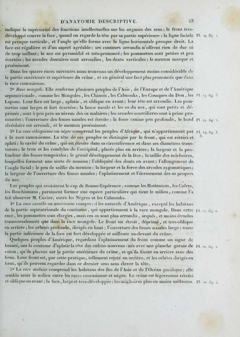 indique la supériorité des fonctions intellectuelles sur les organes des sens ; le front très- développé couvre la face , quand on regarde la tête par sa partie supérieure : la ligne faciale est presque verticale , et l’angle qu’elle forme avec la ligne horizontale presque droit. La face est régulière et d’un aspect agréable; ses contours arrondis n’offrent rien de dur ni de trop saillant ; le nez est pyramidal et très-prononcé ; les pommettes sont petites et peu écartées ; les arcades dentaires sont arrondies , les dents verticales ; le menton marqué et proéminent. Dans les quatre races suivantes nous trouvons un développement moins considérable de la partie antérieure et supérieure du crâne , et en général une face plus prononcée que dans la race caucasienne. 2° Race mongole. Elle renferme plusieurs peuples de l’Asie , de l’Europe et de l’Amérique septentrionale, comme les Mongoles , les Chinois , les Cabnouks , les Cosaques du Don , les Lapons. Leur face est large , aplatie , et oblique en avant ; leur tète est arrondie. Les pom- mettes sont larges et fort écartées; la bosse nasale et les os du nez, qui sont petits et dé- primés , sont à peu près au niveau des os malaires ; les arcades sourcilières sont à peine pro- noncées ; l’ouverture des fosses nasales est étroite ; la fosse canine peu profonde, le bord alvéolaire est arrondi, et le menton proéminent. 3° La raee éthiopienne ou nègre comprend les peuples d’Afrique , qui n’appartiennent pas à la race caucasienne. La tête de ces peuples se distingue par le front, qui est rétréci et aplati ; la cavité du crâne , qui est étroite dans sa circonférence et dans ses diamètres trans- verses ; le trou et les condyles de l’occipital, placés plus en arrière ; la largeur et la pro- fondeur des fosses temporales ; le grand développement de la face , la saillie des mâchoires, lesquelles forment une sorte de museau ; l’obliquité des dents en avant ; l’allongement de l’angle facial ; le peu de saillie du menton ; la largeur et la force des arcades zygomatiques; la largeur de l’ouverture des fosses nasales ; l’aplatissement et l’écrasement des os pa'opres du nez. Les peuples qui avoisinent le cap de Bonne-Espérance , comme les Hottentots, les Cafres, les Bosebismans , paraissent former une espèce particulière qui tient le milieu, comme l’a fait observer M. Cuvier, entre les Nègres et les Calmouks. 4° La raee caraïbe ou américaine comprend les naturels d’Amérique , excepté les babilans de la partie septentrionale du continent, qui appartiennent à la race mongole. Dans cette race , les pommettes sont élargies , mais ces os sont plus arrondis , arqués , et moins étendus transversalement que dans la race mongole. Le front est étroit, déprimé , et très-oblique en arrière ; les orbites profonds, dirigés en haut ; l’ouverture des fosses nasales large ; toute la partie inférieure de la face est fort développée et saillante au-devant du ci'âne. Quelques peuples d’Amérique, regardant l’aplatissement du front comme un signe de beauté, ont la coutume d’aplatir la tête des enfans nouveau - nés avec une planche garnie de coton, qu'ils placent sur la partie antérieure du crâne , et qu’ils fixent en arrière avec des liens. Leur front est, par celte pratique, tellement rejeté en arrière, et les orbites dirigés eu haut, qu’ils peuvent regarder dans ce dernier sens sans élever la tête. 5“ La race malaise comprend les babitans des îles de l’Asie et de l’Océan pacifique ; elle semble tenir le milieu entre les races caucasienne et nègre. Le crâne est légèrement rétréci PI. 19. fig. I. PI 19. fig. s. PI. 19. fig. 2. PI. 10. fig. G. PI. 20. fig. 1. PI. 20. fig. i.