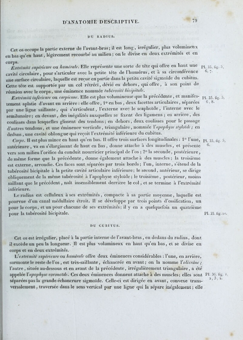 DU RADIUS. Cet os occupe la partie externe de l’avant-bras ; il est long, irrégulier, plus volumineux en bas qu’en haut, légèrement recourbé au milieu ; on le divise en deux extrémités et en corps. ^ . Extrémité supérieure ou humérale. Elle représente une sorte de tête qui offre en haut une pj 35 (jg 5^ cavité circulaire, pour s’articuler avec la petite tête de l’humérus, et à sa circonférence 6, 7. une surface circulaire, laquelle est reçue en partie dans la petite cavité sigmoïde du cubitus. Cette tête est supportée par un col rétréci, dévié en dehors, qui offre, à son point de réunion avec le corps, une éminence nommée tubérosité bicipitale. Extrémité ir^érieurc ou carpicnne. Elle est plus volumineuse que la precedente, et manifes- pj 33^ gg 3^ tement aplatie d’avant en arrière : elle offre, 1° en bas , deux facettes articulaires, séparées 6, 8. par une ligne saillante, qui s’articulent, l’externe avec le scaphoïde, 1 interne avec le semilunaire ; en devant, des inégalités auxquelles se fixent des ligamens ; en arriéré, des coulisses dans lesquelles glissent des tendons ; en dehors, deux coulisses pour le passage d’autres tendons, et une éminence verticale , triangulaire, nommée Vapophyse styloïcle ; en dedans , une cavité oblongue qui reçoit l’extrémité inférieure du cubitus. Corps. Il est plus mince en haut qu’en bas. Il offre trois surfaces longitudinales : 1° l’une, pp 35^ ng. 5, antérieure , va en s’élargissant de haut en bas, donne attache à des muscles, et présente vers son milieu l’orifice du conduit nourricier principal de l’os ; 2® la seconde, postérieure, de même forme que la précédente , donne également attache à des muscles ; la troisième est externe, arrondie. Ces faces sont séparées par trois bords; Tun, interne, s’étend de la tubérosité bicipitale à la petite cavité articulaire inférieure; le second, antérieur, se dirige obliquement de la même tubérosité à l’apophyse styloïde ; le troisième, postérieur, moins saillant que le précédent, naît insensiblement derrière le col, et se termine à l’extrémité inférieure. Le radius est celluleux à ses extrémités, compacte à sa partie moyenne, laquelle est pourvue d’un canal médullaire étroit. Il se développe par trois points d’ossification, un pour le corps, et un pour chacune de ses extrémités ; il y en a quelquefois un quatrième pour la tubérosité bicipitale. PI. 35. fig.io. DU CUBITUS. Cet os est irrégulier, placé à la partie interne de l’avant-bras , en dedans du radius, dont il excède un peu la longueur. Il est plus volumineux en haut qu’en bas, et se divise en corps et en deux extrémités. extrémité supérieure ovl humérale offre deux éminences considérables : l’une, en arrière, surmonte le reste deTos , est très-saillante, échancrée en avant; on la nomme Xolécrane; l’autre , située au-dessous et en avant de la précédente, irrégulièrement triangulaire, a été appelée Xapophyse coronoïde. Ces deux éminences donnent attache à des muscles; elles sont Pi- 36. fig. 1, séparées pas la grande échancrure sigmoïde. Celle-ci est dirigée en avant, convexe trans- ^ versalement, traversée dans le sens vertical par une ligne qui la sépare inégalement ; elle