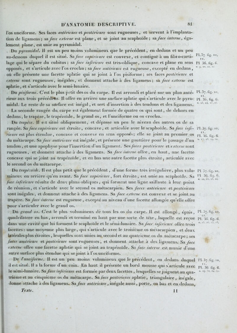 l’os unciforme. Ses faces antérieure G.K. postérieure sont rugueuses, et servent à l’implanta- tion de ligamens ; sa face externe est plane , et se joint au scaphoïde ; sa face interne, éga- lement plane, est unie au pyramidal. Du prji'ujnidal. il est un peu moins volumineux que le précédent, en dedans et un peu au-dessous duquel il est situé. Sa face supérieure est convexe, et contiguë à un fdjio-carti- lage qui le sépare du cubitus ; sa face inférieure est tres-ohlique, concave et plane en sens pi 36. (ig. 6. opposés , et s’articule avec l’os crochu ; sa face antérieure est rugueuse , excepté en dedans ,  “ où elle présente une facette aplatie qui se joint à l’os pisiforme; ses faces postérieure et externe sont rugueuses, inégales, et donnent attache à des ligamens; sa face externe est aplatie, et s’articule avec le semi-lunaire. Du pisiforme. C’est le plus petit des os du carpe. Il est arrondi et placé sur un plan anté- Pl-37.fig- 'o, rieur aux trois précédons. Il offre en arrière une surface aplatie qui s’articule avec le pyra- pi, 36. fig. (j. inidal. Le reste de sa surface est inégal, et sert d’insertion à des tendons et des ligamens. ' La seconde raiigée du. carpe est également formée de quatre os qui sont, de dehors en dedans, le trapèze, le trapézoïde, le grand os, et l unciforme ou os crochu. Du trapèze. 11 est situé obliquement, et dépasse un peu le niveau des autres os de sa rangée. Sa face supérieure est étroite, concave, et arlicidée avec le scaphoïde. Sa face infé- PI. 37. llg. jo, est plus étendue, concave et convexe en sens opposés; elle se joint au premier os pi| Vg. 6g. 6. du métacarpe. Sa face antérieure est inégale , et présente une gouttière pour le passage d’un  **’ tendon, et une apophyse pour l’insertion d’un ligament. Scs, faces postérieure el exlcrnc jl rugueuses, et donnent attache à des ligamens. Sa face interne oflre, en haut, une facette concave qui se joint au trapézoïde, et en bas une autre facette plus étroite^ articulée avec le second os du métacarpe. Du trapézoïde. H est plus petit que le précédent, d’une forme très irrégulière, plus volu- PI 37.(Ig. 10, I inineux en arrière qu’en avant. Sa face supérieure, fort étroite, est unie au scaphoïde. Sa *’* 36. fig. 6. face inférieure résulte de deux plans obliques, qui forment une ligne saillante à leur point de réunion, et s’articule avec le second os métacarpien. faces anterieure et postérieure sont inégales, et donnent attache à des ligamens. Sa face externe est convexe et se joint au trapèze. Sa face interne est rugueuse, excepté au niveau d’une facette allongée qu’elle offre I pour s’articuler avec le grand os. Du grand os. C’est le plus volumineux de tous les os du carpe. Il est allongé, épais, PL 3;. lig. lo, I quadrilatère en bas, arrondi et terminé en haut par une sorte de tète, laquelle est reçue pi! 36. lîg. 6. l dans une cavité que lui forment le scaphoïde et le sémi-hinaire. Sa face inférieure offre trois (facettes: une moyenne |)lus large, qui s’articule avec le troisième os métacarpien , et deux latérales plus étroites , lesquelles sont unies au second et au quatrième os du métacarpe ; ses / faces ancérieure et postérieure sont rugueuses, et donnent attache à des ligamens. Sa face < externe offre une facette aplatie qui se joint au trapézoïde. Sa face interne est munie d’une « autre surface plus étendue qui se joint à l’os unciforme. De Vunciforme. 11 est un peu moins volumineux que le précédent, en dedans duquel Pl.37.6g. 10, l| il est situé. 11 a la forme d’un coin. En haut il présente un bord mousse qui s’articule avec pi'Vg 6 6 i le sémi-lunaire. Sa face inférieure est formée par deux facettes , lescjuelles se joignent au qua- I trième et au cinquième os du métacarpe. Sa face postérieure , triangulaire, inégale, ( donne attache à des ligamens. Sa face antérieure, inégale aussi, porte, en bas et en dedans. Texte. 11 I