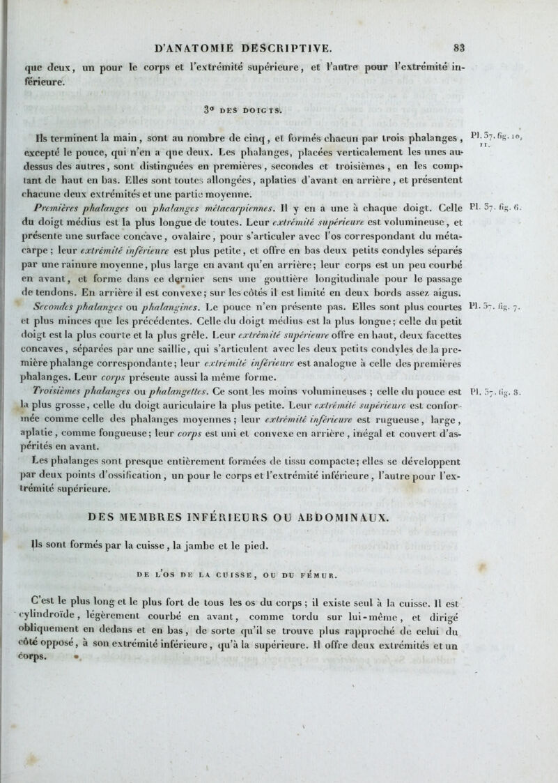 I D’ANATOMIE DESCRIPTIVE. 83 que deux, un pour le corps et l’extrémité supérieure, et Tautre pour l’extrémité in- férieure. 3* DES DOIGTS. Ils terminent la main , sont au nombre de cinq, et formés chacun par trois phalanges , excepté le pouce, qui n’en a que deux. Les phalanges, placées verticalement les unes au- dessus des autres, sont distinguées en premières, secondes et troisièmes , en les comp- tant de haut en bas. Elles sont toutes allongées, aplaties d’avant en arrière, et présentent chacune deux extrémités et une partie moyenne. Premières phalanges ou phalanges mélacarpicnnes. Il y en a une à chaque doigt. Celle PI-Sy. fig. fi. du doigt médius est la plus longue de toutes. Leur extrémité supérieure est volumineuse, et présente une surface concave, ovalaire, pour s’articuler avec l’os correspondant du méta- carpe ; leur extrémité inférieure est plus petite, et offre en bas deux petits condyles séparés par une rainure moyenne, plus large en avant qu’en arrière; leur corps est un peu courbé en avant, et forme dans ce dernier sen« une gouttière longitudinale pour le passage de tendons. En arrière il est convexe; sur les côtés il est limité en deux bords assez aigus. Secondes phalanges ou phalangines. Le pouce n’en présente pas. Elles sont plus courtes PL 3. ?• et plus minces que les précédentes. Celle du doigt médius est la plus longue; celle du petit doigt est la plus courte et la plus grêle. Leur extrémité supérieure offre en haut, deux facettes , concaves , séparées par une saillie, qui s’articulent avec les deux petits condyles de la pre- mière phalange correspondante; leur extrémité inférieure est analogue à celle des premières phalanges. Leur corps présente aussi la même forme. Troisièmes phalanges ou phalangettes. Ce sont les moins volumineuses ; celle du pouce est PI. 5;. ilj;. 8. la plus grosse, celle du doigt auriculaire la plus petite. Leur extrémité supérieure est confor- mée comme celle des phalanges moyennes; leur extrémité inférieure est rugueuse, large, aplatie , comme fongueuse; leur corps est uni et convexe en arrière , inégal et couvert d’as- ' pérités en avant. Les phalanges sont presque entièrement formées de tissu compacte; elles se développent par deux points d’ossification, un pour le corps et l’extrémité inférieure, l’autre pour l’ex- trémité supérieure. DES MEMBRES INFÉRIEURS OU ABDOMINAUX. ^Is sont formés par la cuisse , la jambe et le pied. D E l’o s DE LA CUISSE, OU DU FEMUR. C est le plus long et le plus fort de tous les os du corps ; il existe seul à la cuisse. 11 est cylindroide, légèrement courbé en avant, comme tordu sur lui-même, et dirigé obliquement en dedans et en bas, de sorte qu’il se trouve plus rapproché de celui du cote oppose, à son extrémité inférieure , qu’à la supérieure. Il offre deux extrémités et un corps. •.