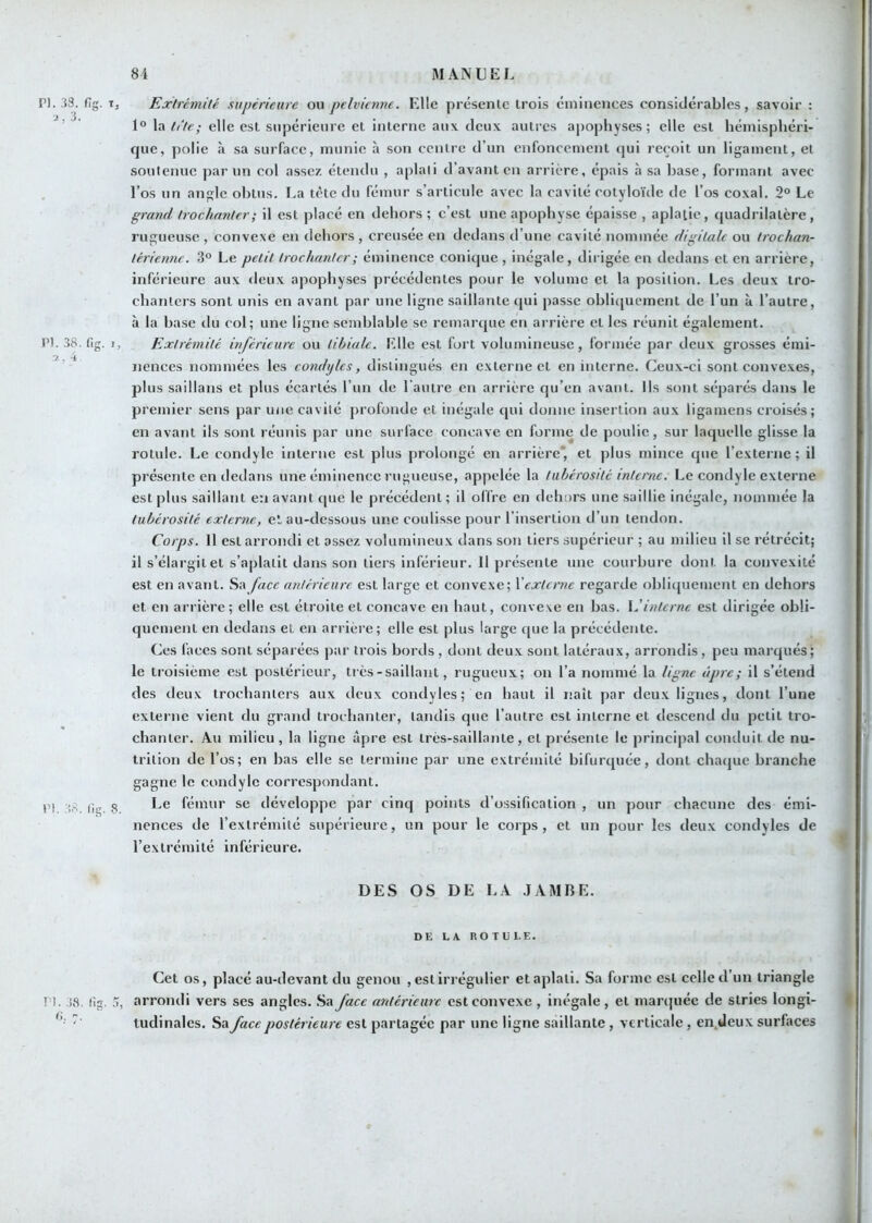 PI. 33. fîg. T, Exlrcmilé supérieure ou pelvienne. Elle présenlc trois éminences considérables, savoir : ’ ’ 1° \a h‘te; elle est supérieure et interne auv deux autres apophyses; elle est hémisphéri- que, polie à sa surface, munie à son centre d’un enfoncement <jui reçoit un ligament, et soutenue par un col assez étendu , aplati d’avant en arrière, épais à sa hase, formant avec l’os un angle obtus. I.a tète du fémur s’articule avec la cavité cotyloïde de l’os coxal. 2° Le grand Irochanler; il est placé en dehors ; c’est une apophyse épaisse , aplatie, quadrilatère, rugueuse , convexe en dehors , creusée en dedans d’une cavité nommée digiLale ou Irochan- lériennr. 3° Le petit trochanter ; éminence conique , inégale, dirigée en dedans et en arrière, inférieure aux deux apophyses précédentes pour le volume et la position. Les deux tro- chanters sont unis en avant par une ligne saillante qui passe ohli(juement de l’un à l’autre, à la ha.se du col; une ligne semblable se remarque en arrière et les réunit également. Pi. 38. fig. I, Extrémité inférieure ou tibiale. Elle est fort volumineuse, formée par deux grosses émi- ’ ^ jiences nommées les condijlcs, distingués en externe et en interne. Ceux-ci sont convexes, plus saillans et plus écartés l’un de l aiure en arrière qu’en avant. Us sont séparés dans le premier sens par une cavité profonde et inégale (|ui donne insertion aux ligamens croisés; en avant ils sont réunis par une surface concave en forme de poulie, sur laquelle glisse la rotule. Le condyle interne est plus prolongé en arrière* et plus mince que l’externe; il présente en dedans une éminence rugueuse, appelée la tubérosité interne. Le condyle externe est plus saillant en avant que le précédent; il offre en dehors une saillie inégale, nommée la tubérosité externe, et au-dessous une coulisse pour l’insertion d’un tendon. Corps. 11 est arrondi et assez volumineux dans son tiers supérieur ; au milieu il se rétrécit; il s’élargit et s’aplatit dans son tiers inférieur. Il présente une courbure dont la convexité est en avant. face antérieure est large et convexe; \externe regarde ohlitjuement en dehors et en arrière; elle est étroite et concave en haut, convexe en bas. \Jinterne est dirigée obli- quement en dedans et en arrière; elle est plus large que la précédente. Ces laces sont séparées par trois bords , dont deux sont latéraux, arrondis, peu marqués; le troisième est postérieur, très - saillant, rugueux; on l’a nommé la ligne âpre; il s’étend des deux trochanters aux deux condyles; en haut il naît par deux lignes, dont l’une extei ne vient du grand trochanter, tandis que l’autre est interne et descend du petit tro- chanter. Au milieu, la ligne âpre est très-saillante, et présente le principal conduit de nu- trition de l’os; en bas elle se termine par une extrémité bifurquée, dont chaque branche gagne le condyle correspondant. ri :8. (ig. 8 fémur se développe par cinq points d’o.ssification , un pour chacune des émi- nences de l’extrémité supérieure, un pour le corps, et un pour les deux condyles de l’extrémité inférieure. DES OS DE LA JAMBE. DE LA ROTULE. Cet OS, placé au-devant du genou , est irrégulier et aplati. Sa forme est celle d’un triangle Tl. .18. lîg. .3, arrondi vers ses angles. Sa face antérieure est convexe , inégale , et marejuée de stries longi- •' tudinales. Sa face postérieure est partagée par une ligne saillante , verticale, en.Ueux surfaces