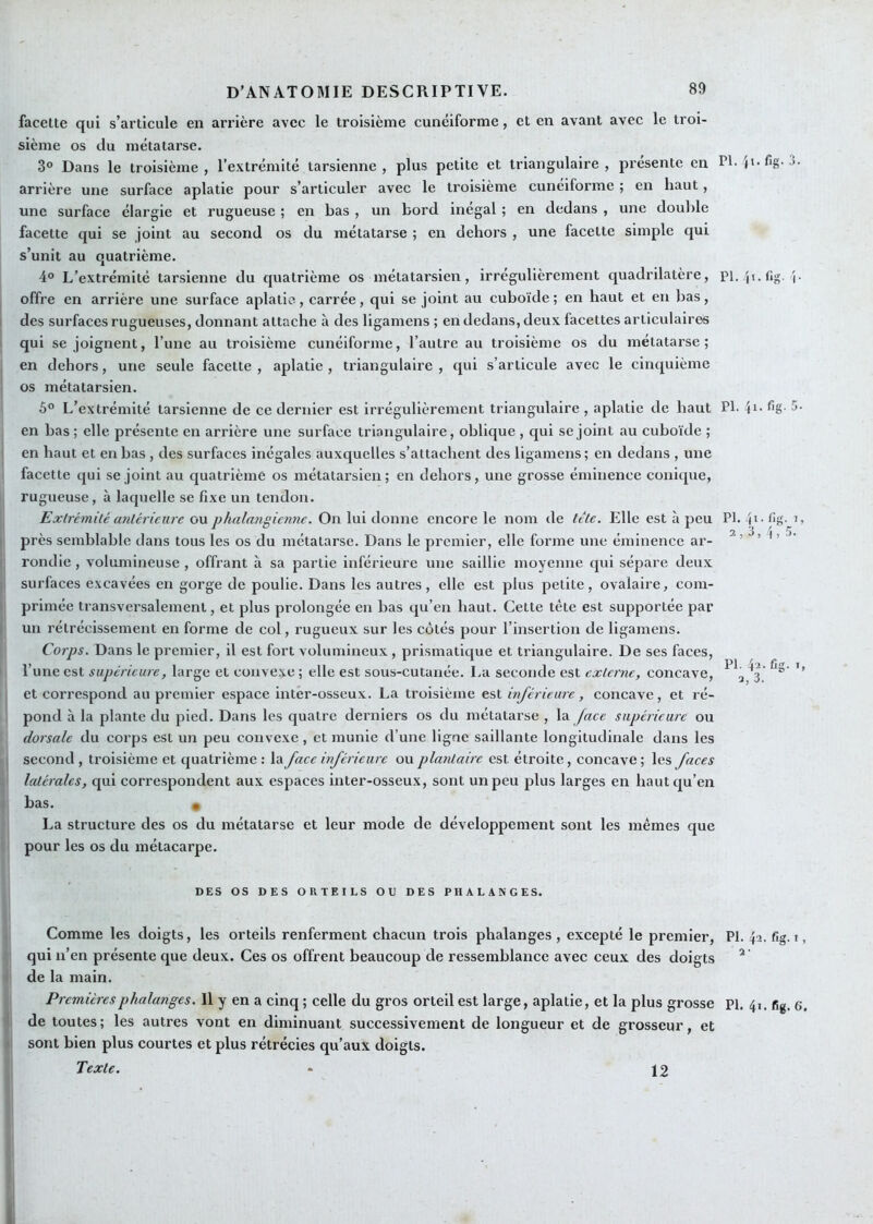 PI. jl- fig- facette qui s’articule en arrière avec le troisième cunéiforme, et en avant avec le troi- sième os du métatarse. 3° Dans le troisième , l’extrémité tarsienne , plus petite et triangulaire , présente en arrière une surface aplatie pour s’articuler avec le troisième cunéiforme ; en haut, une surface élargie et rugueuse ; en bas , un bord inégal ; en dedans , une double facette qui se joint au second os du métatarse ; en dehors , une facette simple qui s’unit au quatrième. 4° L’extrémité tarsienne du quatrième os métatarsien, irrégulièrement quadrilatère, pi. ji.fig. J offre en arrière une surface aplatie, carrée, qui se joint au cuboïde; en haut et en bas, des surfaces rugueuses, donnant attache à des ligamens ; en dedans, deux facettes articulaires qui se joignent, l’une au troisième cunéiforme, l’autre au troisième os du métatarse; en dehors, une seule facette , aplatie , triangulaire , qui s’articule avec le cinquième os métatarsien. 5° L’extrémité tarsienne de ce dernier est irrégulièrement triangulaire , aplatie de haut Ph ^g- 5 en bas ; elle présente en arrière une surface triangulaire, oblique , qui se joint au cuboïde ; en haut et en bas , des surfaces inégales auxquelles s’attachent des ligamens; en dedans , une facette qui se joint au quatrième os métatarsien; en dehors, une grosse éminence conique, rugueuse, à laquelle se fixe un tendon. Extrémité antérieure ou phalangicnne. On lui donne encore le nom de tête. Elle est à peu près semblahle dans tous les os du métatarse. Dans le premier, elle forme une éminence ar- rondie , volumineuse, offrant à sa partie inférieure une saillie moyenne qui sépare deux surfaces excavées en gorge de poulie. Dans les autres, elle est plus petite, ovalaire, com- primée transversalement, et plus prolongée en bas qu’en haut. Cette tète est supportée par un rétrécissement en forme de col, rugueux sur les côtés pour l’insertion de ligamens. Corps. Dans le premier, il est fort volumineux, prismatique et triangulaire. De ses faces, l’une est supérieure, large et convexe ; elle est sous-cutanée. I.a seconde est externe, concave, et correspond au premier espace inter-osseux. La troisième est inférieure, concave, et ré- pond à la plante du pied. Dans les quatre derniers os du métatarse , la /«ce supérieure ou dorsale du corps est un peu convexe, et munie d’une ligne saillante longitudinale dans les second , troisième et quatrième ; la face inférieure ou plantaire est étroite, concave ; les faces latérales, qui correspondent aux espaces inter-osseux, sont un peu plus larges en haut qu’en bas. • La structure des os du métatarse et leur mode de développement sont les mêmes que pour les os du métacarpe. PI. jl. 2,3, Jîg- N i, .'î. PI. !i'i. 2, 3. fig. I, DES OS DES ORTEILS OU DES PHALANGES. Comme les doigts, les orteils renferment chacun trois phalanges, excepté le premier, PI. 4-2. fig. i, qui n’en présente que deux. Ces os offrent beaucoup de ressemblance avec ceux des doigts ^ de la main. Premières phalanges. Il y en a cinq ; celle du gros orteil est large, aplatie, et la plus grosse Pl. 41. fig. e, de toutes; les autres vont en diminuant successivement de longueur et de grosseur, et ' sont bien plus courtes et plus rétrécies qu’aux doigts. Texte. - 12