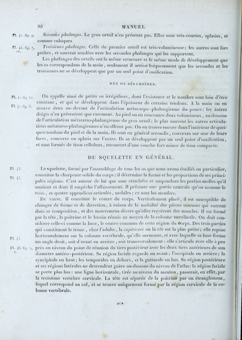 PI. i PJ. i ri. {i pi.i. n. î3. n î5. PI. il. PI. 'f>. 90 MANUEL I. fig. 9. Secondes phalanges. Le gros orteil n’en présente pas. Elles sont très-courtes, aplaties, et comme cubicjucs i.fig. 7, Troisièmes phalanges. Celle du premier orteil est très-volumineuse; les autres sont fort petites, et souvent soudées avec les secondes phalanges qui les supportent. Les phalanges des orteils ont la meme structure et le même mode de développement que les os eorrespondans de la main , seulement il arrive fréquemment que les secondes et les troisièmes ne se développent que par un seul point d’ossification. DES os SÉSAJIOÏDES. .fIg. 12. On appelle ainsi de petits os irréguliers, dont l’existence et le nombre sont loin d’être constans , et (jui se développent dans 1 épaisseur de certains tendons. A la main on en ® trouve deux au-devant de 1 articulation metacarpo-phalangicnne du pouce; les autres doigts n en piesentent que rarement. Au pied on en rencontre deux volumineux , au-dessous de 1 articulation métatarso-phalangienne du gros orteil ; le plus souvent les autres articula- tions metatarso-phalangiennes n en offrent pas. On en trouve encore dans l’intérieur de quel- ques tendons du pied et de la main. Ils sont en général arrondis , convexes sur une de leurs faces, concaves ou aplatis sur l’autre. Ils se développent par un seul point d’ossification, et sont formes de tissu celluleux, recouvert d une couche fort mince de tissu compacte. DU SQUELETTE EN GÉNÉRAL. Le .squelette, formé par l’assemblage de tous les os que nous avons étudiés en particulier, constitue la charpente solide du corps ; il détermine la forme et les proportions de ses princi- pales régions. C’est autour de lui que sont attachées et suspendues les parties molles qu’il soutient et dont il empêche l’affaissement. 11 présente une partie centrale qu’on nomme le tronc, et quatre appendices articulés, mobiles ; ce sont les membres. Du TROxe. Il constitue le centre du corps. Verlicalcment placé, il est susceptible de changer de forme et de direction, à raison de la mobilité des pièces osseuses qui entrent dans sa composition , et des mouvemens divers ((u’elles reçoivent des muscles. 11 est formé par la tête , la poitrine et le bassin réunis au moyen de la colonne vertébrale. On doit con- sidérer celle-ci comme la base, le centre commun de celte région du eorps. Des trois jtarties qui constituent le tronc , chez l’adulte, la supérieure ou la tète est la plus petite; elle repose borizonlalement sur la colonne vertébrale, qu’elle surmonte, et avec laquelle sa base forme un angle droit, soit d’avant en arrière , soit transversalement : elle s’articule avec elle à peu , fig. 1, près au niveau du point de réunion du tiers postérieur avec les deux tiers antérieurs de sou diamètre antéro-postérieur. Sa région faciale regarde en avant; l’occipitale en arrière; la syncipitale en haut; les temporales en dehors, et la gutturale en bas. Sa région postérieure et ses régions latérales ne descendent guère au-dessous du niveau de l’atlas; la région faciale se porte plus bas : une ligne horizontale, tirée au niveau du menton, passerait, en effet, par la troisième vertèbre cervicale. La tête est séparée de la poitrine par un étranglement, lequel correspond au col, et se trouve uniquement formé par la région cervicale de la co- lonne vertébrale.