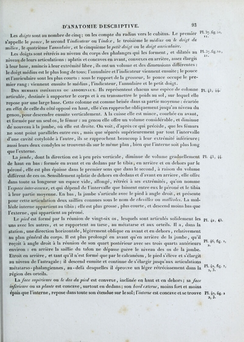 Les doigts sont au nombre de cinq; on les compte du radius vers le cubitus. Le premier s’appelle le pouce, le second \indicateur ou \index, le troisième le médius ou le doigt du milieu, lè quatrième X annulaire, et le cinquième le petit doigt ou le doigt auriculaire. Les doigts sont rétrécis au niveau du corps des phalanges qui les forment, et dilatés au P1^37.fig.io, niveau de leurs articulations : aplatis et concaves en avant, convexes en arrière, assez élargis à leur base, amincis à leur extrémité libre , ils ont un volume et des dimensions différentes : le doigt médius est le plus long de tous; l’annulaire et l’indicateur viennent ensuite ; le pouce et l’auriculaire sont les plus courts : sous le rapport de la grosseur, le pouce occupe le pre- mier rang: viennent ensuite le médius , l’indicateur, l’annulaire et le petit doigt. Des membres ixférieurs ou abdominaux. Ils représentent chacun une espèce de colonne pi. 43, 44. articulée, destinée à supporter le corps et a en transmettre le poids au sol, sur lequel elle repose par une large base. Cette colonne est comme brisee dans sa partie moyenne : ecarlee en effet de celle du côté opposé en haut, clic s'en rapproche obliquement jusqu’au niveau du genou, pour descendre ensuite verticalement. A la cuisse elle est mince, courbée en avant, et formée par un seul os, le fémur : au genou elle offre un volume considérable, et diminue de nouveau à la jambe, où elle est droite. On voit, d’après ce qui précède , que les fémurs ne sont point parallèles entre eux , mais que séparés supérieurement par tout l’intervalle I d’une cavité cotyloïde à l’autre, ils se rapprochent beaucoup à leur extrémité inférieure; aussi leurs deux condyles se trouvent-ils sur le même plan , bien que l’interne soit plus long- que l’externe. I La jambe, dont la direction est à peu près verticale, diminue de volume graduellement PI. 43 j 44' de haut en bas : formée en avant et en dedans par le tibia, en arrière et en dehors par le péroné, elle est plus épaisse dans le premier sens que dans le second, à raison du volume I différent de ces os. Sensiblement aplatie de dehors en dedans et d’avant en arrière, elle offre [ dans toute sa longueur un espace vide, allongé, rétréci à scs extrémités, qu’on nomme Xespace inter-osseux, et qui dépend de l’intervalle que laissent entre eux le péroné et le tibia j à leur partie moyenne. En bas , la jambe s’articule avec le pied à angle droit, et présente ' pour cette articulation deux saillies connues sous le nom de chevilles ou malléoles. La mal- léole interne appartient au tibia ; elle est plus grosse , plus courte, et descend moins bas que 1 l’externe, qui appartient au péroné. Le pied est formé par la réunion de vingt-six os, lesquels sont articulés solidement les p|_ 4^^ 43, t uns avec les autres, et se rapportent au tarse, au métatarse et aux orteils. Il a, dans la L station, une direction horizontale, légèrement oblique en avant et en dehors , relativement • au plan général du corps. Il est plus prolongé en avant qu’en arrière de la jambe, qu’il ' reçoit à angle droit à la réunion de son quart postérieur avec ses trois quarts antérieurs ’j ' environ : en arrière la saillie du talon ne dépasse guère le niveau des os de la jambe, f Etroit en arrière, et tant qu’il n’est formé que par le calcanéum , le pied s’élève et s’élargit ! au niveau de l’astragale ; il descend ensuite et continue de s’élargir jusqu’aux articulations métatarso-phalangiennes, au-delà desquelles il éprouve un léger rétrécissement dans la région des orteils. La face supérieure ou le dos du pied est convexe, inclinée en haut et en dehors ; sa face inférieure ou sa plante est concave, surtout en dedans ; son bord externe, moins fort et moins épais que l’interne, repose dans toute son étendue sur le sol ; Xinterne est concave et sc trouve PI. 4-2, %. 1 3, 3.