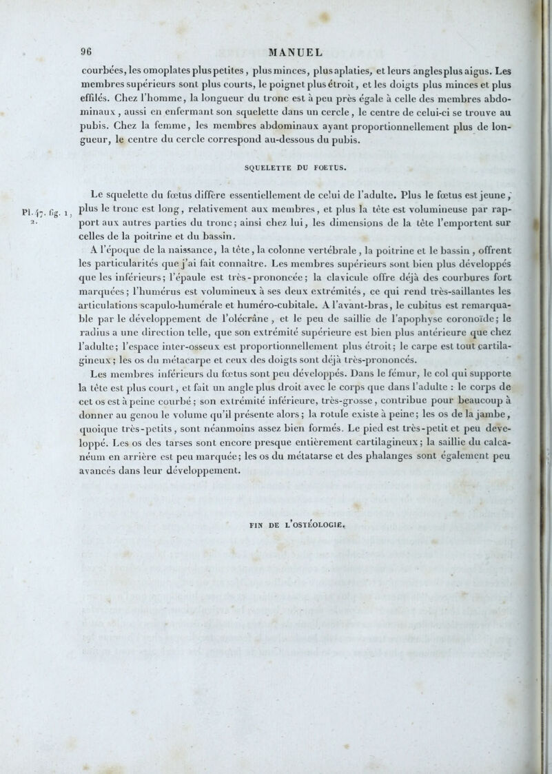 courbées, les omoplates plus petites, plusminces, plusaplaties, etleurs angles plus aigus. Les membres supérieurs sont plus courts, le poignet plus étroit, et les doigts plus minces et plus effilés. Chez l’homme, la longueur du tronc est à peu près égale à celle des membres abdo- minaux , aussi en enfermant son squelette dans un cercle, le centre de eelui-ci se trouve au pubis. Chez la femme, les membres abdominaux ayant proportionnellement plus de lon- gueur, le centre du cercle correspond au-dessous du pubis. SQUELETTE DU FOETUS. Le squelette du fœtus diffère essentiellement de celui de l’adulte. Plus le fœtus est jeune,' Pl-i-. Cl 1 tronc est long, relativement aux membres, et plus la tète est volumineuse par rap- 2- port aux autres parties du tronc; ainsi chez lui, les dimensions de la tête l’emportent sur celles de la poitrine et du bassin. A l’époque de la naissance, la tète, la colonne vertébrale , la poitrine et le bassin , offrent les particularités que j’ai fait connaître. Les membres supérieurs sont bien plus développés que les inférieurs; l’épaule est très - prononcée ; la clavicule offre déjà des courbures fort marquées; l’humérus est volumineux à ses deux extrémités, ce qui rend très-saillantes les articulations scapulo-humérale et huméro-cubitale. A l’avant-bras, le cubitus est remarqua- ble par le développement de l’olécràne, et le peu de saillie de l’apophyse coronoïde; le radius a une direction telle, que son extrémité supérieure est bien plus antérieure que chez l’adulte; l’espace inter-osseux est proportionnellement plus étroit; le carpe est tout cartila- gineux ; les os du métaearpe et ceux des doigts sont déjà très-prononcés. Les membres inférieurs du fœtus sont peu développés. Dans le fémur, le col qui supporte la tète est plus court, et fait un angle plus droit avec le corps que dans l’adulte : le corps de cet os est à peine courbé; son extrémité inférieure, très-grosse, contribue pour beaucoup à donner au genou le volume qu’il présente alors ; la rotule existe à peine ; les os de la jambe, quoique très-petits, sont néanmoins assez bien formés. Le pied est très-petit et peu déve- loppé. Les os des tarses sont encore presque entièrement cartilagineux; la saillie du calca- néum en arrière est peu marquée; les os du métatarse et des phalanges sont également peu avancés dans leur développement. FIN DE l’oSTÉOLOCIË,