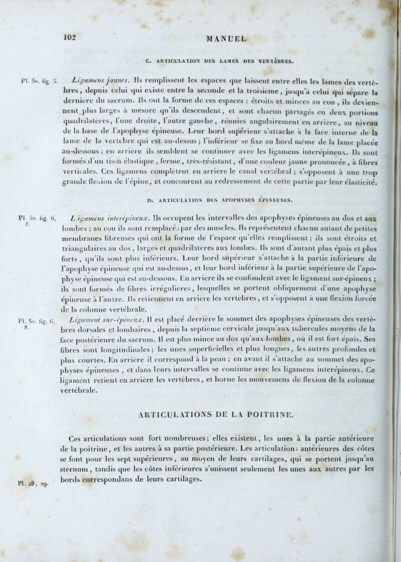 C. ARTICL'LATIOJi DKS LAMES DES VERTÈBRES. IM. 5o, (ig, r>. Ligamens jaunes. Ils remplissent les espaces que laissent entre elles les lames des vertè- bres , depuis celui qui existe entre la seconde et la troisième , jusqu’à celui qui sépare la dernicre du sacrum. Ils ont la forme de ces espaces : étroits et minces au cou , ils devien- nent j)lus larges à mesure qu’ils descendent, et sont chacun partagés en deux portions quadrilateres, l’une droite, l’autre gauche, réunies angidairement en arrière, au niveau de la hase de l’apophyse épineuse. Leur bord supérieur s’attache à la face interne de la lame de la vei Icbre qui est au-dessus; l’inférieur se fixe au bord meme de la lame placée au-dessous; en arrière ils semblent se continuer avec les ligamens interépineux. Ils sont formés d’un tissu élastique, ferme, très-r,ésistant, d’une couleur jaune prononcée , à fibres verticales. Ces ligamens complètent en arrière le canal vertébral ; s’opposent à une trop grande flexion de l’épine, et concourent au redressement de cette partie par leur élasticité. D. ARTICLLATION DES APOPHYSES ÉPIXELSES. PI 5o. li B. (>, PI. 5o, fig. G, 8. L igamens inlerégineux. Ils occupent les intervalles des apophyses épineuses au dos et aux lombes ; au cou ils sont remplacé;; par des muscles. Ils représentent chacun autant de petites membranes fibreuses qui ont la forme tle l’espace qu’elles remplissent; ils sont étroits et triangulaires au dos , larges et quadrilatères aux lombes. Ils sont d’autant plus épais et plus forts, (ju’ils sont plus inférieurs. Leur bord supérieur s’attache à la partie inférieure de l’apophyse é|fmeuse qui est au-dessus, et leur bord inférieur à la partie supérieure de l’apo- physe épineuse qui est au-dessous. En arrière ils se confondent avec le ligament sur-épineux ; ils sont formés de fibres irrégulière.';, lesquelles se portent obliquement d’une apophyse épineuse à l’autre. Ils retiennent en arrière les vertébrés, et s’opposent à une flexion forcée de la colonne vertébrale. Ligeimcnt sur-épineux. Il est placé derrière le sommet des apophyses épineuses des vertè- bres dorsales et lombaires , depuis la septième cervicale jusqu’aux tubercules moyens de la face postérieure du sacrum. Il est plus mince au dos qu’aux lombes , où il est fort épais. Ses fibres sont longitudinales; les unes superficielles et plus longues, les autres profondes et plus courtes. En arrière il correspond à la peau ; en avant il s’attache au sommet des apo- physes épineuses , et dans leurs intervalles se continue avec les ligamens interépineux. Ce ligament relient en arrière les vertèbres , et borne les mouveinens de flexion de la colonne vertébrale. ARTICULATIONS DE LA POITRINE. Ces articulations sont fort nombreuses; elles existent, les unes à la partie antérieure de la poitrine, et les autres à sa partie postérieure. Les articulation; antérieures des côtes se font pour les sept supérieures, au moyen de leurs cartilages, qui se portent jusqu’au sternum , tandis que les côtes inférieures s’unissent seulement les unes aux autres par les bords correspondans de leurs cartilages.