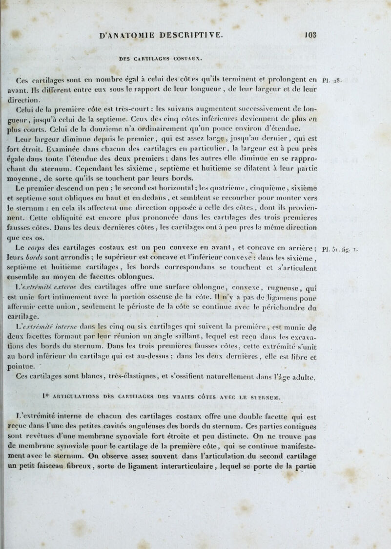 ^ DES CARTILAGES COSTAUX. Ces carlilages sont en nombre égal h celui des côtes qu’ils terminent et prolongent en Pi. 25- avant. Ils different entre eux sous le rapport de leur longueur , de leur largeur et de leur di rection. Celui de la première côte est très-court : les sulvans augmentent successivement de lon- gueur, jusqu’à celui de la septième. Ceux des cinq côtes inférieures deviennent de plus en plus courts. Celui de la douzième n’a ordinairement qu’un pouce environ d’étendue. l.eur largeur diminue depuis le premier, qui est assez large, jusiiu’au dernier, qui est fort étroit. Examinée dans chacun des cartilages en particulier, la largeur est à peu près égale dans toute l'étendue des deux premiers; dans les autres elle diminue en se rappro- chant du sternum. Cependant les sixième , septième et huitième se dilatent à leur partie moyenne, de sorte qu’ils se touchent par leurs bords. Le premier descend un peu ; le second est horizontal ; les quatrième, cinquième, sixième et septième sont obliques en haut et en dedans , et semblent sc recourber pour monter vers le sternum : en cela ils affectent une direction opposée à celle des côtes , dont ils provien- nent. Celte obliquité est encore plus prononcée dans les cartdages des trois premières fausses côtes. Dans les deux dernières côtes, les carlilages ont à jieu près la même direction que ces os. Le corps des carlilages costaux est un peu convexe en avant, et concave en arrière; pi, 5i,ji leurs bords sont arrondis ; le supérieur est concave et l’inférieur convexe : dans les sixième , septième et huitième cartilages, les bords correspondans se touchent et s’articulent ensemble au moyen de facettes oblongues. \'exlrém.iU; externe des carlilages offre une surface ohlongue, convexe, rugueuse, qui est unie fort intimement avec la portion osseuse de la côte. Il n’y a pas de ligamens pour affermir cette union , seulement le périoste de la côte se continue avec le périchondre du cartilage. \'extrémité interne dans les cinq ou six cartilages qui suivent la première, est munie de deux facettes formant par leur réunion un angle saillant, lequel est reçu dans les excava- tions des bords du sternum. Dans les trois premières fausses côtes, cette extrémité s’unit au bord inférieur du cartilage qui est au-dessus ; dans les deux dernières, elle est libre et pointue. Ces cartilages sont blancs, très-élastiques, et s’ossifient naturellement dans l’àge adulte. 1° ARTICULATIONS DÈS CARTILAGES DES VRAIES CÔTES AVEC LE STERNUM. l/extrémité interne de chacun des cartilages costaux offre une double facette qui est reçue dans l’une des petites cavités anguleuses des bords du sternum. Ces parties contiguës sont revêtues d’une membrane synoviale fort étroite et peu distincte. On ne trouve pas de membrane synoviale pour le cartilage de la première côte, qui se continue manifeste- ment avec le sternum. On observe assez souvent dans l’articulation du second cartilage un petit faisceau fibreux, sorte de ligament interarticulaire, lequel se porte de la partie