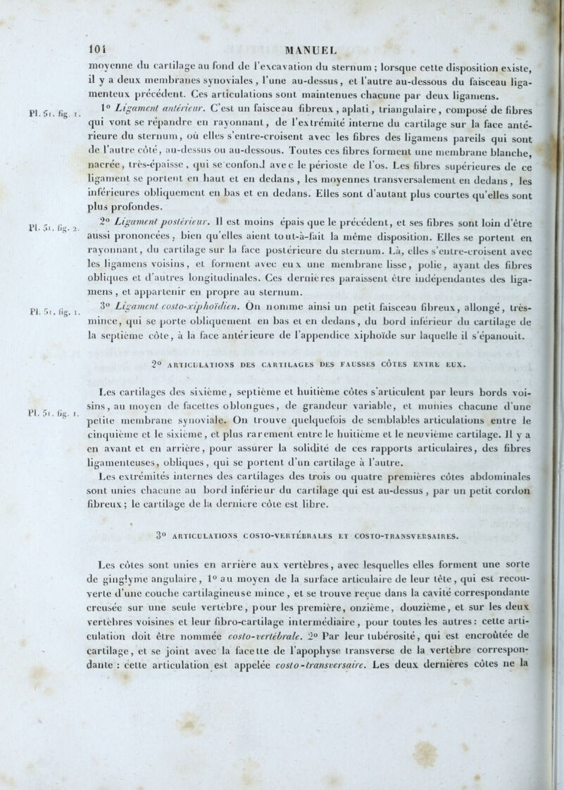 P1.5i. fis- I. ri.5i. fi;'. 2. PI. 5i. fig. 1. moyenne du cartilage au fond de l’evcavation du sternum ; lorsque cette disposition existe, il y a deu.v membranes synoviales , l’une au-dessus, et l’autre au-dessous du faisceau liga- menteux précédent. Ces articulations sont maintenues chacune par deux ligamens. 1° Ligament antérieur. C’est un faisceau fibreux , aplati, triangulaire, composé de fibres qui vont se répandre en rayonnant, de l’extrémité interne du cartilage sur la face anté- rieure du sternum, où elles s’enlre-croisent avec les fibres des ligamens pareils qui sont de l’autre côté, au-dessus ou au-dessous. Toutes ces fibres forment une membrane blanche, nacrée, très-épaisse, qui se confond avec le périoste de l’os. Les fibres supérieures de ce ligament se portent en haut et eu dedans , les moyennes transversalement en dedans, les inférieures obliquement en bas et en dedans. Elles sont d’autant plus courtes qu’elles sont plus profondes. 2“ Ligament postérieur. 11 est moins épais que le précédent, et ses fibres sont loin d’être aussi prononcées, bien qu’elles aient tout-à-fait la même disposition. Elles.se portent en rayonnant, du cartilage sur la face postérieure du sternum. Là, elles s’enlre-croisent avec les ligamens voisins, et forment avec eux une membrane lisse, polie, ayant des fibres obli([ues et d’autres longitudinales. Ces dernières paraissent être indépendantes des liga- mens , et appartenir en propre au sternum. 3“ Ligament costo-xipho'idien. On nomme ainsi un petit faisceau fibreux, allongé, très- mince, (jui se porte oblifjuement en bas et en dedans, du bord inlérieur du cartilage de la septième côte, à la face antérieure de l’appendice xiphoïde sur laquelle il s’épanouit. 2° ARTICULATIONS DES CARTILAGES DES FAUSSES CÔTES ENTRE EUX. l‘l. 5t. tig. I. Les cartilages des sixième, septième et huitième côtes s’articulent par leurs bords voi- sins, au moyen de facettes oblongués, de grandeur variable, et munies chacune d’une petite membrane synoviale. On trouve quelquefois de semblables articulations entre le ciiHjuième et le sixième, et plus rarement entre le huitième et le neuvième cartilage. Il y a en avant et en arrière, pour assurer la solidité de ces rapports articulaires, des fibres ligamenteuses, obliques, qui se portent d’un cartilage à l’autre. Les extrémités internes des cartilages des trois ou quatre premières côtes abdominales sont unies chacune au bord inférieur du cartilage qui est au-dessus, par un petit cordon fibreux; le cartilage de lu dernicre côte est libre. 3° ARTICULATIONS COSTO-VERTEBRALES ET COSTO-TRANSVECSAIRES. Les côtes sont unies en arrière aux vertèbres, avec lesquelles elles forment une sorte de ginglyme angulaire, 1° au moyen de la surface articulaire de leur tête, qui est recou- verte d’une couche cartilagineuse mince, et se trouve reçue dans la cavité correspondante creusée sur une seule vertèbre, pour les première, onzième, douzième, et sur les deux vertèbres voisines et leur fibro-carlilage intermédiaire, pour toutes les autres: cette arti- culation doit être nommée costo-vertébrale. 2“ Par leur tubérosité, qui est encroûtée de cartilage, et se joint avec la facette de l’apophyse transverse de la vertèbre corre.spon- danle : celte articulation est appelée costo-transversaire. Les deu.x dernières côtes ne la