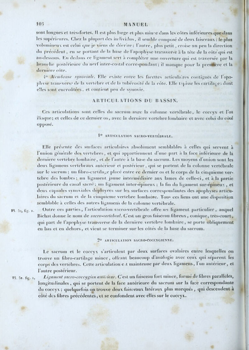 sont loiifînos et très-ftM’Ies. U csl plus cl plus min-c (!:iiis les cnlcs iiiférieiires que dans les supérieures. Clie/. la |iiupart des iii-lividiis, il seiuNi' composé de deux (aiseeaux; le plus volumineux est celui (pie je viens de décrire; I aulre, plus pelil , croise un peu la direclicjn du )irécédcnt , en se porlant de la hase de rapo|)hyse Irausverse à la lèle de la e()le qui est au-dessous, l'.n dedans ee lif^ament sert a compléler une ouverture (jui est traversée par la l)ranche postérieure ilu nei'l inter-costal coi'i'cspondanl ; il maïupie j)Our la première cl la dernière c()te. i Mcmhmnc syvovialc. Elle existe (uitre les facettes articulaires eoulij;uës de l'apo- plivse traii'-verse de la vertehre et de la tubérosité de la c(‘)te. Elle tijusse les cartila^ci tlont elles sont encroûtées, et contient peu de synovie. AHTICUl. ATI()N.S D Ll H AS.SIN. Ces articulations sont celles du sacrum av^ec la colonne vertébrale, le coccyx et l'os ili i(]ue; et celles île ce dernier os, avec la deriiiere vertébré lombaire et avec celui du côté opposé. l“ AailCI LATIOX SACnO-VEinélUIALK. Elle présente des surfaces articulaires absolument semblables à celles qui servent à runion générale îles vertébrés, et qui appartiennent d’une part à la face inférieure de la deriiiere vertébré lombaire, cl de l’autre à la base du sacrum. I.es moyens d’union sont les deux ligamens vertébraux antérieur et postérieur, (jui se portent de la colonne vertébrale sur le sacrum ; un fibro-carlila-e placé entre ce dernier os et le corps de la cinquième ver- lebre des lombes; un ligament jaune intermédiaire aux lames de celle-ci, et à la partie postérieure tlu canal sacre ; un ligament inter-épineux ; la fin du ligament sur-épineux , et deux ca[)sules synoviales iléployees sur les surfaces correspondantes des apophyses articu- laires du sacrum et de la cinquième vertebre lombaire. Tou« ces liens ont une disposition semblable à celles des autres ligamens de la colonne vertébrale, m iij. 1. Outre ces parties, rarticulalioii s icro-vertébrale olfre un ligament particulier, auquel Bichat donne le nom de sacro-verlcbral. C’est un gros faisceau fibreux , conique, très-court, qui part de l’apophyse Iransverse de la ileniiere vertèbre lombaire, se porte obliquement en bas et en dehors, et vient se terminer sur les côtés de la base du sacrum. 2° AaTICCLATlOX SACRO-COCCYGIEN N E. Le sacrum et le coccyx s’articulent par ileux surfaces ovalaires entre lesquelles on trouve un fibro-carlilage mince, olfrant beaucoup d analogie avec ceux qui séparent les corps des vertèbres. Celte articulation e,t maintenue par deux ligamens, run antérieur, et l’autre postérieur. PI. 5», fig. 1. Ligament sacro-coccygicn anléi iear. C’est un faisceau fort mince, forme de fibres parallèles, longitudinales, qui se portent de la face antérieure du sacrum sur la face correspondante du coccyx ; quelquefois on trouve deux faisceaux latéraux plus marqués , qui descendent à côté des fibres précédentes, et se confondent avec elles sur le coccyx.