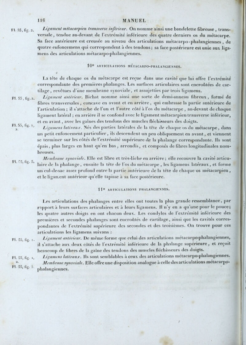 Fl. f>5, fig. 2. PI. 55, fig. 2. PI. 55, fig. 1, PJ. 55, fig. 5. PI. 55, fig, I. PI. 55, fig. ., a. PI. 55, fig. 5. Ligament métacarpien transverse inférieur. On nomme ainsi une bandcletle fibreuse , trans- versale, tendue au-devant de l’extrémité inférieure des quatre derniers os du métacarpe. Sa face antérieure est creusée au niveau des articulations métacarpo-phalangiennes , de quatre enfoncemens <jui correspondent à des tendons ; sa face postérieure est unie aux li^a- mens des articulations métacarpo-phalangiennes. 10“ AUTICULATIONS MÉTACARPO-PHALAXGIEXNES. La tète de chaque os du métacarpe est reçue dans une cavité que lui offre l’extrémité correspondante des premières phalanges. Les surfaces articulaires sont encroûtées de car- tilage , revêtues d’une membrane synoviale, et assujetties par trois ligamens. Ligament antérieur. Bichat nomme ainsi une sorte de demi-anneau fibreux , formé de fibres transversales , concave en avant et en arrière , qui embrasse la partie antérieure de l’articulation ; il s’attache de l’un et l’autre côté à l’os du métacarpe , au-devant dechatjue ligament latéral ; en arrière il se confond avec le ligament métacarpien transverse inférieur, et en avant, avec les gaines des tendons des muscles fléchisseurs des doigts. Ligamens latéraux. Nés des parties latérales de la tète de chaque os du métacarpe, dans un petit enfoncement particulier, ils descendent un peu obliquement en avant, et viennent se terminer sur les côtés de l’extrémité supérieure d,p la phalange correspondante. Ils sont épais, plus larges en haut qu’en bas , arrondis, et composés de fibres longitudinales nom- breuses. Membrane synoviale. Elle est libre et très-lâche en arrière; elle recouvre la cavité articu- laire de la phalange, ensuite la tète de l’os du métacarpe , les ligamens latéraux, et forme un cul-de-sac assez profond entre la partie antérieure de la tête de chaque os métacarpien , et le ligament antérieur qu’elle tapisse à sa face postérieure. 11“ ARTICULATIONS PHALANCIENNES. Les articulations des phalanges entre elles ont toutes la plus grande ressemblance, par rapport à leurs suifaces articulaires et à leurs ligamens. Il n’y en a qu’une pour le pouce; les quatre autres doigts en ont chacun deux. Les condylcs de l’extrémité inférieure des premières et secondes phalanges sont encroûtés de cartilage, ainsi que les cavités corres- pondantes de l’extrémité supérieure des secondes et des troisièmes. On trouve pour ces articulations les ligamens sulvans : Ligament antérieur. De même forme que celui des articulations métacarpo-phalangiennes, il s’attache aux deux côtés de l’extrémité inférieure de la phalange supérieure, et reçoit beaucoup de fibres de la gaine des tendons des muscles fléchisseurs des doigts. Ligamens latéraux. Us sont semblables à ceux des articulations métacarpo-phalangiennes. Membrane synoviale. Elle offre une disposition analogue à celle des articulations métacarpo- phalangiennes.
