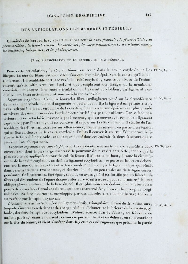 DES ARTICULATIONS DES MEMBRES IN FÉRIEURS. Examinées de haut en bas , ces articulations sont la coxo-fémorale , la fémoro-libiale , la péronéü-libiale , la libio-tarsienne , les tarsiennes, les tarso-mélalarsiennes , les métatarsiennes, les métalarso-phalagiennes, et les phalangiennes. 1“ DE l’articulation DE LA HANCHE, OU COXO-FEMOR ALE. Pour cette articulation , la tète du fémur est reçue dans la cavité colyloïde de l’os PI. 56, Cg. 2. iliaque. La tète du fémur est encroûtée d’un cartilage plus épais vers le centre qu’à la cir- conférence. Un semblable cartilage revêt la cavité cotyloïde , excepté au niveau de l’enfon- cernent qu’elle offre vers son fond , et que remplissent des franges de la membrane synoviale. On trouve dans cette articulation un ligament cotyloïdicn, un ligament cap- I sulaire, un inter-articulaire, et une membrane synoviale. Ligament cohjloïdien. C’est un bourrelet fibro carlilagineux placé sur la circonférence PL 56, fig. 2. I de la cavité cotyloïde, dont il augmente la profondeur. Il a la figure d’un prisme à trois J pans, adapté à la forme circulaire de la cavité qu’il entoure ; son épaisseur est plus grande il au niveau des échancrures des bol’ds de cette cavité que partout ailleurs. Par sa face pos- I téricure , il est attaché à l’os cosal; par l’externe, qui est convexe, il répond au ligament ij capsulaire ; par l’interne, qui est concave , il repose sur la tête du fémur. 11 résulte de l’as- ji semblage des fibres contournées sur elles-mêmes, lesquelles naissent en partie d’un tendon ‘i qui se fixe au-dessus de la cavité cotyloïde. En bas il convertit en trou l’échancrure infé- rieure de la cavité cotyloïde , et se trouve formé dans cet endroit de deux, faisceaux qui se I croisent fort obliquement. 1 Ligament capsulaire ou capsule fibreuse. Il représente une sorte de sac conoïde à deux PL 56, Gg. i. I ouvertures , dont la plus large embrasse le pourtour de la cavité cotyloïde, tandis que la I plus étroite est appliquée autour du col du fémur. II s’attache en haut, à toute la circonfé- ij rence de la cavité cotyloïde, au-delà du ligament cotyloïdien , se porte en bas et en dehors, entoure la tête du fémur, et vient se fixer au-devant du col , à la ligne oblique qui réunit dans ce sens les deux trochanters , et derrière le col, un peu au-dessus de la ligne corres- li pondante. Ce ligament est fort épais, surtout en avant, où il est fortifié par un faisceau de ’ fibres qui descendent de l’épine iliaque antérieure et inférieure , pour se terminer à la ligne > oblique placée au-devant de la base du col. 11 est plus mince en dedans que dans les autres points de sa surface. Parmi ses fibres, qui sont entrecroisées, il en est beaucoup de longi- tudinales. Sa face externe est enveloppée par des muscles épais et nombreux ; l’interne est revêtue par la capsule synoviale. C’est un ligament épais, triangulaire, formé de deux faisceaux, pj jg gg 2 lesquels s’insèrent en dedans et de chaque côté de l’échancrure inférieure de la cavité coty- I loïde, derrière le ligament cotyloïdien. D’abord écartés l’un de l’autre, ces faisceaux ne tardent pas à se réunir en un seul : celui-ci se porte en haut et en dehors , en se recourbant I sur la tête du fémur, et vient s’insérer dans la^» etite cavité rugueuse que présente la partie : i I i' i t \ \ i