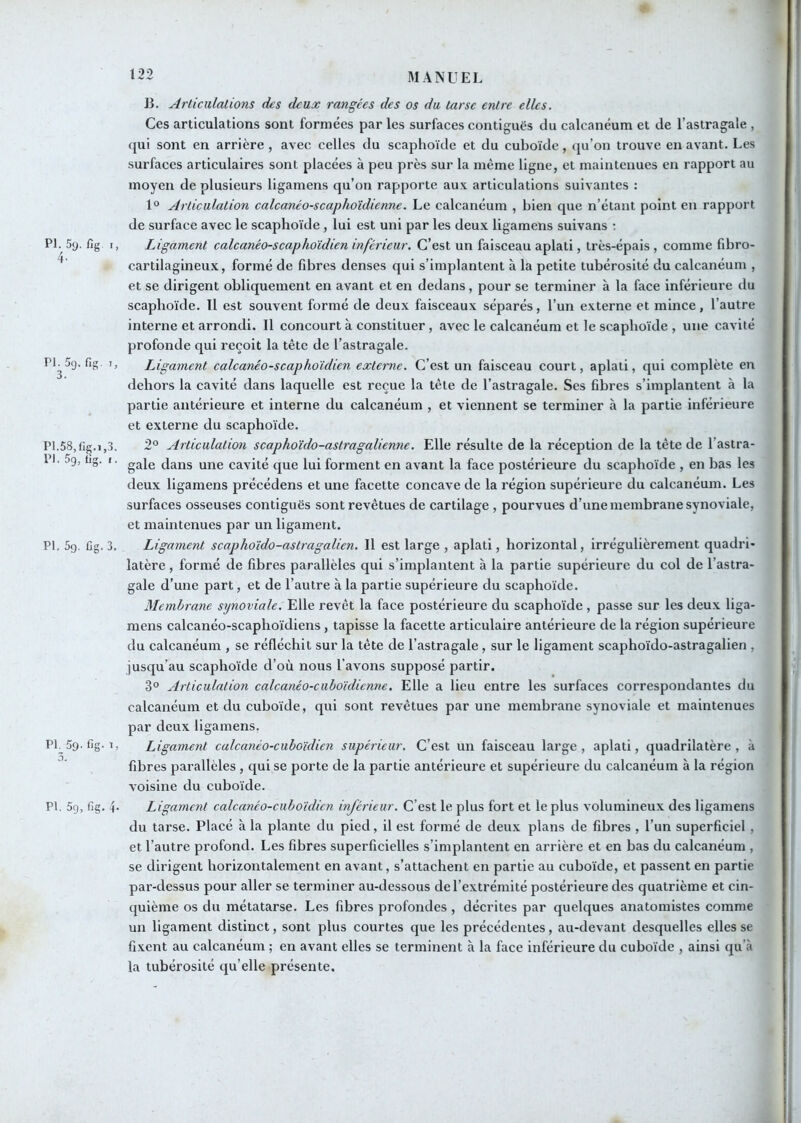 13. Articulations des deux rangées des os du tarse entre elles. Ces articulations sont formées par les surfaces contiguës du calcanéum et de l’astragale , ([ui sont en arrière , avec celles du scaphoïde et du cuboïde, qu’on trouve en avant. Les surfaces articulaires sont placées à peu près sur la même ligne, et maintenues en rapport au moyen de plusieurs ligamens qu’on rapporte aux articulations suivantes : 1° Articulation calcanéo-scaphoïdienne. Le calcanéum , bien que n’étant point en rapport de surface avec le scaphoïde, lui est uni par les deux ligamens suivans : PI. 59. fig I, Ligament calcanêo-scaphoïdien inférieur. C’est un faisceau aplati, très-épais, comme fibro- ^ cartilagineux, formé de fibres denses qui s’implantent à la petite tubérosité du calcanéum , et se dirigent obliquement en avant et en dedans, pour se terminer à la face Inférieure du scaphoïde. Il est souvent formé de deux faisceaux séparés, l’un externe et mince, l’autre interne et arrondi. Il concourt à constituer, avec le calcanéum et le scaphoïde , une cavité profonde qui reçoit la tête de l’astragale. PP5cj. fig. I, Ligament calcanêo-scaphoïdien externe. C’est un faisceau court, aplati, qui complète en dehors la cavité dans laquelle est reçue la tête de l’astragale. Ses fibi’es s’implantent à la partie antérieure et interne du calcanéum , et viennent se terminer à la partie inférieure et externe du scaphoïde. P1.58,fig.i,3. 2° Articulation scaphoido-astragalienne. Elle résulte de la réception de la tête de l’astra- P*' '■ gale dans une cavité que lui forment en avant la face postérieure du scaphoïde , en bas les deux ligamens précédens et une facette concave de la région supérieure du calcanéum. Les surfaces osseuses contiguës sont revêtues de cartilage , pourvues d’une membrane synoviale, et maintenues par un ligament. PI. 5g. fig. 3. Ligament scaphoïdo-astragalien. Il est large , aplati, horizontal, irrégulièrement quadri- latère , formé de fibres parallèles qui s’implantent à la partie supérieure du col de l’astra- gale d’une part, et de l’autre à la partie supérieure du scaphoïde. Membrane synoviale. Elle revêt la face postérieure du scaphoïde , passe sur les deux liga- raens calcanéo-scaphoïdiens, tapisse la facette articulaire antérieure de la région supérieure du calcanéum , se réfléchit sur la tête de l’astragale , sur le ligament scaphoïdo-astragalien , jusqu’au scaphoïde d’où nous l’avons supposé partir. 3° Articulation calcanéo-cuboïdienne. Elle a lieu entre les surfaces correspondantes du calcanéum et du cuboïde, qui sont revêtues par une membrane synoviale et maintenues par deux ligamens. Pf 59. fig. i, Ligament culcanéo-cuboïdien supérieur. C’est un faisceau large, aplati, quadrilatère, à fibres pai’allèles , qui se porte de la partie antérieure et supérieure du calcanéum à la région voisine du cuboïde. PI. 5g, fig. 4- Ligament calcanéo-cuboïdicn inférieur. C’est le plus fort et le plus volumineux des ligamens du tarse. Placé à la plante du pied, il est formé de deux plans de fibres , l’un superficiel , et l’autre profond. Les fibres superficielles s’implantent en arrière et en bas du calcanéum , se dirigent horizontalement en avant, s’attachent en partie au cuboïde, et passent en partie par-dessus pour aller se terminer au-dessous de l’extrémité postérieure des quatrième et cin- quième os du métatarse. Les fibres profondes , décrites par quelques anatomistes comme un ligament distinct, sont plus courtes que les précédentes, au-devant desquelles elles se fixent au calcanéum ; en avant elles se terminent à la face inférieure du cuboïde , ainsi qu’à la tubérosité qu’elle présente.