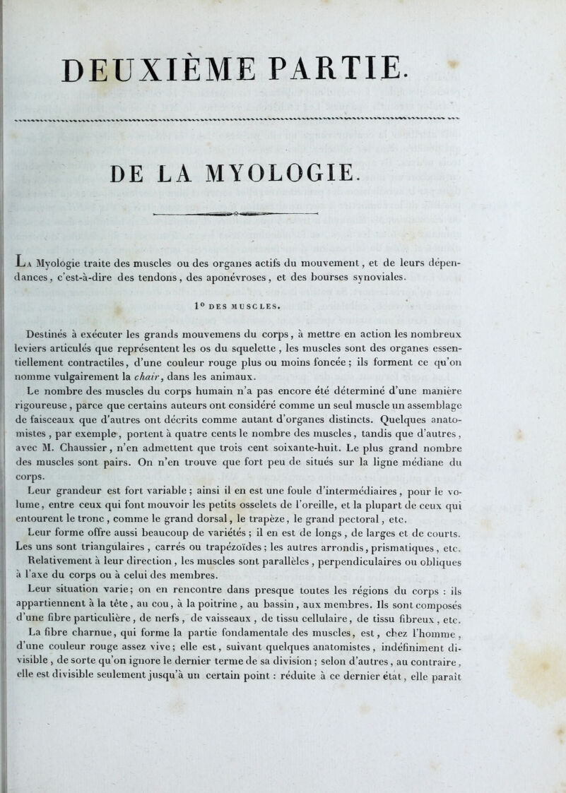 DE LA MYOLOGIE. JL A Myologie traite des muscles ou des organes actifs du mouvement, et de leurs dépen- dances, c’est-à-dire des tendons, des aponévroses, et des bourses synoviales. DES MUSCLES. Destinés à exécuter les grands mouvemens du corps, à mettre en action les nombreux leviers articulés que représentent les os du squelette, les muscles sont des organes essen- tiellement contractiles, d’une couleur rouge plus ou moins foncée ; ils forment ce qu’on nomme vulgairement la chair, dans les animaux. Le nombre des muscles du corps humain n’a pas encore été déterminé d’une manière rigoureuse, parce que certains auteurs ont considéré comme un seul muscle un assemblage de faisceaux que d'autres ont décrits comme autant d’organes distincts. Quelques anato- mistes , par exemple, portent à quatre cents le nombre des muscles, tandis que d’autres, avec M. Chaussier, n’en admettent que trois cent soixante-huit. Le plus grand nombre des muscles sont pairs. On n’en trouve que fort peu de situés sur la ligne médiane du corps. Leur grandeur est fort variable ; ainsi il en est une foule d’intermédiaires, pour le vo- lume, entre ceux qui font mouvoir les petits osselets de l’oreille, et la plupart de ceux qui entourent le tronc , comme le grand dorsal, le trapèze, le grand pectoral, etc. Leur forme offre aussi beaucoup de variétés ; il en est de longs, de larges et de courts. Les uns sont triangulaires , carrés ou trapézoïdes ; les autres arrondis, prismatiques, etc. Relativement à leur direction , les muscles sont parallèles , perpendiculaires ou obliques à l’axe du corps ou à celui des membres. Leur situation varie; on en rencontre dans presque toutes les régions du corps : ils appartiennent à la tête , au cou, à la poitrine , au bassin , aux membres. Ils sont composés d’une fibre particulière, de nerfs , de vaisseaux , de tissu cellulaire, de tissu fibreux , etc. La fibre charnue, qui forme la partie fondamentale des muscles, est, chez l’homme, d’une couleur rouge assez vive ; elle est, suivant quelques anatomistes, indéfiniment di- visible , de sorte qu’on ignore le dernier terme de sa division ; selon d’autres, au contraire, elle est divisible seulement jusqu’à un certain point : réduite à ce dernier état, elle paraît