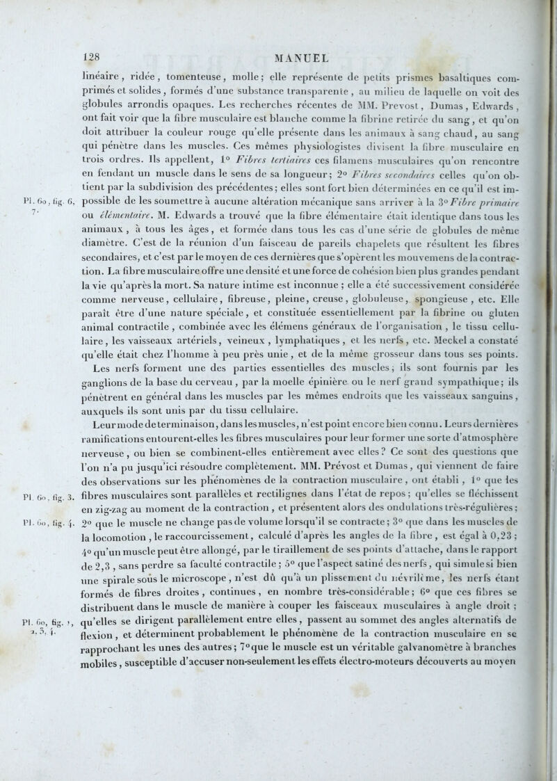 linéaire, ridée, tomenteiise, molle; elle représente de petits prismes basaltiques com- primés et solides, formés d’une substance transparente, au milieu de laquelle on voit des globules arrondis opaques. Les reclierclics récentes de MM. Prévost, Dumas, Edwards , ont fait voir que la fd)re musculaire est blanche comme la fibrine retirée du sang , et qu’on doit attribuer la couleur rouge qu’elle présente dans les animaux à sang chaud, au sang qui pénètre dans les muscles. Ces mêmes physiologistes divisent la fibre musculaire en trois ordres. Us appellent, 1° Fibres Icrliaircs ces filamcns musculaires qu’on rencontre en fendant un muscle dans le sens de sa longueur; 2° Fibres secondaires celles qu’on ob- tient par la subdivision des précédentes; elles sont fort bien déterminées en ce qu’il est im- l’I. (io, (ig. 6, possible de les soumettre à aucune altération mécanique sans arriver à la Fibre primaire ^ ou clémcnlairc. M. Edwards a trouvé que la fibre élémentaire était identique dans tous les animaux , à tous les âges, et formée dans tous les cas d’une série de globules de même diamètre. C’est de la réunion d’un faisceau de pareils chapelets que résultent les fibres secondaires, et c’est par le moyen de ces dernières que s’opèrent les mouvemens de la contrac- tion. La fibre musculaire offre une densité et une force de cohésion bien plus grandes pendant la vie qu’aprèsla mort. Sa nature intime est inconnue ; elle a été successivement considérée comme nerveuse, cellulaire, fibreuse, pleine, creuse, globuleuse, spongieuse, etc. Elle paraît être d’une nature spéciale, et constituée essentiellement par la fibrine ou gluten animal contractile , combinée avec les élémens généraux de l’organisation , le tissu cellu- laire, les vaisseaux artériels, veineux , lymphatiques, et les nei’fs, etc. Meckel a constaté qu’elle était chez l’homme à peu près unie, et de la même grosseur dans tous ses points. Les nerfs forment une des parties essentielles des muscles ; ils sont fournis par les ganglions de la base du cerveau , par la moelle épinière ou le nerf grand sympathique; ils pénètrent en général dans les muscles par les mêmes endroits que les vaisseaux sanguins, auxquels ils sont unis par du tissu cellulaire. Leur mode de terminaison, dans les muscles, n’est point encore bien connu. Leurs dernières ramifications entourent-elles les fibres musculaires pour leur former une sorte d’atmosphère nerveuse, ou bien se combinent-elles entièrement avec elles? Ce sont des questions que l’on n’a pu jusqu’ici résoudre complètement. MM. Prévost et Dumas , qui viennent de faire des observations sur les phénomènes de la contraction musculaire, ont établi , 1° que les PI (jo fi-T. 3. fibres musculaires sont parallèles et rectilignes dans l’état de repos; qu’elles se fléchissent en zig-zag au moment de la contraction , et présentent alors des ondulations très-régulières ; PI. ôo. Ü3. 4. 2“ que le muscle ne change pas de volume lorsqu’il se contracte ; 3° que dans les muscles de la locomotion , le raccourcissement, calculé d’après les angles de la fibre , est égal à 0,23 ; 40 qu’un muscle peut être allongé, par le tiraillement de ses points d’attache, dans le rapport de 2,3 , sans perdre sa faculté contractile ; 5° que l’aspect satiné desnerfs, qui simulesl bien une spirale sous le microscope, n’est dû qu’à un plissement du névriltme, les nerfs étant formés de fibres droites, continues, en nombre très-considérable; 6° que ces fibres se distribuent dans le muscle de manière à couper les faisceaux musculaires à angle tlroit ; PI. Go, tig. !, qu’elles se dirigent parallèlement entre elles, passent au sommet des angles alternatifs de '■ flexion, et déterminent probablement le phénomène de la contraction musculaire en se rapprochant les unes des autres; 7°que le muscle est un véritable galvanomètre à branches mobiles, susceptible d’accuser non-seulement les effets électro-moteurs découverts au moyen