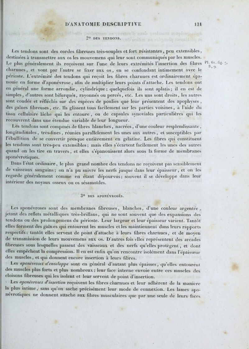 i ;i 9o DES TENDONS. jj Les tendons sont des cordes fibreuses très-souples et fort résistantes , peu extensibles, ! destinées à transmettre aux os les mouvemens qui leur sont communiqués par les muscles, j Le plus généralement ils reçoivent sur l’une de leurs extrémités l’insertion des fibres . charnues, et vont par l’autre se fixer aux os , en se confondant intimement avec le périoste. L’extrémité des tendons qui reçoit les fibres charnues est ordinairement épa- I nouie en forme d’aponévrose, afin de multiplier leurs points d’attache. Les tendons ont ! en général une forme arrondie, cylindrique; quelquefois ils sont aplatis; il en est de ; simples, d’autres sont bifurques, rayonnés ou percés, etc. Les uns sont droits, les autres j sont coudés et réfléchis sur des espèces de poulies que leur présentent des apophyses , des gaines fibreuses, etc. Ils glissent tous facilement sur les parties voisines, à l’aide du ( tissu cellulaire lâche qui les entoure, ou de capsules synoviales particulières qui les I recouvrent dans une étendue variable de leur longueur. I j Les tendons sont composés de fibres blanches, nacrées, d’une couleur resplendissante, I' longitudinales, très-fines, réunies parallèlement les unes aux autres, et susceptibles par I l’ébullition de se convertir presque entièrement en gélatine. Les fibres qui constituent à les tendons sont très-peu extensibles ; mais elles s’écartent facilement les unes des autres il quand on les tire en travers, et elles s’épanouissent alors sous la forme de membranes »| aponévrotiques. I Dans l’état ordinaire, le plus grand nombre des tendons ne reçoivent pas sensiblement j de vaisseaux sanguins ; on n’a pu suivre les nerfs jusque dans leur épaisseur, et on les j regarde généralement comme en étant dépourvus; souvent il se développe dans leur intérieur des noyaux osseux ou os sésamoïdes. 3° DES APONÉVROSES. Les aponévroses sont des membranes fibreuses, blanches, d’une couleur argentée, j jetant des reflets métalliques très-brillans, qui ne sont souvent que des expansions des '' tendons ou des prolongemens du périoste. Leur largeur et leur épaisseur varient. Tantôt !i elles forment des gaines qui entourent les muscles et les maintiennent dans leurs rapports îj respectifs; tantôt elles servent de point d’attache à leurs fibres charnues, et de moyen I de transmission de leurs mouvemens aux os. D’autres fois elles représentent des arcades [; fibreuses sous lesquelles passent des vaisseaux et des nerfs qu’elles protègent, et dont îj elles empêchent la compression. Il en est enfin qu’on rencontre isolément dans l’épaisseur |i des muscles, et qui donnent encore insertion à leurs fibres. I Les aponévroses d’enveloppe sont en général d’autant plus épaisses, qu’elles entourent || des muscles plus forts et plus nombreux ; leur face interne envoie entre ces muscles des I' cloisons fibreuses qui les isolent et leur servent de point d’insertion. || Les aponévroses reçoivent les fibres charnues et leur adhèrent de la manière |i la plus intime, sans qu’on sache précisément leur mode de connexion. Les lames apo- j! névrotiques ne donnent attache aux fibres musculaires que par une seule de leurs faces