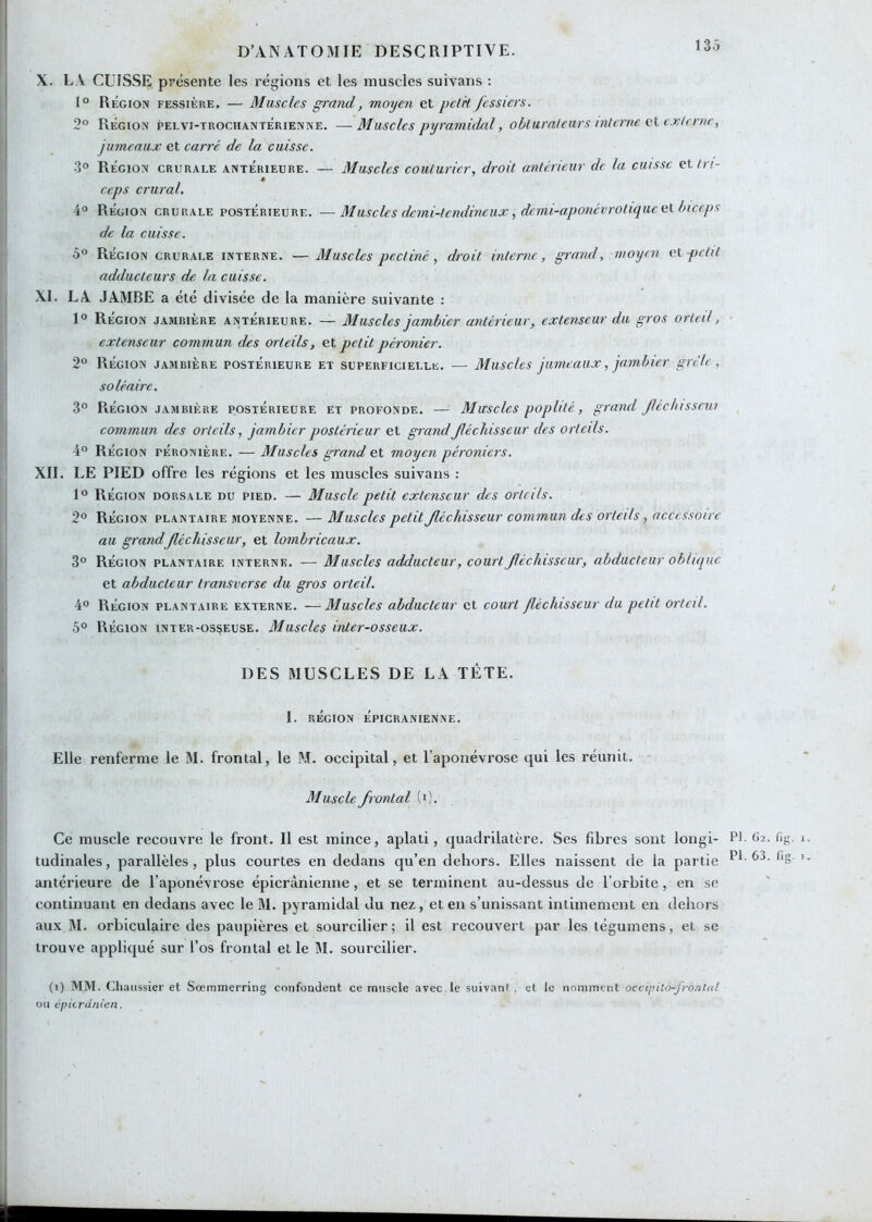 X. LA CUISSE présente les régions et les muscles suivans : 1° Région fessière. — Muscles grand, moyen et pclk fessiers. 2° Région pelvi-trociiantérienne. —Muscles pyramidcd, o bl lirai eur s interne cl ex te nie, jumeaux et carré de la cuisse. 3° Région crurale antérieure. — Muscles couturier, droit antérieur de la cuisse cl tri- ceps crural. 4® Région crurale postérieure. —Muscles demi-tendineux, demi-aponévrotiquc cl biceps de la cuisse. 5“ Région crurale interne. —Muscles pecliné, droit interne, grand, moyen cl petit adducteurs de la cuisse. XI. LA JAMBE a été divisée de la manière suivante : 1° Région jambière antérieure. — Muscles jambier antérieur, extenseur du gros orteil, ' extenseur commun des orteils, et petit péronier. 2° Région jambière postérieure et superficielle. — Muscles jumeaux, jambier gre'le, soléaire. 3° Région JAMBIÈRE postérieure et profonde. — Muscles poplité, grand fléchis sent commun des orteils, jambier postérieur et grand fléchisseur des orteils. 4° Région péronière. — Muscles grand et moyen péroniers. XII. LE PIED offre les régions et les muscles suivans : 1° Région dorsale du pied. — Muscle petit extenseur des orteils. 2° Région plantaire moyenne. — Muscles petit fléchisseur commun des orteilsaccessoire au grandfléchisseur, et lombricaux. 3° Région plantaire interne. — Muscles adducteur, court fléchisseur, abducteur ohliepic et abducteur transverse du gros orteil. 4° Région plantaire externe. —Muscles abducteur et court fléchisseur du petit orteil. 5° Région inter-osseuse. Muscles inter-osseux. DES MUSCLES DE LA TÊTE. 1. RÉGION Épicranienne. Elle renferme le M. frontal, le M. occipital, et l’aponévrose qui les réunit. Muscle frontal (0. Ce muscle recouvre le front. 11 est mince, aplati, quadrilatère. Ses fibres sont longi- tudinales, parallèles, plus courtes en dedans qu’en dehors. Elles naissent de la partie antérieure de l’aponévrose épicranienne, et se terminent au-dessus de l’orbite, en se continuant en dedans avec le M. pyramidal du nez, et en s’unissant intimement en dehors aux M. orbiculaire des paupières et sourcilier; il est recouvert par les tégumens, et se trouve appliqué sur l’os frontal et le IM. sourcilier. (i) MM. (^haussier et Sœmmerring confondent ce muscle avec Je suivant, et le nomment occipUo-jro.tial OU épicranien. ns -0