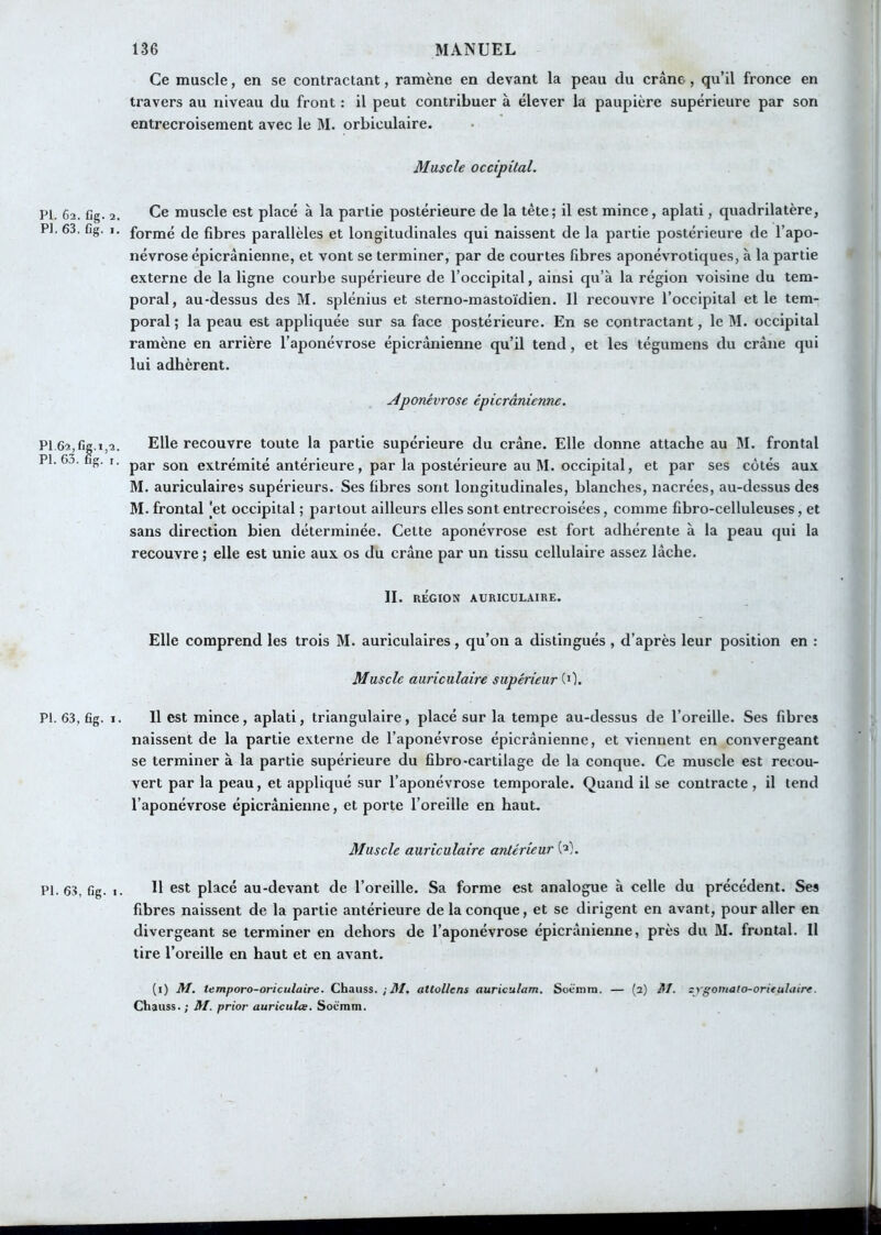 Ce muscle, en se contractant, ramène en devant la peau du crâne, qu’il fronce en travers au niveau du front : il peut contribuer à élever la paupière supérieure par son entrecroisement avec le M. orbiculaire. Muscle occipital. PI. 62. Cg. 2. Ce muscle est placé à la partie postérieure de la tête; il est mince, aplati, quadrilatère, PI. 63. Gg. I. formé de fibres parallèles et longitudinales qui naissent de la partie postérieure de l’apo- névrose épicranienne, et vont se terminer, par de courtes fibres aponévrotiques, à la partie externe de la ligne courbe supérieure de l’occipital, ainsi qu’à la région voisine du tem- poral, au-dessus des M. splénius et sterno-mastoïdien. 11 recouvre l’occipital et le tem- poral ; la peau est appliquée sur sa face postérieure. En se contractant, le M. occipital ramène en arrière l’aponévrose épicranienne qu’il tend, et les tégumens du crâne qui lui adhèrent. Aponévrose épicrânienne. PI 62, Gg.1,2. Elle recouvre toute la partie supérieure du crâne. Elle donne attache au M. frontal PI. 6j. Gg. r. extrémité antérieure, par la postérieure au M. occipital, et par ses côtés aux M. auriculaires supérieurs. Ses fibres sont longitudinales, blanches, nacrées, au-dessus des M. frontal |et occipital ; partout ailleurs elles sont entrecroisées, comme fibro-celluleuses, et sans direction bien déterminée. Cette aponévrose est fort adhérente à la peau qui la recouvre ; elle est unie aux os du crâne par un tissu cellulaire assez lâche. II. RÉGION AURICULAIRE. Elle comprend les trois M. auriculaires, qu’on a distingués , d’après leur position en : Muscle auriculaire supérieur (0. PI. 63, Gg. 1. Il est mince, aplati, triangulaire, placé sur la tempe au-dessus de l’oreille. Ses fibres naissent de la partie e.xterne de l’aponévrose épicrânienne, et viennent en convergeant se terminer à la partie supérieure du fibro-cartilage de la conque. Ce muscle est recou- vert par la peau, et appliqué .sur l’aponévrose temporale. Quand il se contracte , il tend l’aponévrose épicrânienne, et porte l’oreille en haut. Muscle auriculaire antérieur (^). PI. 63, Gg. I. 11 est placé au-devant de l’oreille. Sa forme est analogue à celle du précédent. Ses fibres naissent de la partie antérieure de la conque, et se dirigent en avant, pour aller en divergeant se terminer en dehors de l’aponévrose épicrânienne, près du M. frontal. 11 tire l’oreille en haut et en avant. (i) M. temporo-oriculaire. Chauss. ; M, attollens auriculam, Soënira. — (2) Jtl. 2ygomato-oritulatrt. Chauss. ; M. prior auriculœ. Socmm.
