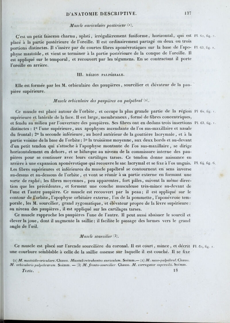 Muscle auriculaire postérieur (0. C’est un petit faisceau charnu , aplati, irrégulièrement fusiforme, horizontal, qui est placé à la partie postérieure de l’oreille. Il est ordinairement partagé en deux ou trois portions distinctes. Il s’insère par de courtes fibres aponévrotiques sur la base de l’apo- physe mastoïde, et vient se terminer à la partie postérieure de la conque de l’oreille. Il est appliqué sur le temporal, et recouvert par les tégumens. En se contractant il porte l’oreille en arrière. III. RÉGION PALPÉBRALE. Elle est formée par les M. orbiculaire des paupières, sourcilier et élévateur de la pau- pière supérieure. Muscle orbiculaire des paupières ou palpébral (^). Ce muscle est placé autour de l’orbite, et occupe la plus grande partie de la région supérieure et latérale de la face. Il est large, membraneux, formé de fibres concentriques, et fendu au milieu par l’ouverture des paupières. Ses fibres ont en dedans trois insertions distinctes : 1° Tune supérieure, aux apophyses ascendante de Tos sus-maxillaire et nasale du frontal ; 2° la seconde inférieure, au bord antérieur de la gouttière lacrymale , et à la partie voisine delà base de l’orbite ; 3° la troisième moyenne, aux deux bords et au-devant d’un petit tendon qui s'attache à l’apophyse montante de Tos sus-maxillaire, se dirige horizontalement en dehors, et se bifurque au niveau de la commissure interne des pau- pières pour se continuer avec leurs cartilciges tarses. Ce tendon donne naissance en arrière à une expansion aponévrotique qui recouvre le sac lacrymal et se fixe à Tos unguis. Les fibres supérieures et inférieures du muscle papébral se contournent en sens inverse au-dessus et au-dessous de Torbite , et vont se réunir à sa partie externe en foi’inant une sorte de raphé; les fibres moyennes, peu apparentes, fort pâles, suivent la même direc- tion que les précédentes, et forment une couche musculeuse très-mince au-devant de Tune et l’autre paupière. Ce muscle est recouvert par la peau; il est appliqué sur le contour de Torbite, l’apophyse orbitaire externe, Tos de la pommette, l’aponévrose tem- porale, les M. sourcilier, grand zygomatique, et élévateur propre de la lèvre supérieure ; au niveau des paupières, il est appliqué sur les cartilages tarses. Ce muscle rapproche les paupières Tune de l’autre. Il peut aussi abaisser le sourcil et élever la joue, dont il augmente la saillie; il facilite le passage des larmes vers le grand angle de l’œil. Muscle sourcilier (3). une courbure semblable à celle de la saillie osseuse sur laquelle il est couché. Il se fixe (i) M. mastoïdo-oriculare. Chauss. Musculiretrahentes auriculam. Soè'mm.'— (2) 31. naso-palpébral. Cliauss. 31. orbicularis palpebrarum. Soemm. — (3) 31. fronlo-sourcilier. Chauss. 31. corrugator supercilii. Socmm. Texte. 18 PI 62, fig. 2. PI 63, 6g. J. PI 62, 6g. I. PI. 63, 6g. I. PI. 64, fig. 6.