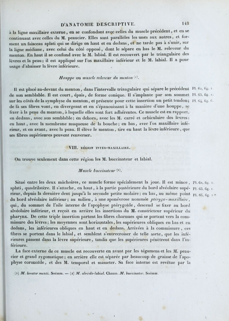 à la ligne maxillaire externe, en se confondant avec celles du muscle précédent, et en se continuant avec celles du M. pcaucier. Elles sont parallèles les unes aux autres, et for- ment un faisceau aplati qui se dirige en haut et en dedans, et ne tarde pas à s unir, sur la ligne médiane, avec celui du côté opposé, dont le sépare en bas le M. releveur du menton. En haut il se confond avec le M. labial. Il est recouvert par le triangulaire des lèvres et la peau; il est appliqué sur Tos maxillaire inférieur et le M. labial. Il a pour usage d’abaisser la lèvre inférieure. Houppe ou muscle releveur du menton Il est placé au-devant du menton, dans l’intervalle triangulaire qui sépare le précédent de son semblable. Il est court, épais, de forme conique. Il s’implante par son sommet sur les côtés de la symphyse du menton, et présente pour cette insertion un petit tendon; de là ses fibres vont, en divergeant et en s’épanouissant à la manière d’une houppe, se fixer à la peau du menton, à laquelle elles sont fort adhérentes. Ce muscle est en rapport, en dedans, avec son semblable; en dehors, avec les M. carré et orbiculaire des lèvres; en haut , avec la membrane muqueuse de la bouche ; en bas, avec l’os maxillaire infé- rieur, et en avant, avec la peau. Il élève le menton, tire en haut la lèvre inférieure, que ses fibres supérieures peuvent renverser. VIII. RÉGION INTER-MAXILLXIRE. On trouve seulement dans cette région les M. buccinateur et labial. Muscle buccinateur (^). Situé entre les deux mâchoires, ce muscle forme spécialement la joue. Il est mince , aplati, quadrilatère. 11 s’attache, en haut, à la partie postérieure du bord alvéolaire supé- rieur, depuis la dernière dent jusqu’à la seconde petite molaire ; en bas, au même point du bord alvéolaire inférieur; au milieu, à une aponévrose nommée ptéry go - maxillaire, qui, du sommet de l’aile interne de l’apophyse ptérygoïde, descend se fixer au bord alvéolaire inférieur, et reçoit en arrière les insertions du M. constricteur supérieur du pharynx. De cette triple insertion partent les fibres charnues qui se portent vers la com- missure des lèvres ; les moyennes sont horizontales, les supérieures obliques en bas et en dedans, les inférieures obliques en haut et en dedans. Arrivées à la commissure, ces fibres se portent dans le labial, et semblent s’entrecroiser de telle sorte, que les infé- rieures passent dans la lèvre supérieure, tandis que les supérieures pénètrent dans l’in- férieure. La face externe de ce muscle est recouverte en avant par les tégumens et les M. peau- eier et grand zygomatique ; en arrière elle est séparée par beaucoup de graisse de l’apo- physe coronoïde, et des M. temporal et masseter. Sa face interne est revêtue par la PI. 62, iîg. I PI. 63, fig. 1 PI. 64, fig. 6 PI. 62, fig. 1 PI. 63, fig. 1 PI. 66, fig. I (1) M. levator menti. Soèttim. — (2) M. àlvéolo-lahial. Chauss. M, huccinatov, Soëmm.