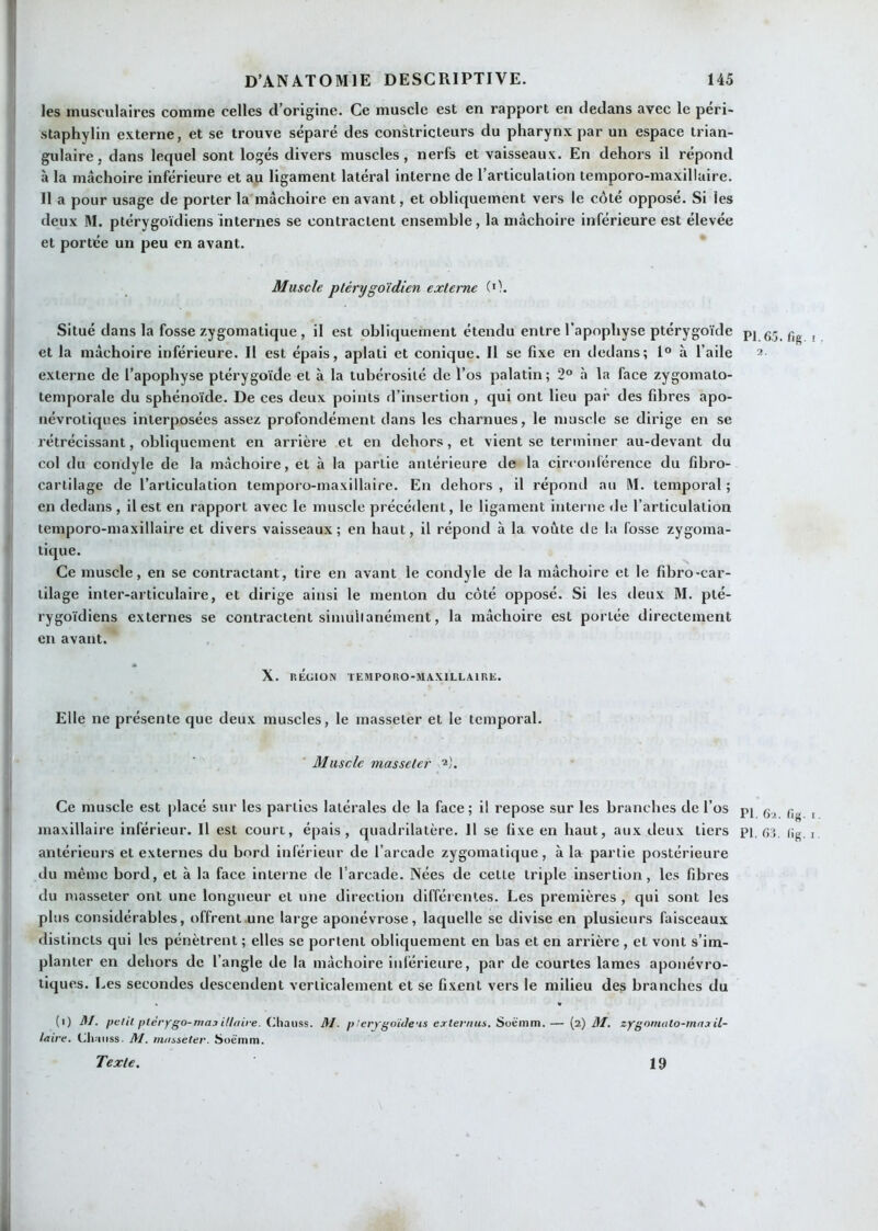 les musculaires comme celles d’origine. Ce muscle est en rapport en dedans avec le peri- staphylin externe, et se trouve séparé des constricteurs du pharynx par un espace trian- gulaire. dans lequel sont logés divers muscles, nerfs et vaisseaux. En dehors il répond à la mâchoire inférieure et au ligament latéral interne de l’articulation temporo-maxillaire. Il a pour usage de porter la'mâchoire en avant, et obliquement vers le côté opposé. Si les deux M. ptérygoïdiens internes se contractent ensemble, la mâchoire inférieure est élevée et portée un peu en avant. * Muscle ptérygoïdien externe (0. Situé dans la fosse zygomatique, il est obliquement étendu entre l’apophyse ptérygoïde pj et la mâchoire inférieure. Il est épais, aplati et conique. Il se fixe en dedans; 1® à l’aile 2. externe de l’apophyse ptérygoïde et à la tubérosité de l’os palatin ; 2® .1 la face zygomato- temporale du sphénoïde. De ces deux points d’insertion , qui ont lieu par des fibres apo- névrotiques interposées assez profondément dans les charnues, le muscle se dirige en se rétrécissant, obliquement en arrière et en dehors, et vient se terminer au-devant du col du condyle de la mâchoire, et à la partie antérieure de la circonférence du fibro- cartilage de l’articulation temporo-maxillaire. En dehors , il répond au M. temporal ; en dedans, il est en rapport avec le muscle précédent, le ligament interne île l’articulation temporo-maxillaire et divers vaisseaux; en haut, il répond à la voûte de la fosse zygoma- tique. Ce muscle, en se contractant, tire en avant le condyle de la mâchoire et le fdjro-car- tilage inter-articulaire, et dirige ainsi le menton du côté opposé. Si les deux M. pté- rygoïdiens externes se contractent simuilanément, la mâchoire est portée directement en avant. X. RÉülON TEMPORO-MAXILLAIRE. Elle ne présente que deux muscles, le masseter et le temporal. Muscle masseter 2). Ce muscle est jilacé sur les parties latérales de la face; il repose sur les branches de l’os pj maxillaire inférieur. Il est court, épais, quadrilatère. H se fixe en haut, aux deux tiers pi, 6.}. (ig antérieurs et externes du bord inférieur de l’arcade zygomatique, à la partie postérieure du même bord, et à la face interne de l’arcade. Nées de cette triple insertion, les fibres du masseter ont une longueur et une direction différentes. Les premières , qui sont les plus considérables, offrent une large aponévrose, laquelle se divise en plusieurs faisceaux distincts qui les pénètrent ; elles se portent obliquement en bas et en arrière , et vont s’im- planter en dehors de l’angle de la mâchoire inférieure, par de courtes lames apouévro- tiques. Les secondes descendent verticalement et se fixent vers le milieu des branches du (i) A/, petit ptèrygo-niaj i/ltiire. Chauds. M. plerjgoïJeus eater/ius. Soëmm.— (2) it/, zygoinato-maiil- laire. Lli.iuss. M. mnsseter. Soè'mm. Texte. 19