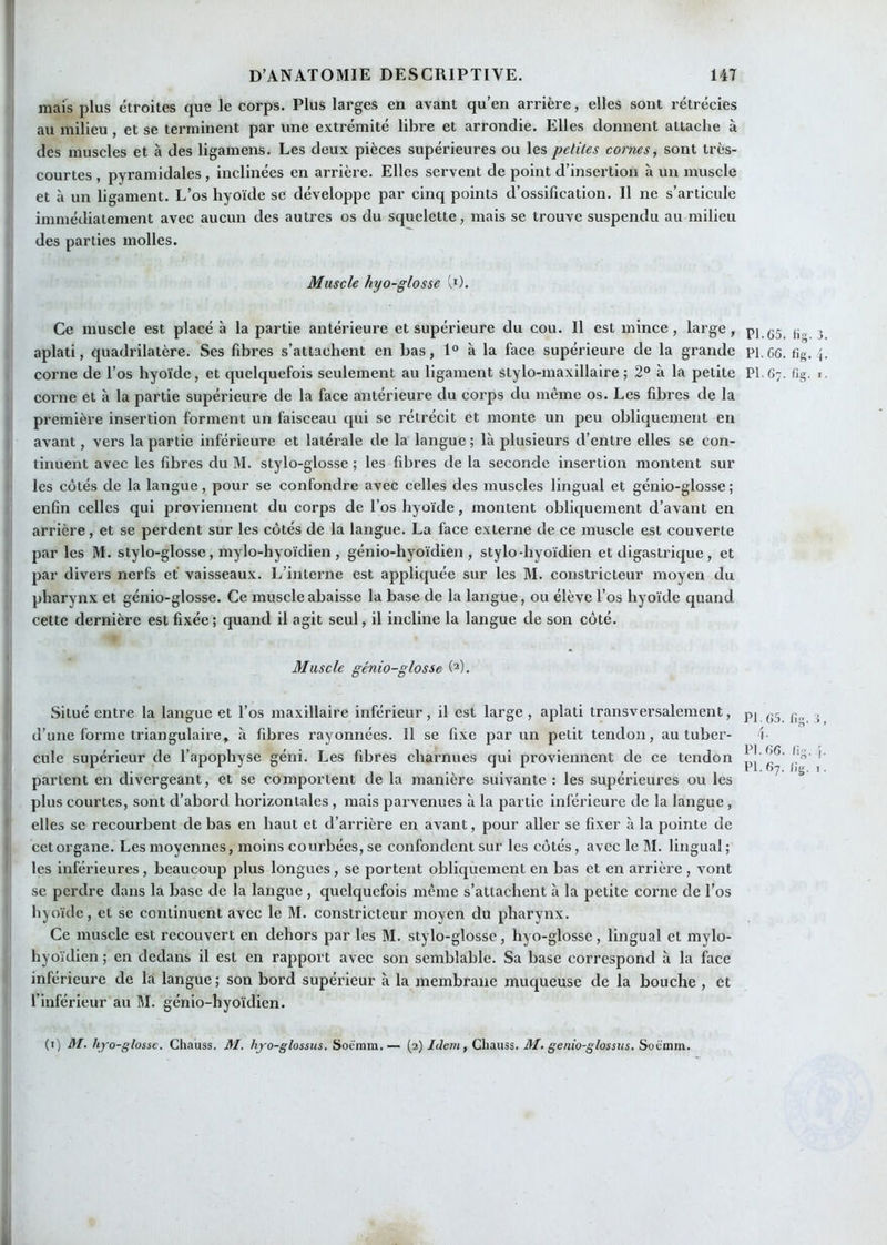 mais plus étroites que le corps. Plus larges en avant qu’en arrière, elles sont rétrécies au milieu, et se terminent par une extrémité libre et arrondie. Elles donnent attache à des muscles et à des ligamens. Les deux pièces supérieures ou les petites cornes, sont très- courtes , pyramidales, inclinées en arrière. Elles servent de point d’insertion à un muscle et à un ligament. L’os hyoïde se développe par cinq points d’ossification. Il ne s’articule immédiatement avec aucun des autres os du squelette, mais se trouve suspendu au milieu des parties molles. Muscle hyo-glosse lO. Ce muscle est placé à la partie antérieure et supérieure du cou. Il est mince, large, pi.(j5_ jj,, 3 aplati, quadrilatère. Ses fibres s’attachent en bas, 1° à la face supérieure de la grande pi,66. lig. { corne de l’os hyoïde, et quelquefois seulement au ligament stylo-maxillaire; 2“ à la petite PI.67. fig. i corne et à la partie supérieure de la face antérieure du corps du même os. Les fibres de la première insertion forment un faisceau qui se rétrécit et monte un peu obliquement en avant, vers la partie inférieure et latérale de la langue ; là plusieurs d’entre elles se con- tinuent avec les fibres du M. stylo-glosse ; les fibres de la seconde insertion montent sur les côtés de la langue, pour se confondre avec celles des muscles lingual et génio-glosse ; enfin celles qui proviennent du corps de l’os hyoïde, montent obliquement d’avant en arrière, et se perdent sur les côtés de la langue. La face externe de ce muscle est couverte par les M. stylo-glosse, mylo-hyoïdien , génio-hyoïdien , stylo-hyoïdien et digastrique, et par divers nerfs et vaisseaux. L’interne est appliquée sur les M. constricteur moyen du pharynx et génio-glosse. Ce muscle abaisse la base de la langue, ou élève l’os hyoïde quand cette dernière est fixée; quand il agit seul, il incline la langue de son côté. Muscle génio-glosse (2). Situé entre la langue et l’os maxillaire inférieur, il est large, aplati transversalement, pj jj,. . d'une forme ti'iangulaire, à fibres rayonnées. Il se fixe par un petit tendon, au tuber- i- cille supérieur de l’apophyse géni. Les fibres charnues qui proviennent de ce tendon p} p”’* partent en divergeant, et se comportent de la manière suivante : les supérieures ou les plus courtes, sont d’abord horizontales, mais parvenues à la partie inférieure de la langue, elles se recourbent de bas en haut et d’arrière en avant, pour aller se fixer à la pointe de cetorgane. Les moyennes, moins courbées, se confondent sur les côtés, avec le M. lingual; les inférieures, beaucoup plus longues, se portent obliquement en bas et en arrière, vont se perdre dans la base de la langue , quelquefois même s’attachent à la petite corne de l’os hyoïde, et se continuent avec le M. constricteur moyen du pharynx. Ce muscle est recouvert en dehors par les M. stylo-glosse, hyo-glosse, lingual et mylo- hyoïdien ; en dedans il est en rapport avec son semblable. Sa base correspond à la face inférieure de la langue; son bord supérieur à la membrane muqueuse de la bouche , et l’inférieur au M. génio-hyoïdien. (i) M, hyo-gtosse. Chauss. M. hyo-glossus, Soéïnm.— (2) Idem, Cliaiiss. M. genio-gtossus, Soëmm.