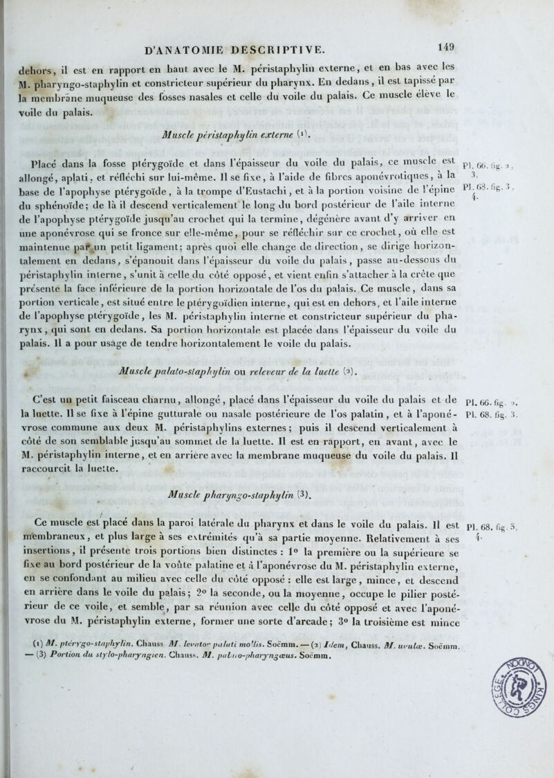 dehors, il est en rapport en haut avec le M. péristaphyliii externe, et en bas avec les M. pharyngo-staphylin et constricteur supérieur du pharynx. En dedans, il est tapisse par la membrane muqueuse des fosses nasales et celle du voile du palais. Ce muscle élève le voile du palais. Musclepéristaphylin externe Placé dans la fosse plérygoïde et dans l’épaisseur du voile du palais, ce muscle est pj allongé, aplati, et réfléchi sur lui-méme. 11 se fixe, à l’aide de fibres aponévrotiques, à la 3, base de l’apophyse ptérygoïde, à la trompe d’Eustachi, et à la portion voisine de 1 épine du sphénoïde; de là il descend verticalement le long du bord postérieur de l’aile interne de l’apophyse plérygoïde jusqu’au crochet qui la termine, dégénère avant d’y arriver en une aponévrose c^ui se fronce sur elle-même, pour se réfléchir sur ce crochet, où elle est maintenue pafyin petit ligament; après quoi elle change de ilirection, se dirige horizon- talement en dedans, s’épanouit dans l’épaisseur du voile du palais, passe au-dessous du péristaphylin interne , s’unit à celle du coté opposé, et vient enfin s’attacher à la crête que présente la face inférieure de la portion horizontale de l’os du palais. Ce muscle, dans sa portion verticale, est situé entre le plérygoïdien interne, qui est en dehors, et l’aile interne de l’apophyse plérygoïde, les M. péristaphylin interne et constricteur supérieur du pha- rynx, qui sont en dedans. Sa portion horizontale est placée dans l’épaisseur du voile du palais. Il a pour usage de tendre horizontalement le voile du palais. Musclepalato-slaplnjlin ou releveur de la luette b). C’est un petit faisceau charnu, allongé, placé dans l’épaisseur du voile du palais et de fig. la luette. Il se fixe à l’épine gutturale ou nasale postérieure de l’os palatin , et à l’aponé- PI. 68. 3. vro.se commune aux deux M. péristaphylins externes; puis il descend verticalement à côté de son semblable jusqu’au sommet de la luette. Il est en rapport, en avant, avec le M. péristaphylin interne, et en arrière avec la membrane muqueuse du voile du palais. Il raccourcit la luette. Muscle pharyngo-staphylin (3). Ce muscle est placé dans la paroi latérale du pharynx et dans le voile du palais. Il est pi, 68. %. 3, membraneux, et plus large à ses extrémités qu’à sa partie moyenne. Relativement à ses insertions, il présente trois portions bien distinctes : 1° la première ou la supérieure se fixe au bord postérieur de la voûte palatine et à l’aponévrose du M. péristaphylin externe, en se confondant au milieu avec celle du côté opposé : elle est large, mince, et descend en arrière dans le voile du padais; 2° la seconde, ou la moyenne, occupe le pilier posté- rieur de ce voile, et semble, par sa réunion avec celle du côté opposé et avec l’aponé- vrose du M. péristaphylin externe, former une sorte d’arcade ; 3° la troisième est mince (i) ^/. ptérygo-staphylin. Chaiiss M levnto>- patuti mo'tis. Soèmm. — (2) Ltem, Cliaass. M. mnilce. Soëmni. •— (3) Portion du stylo-pharyngien. Chauss. M. pul.uo-pharyngcBUS. Socimn.