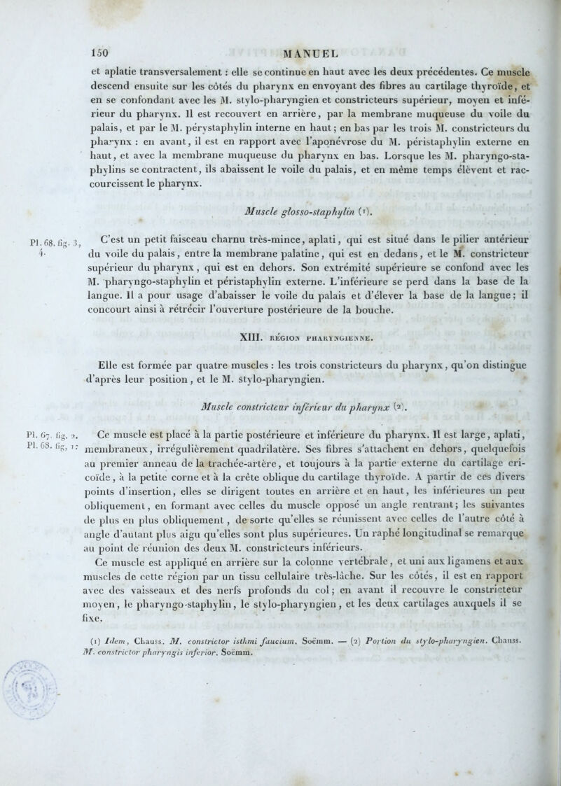 Pl.fiS. fig. 4- PI. (>7. iig. ? PI. 6». fig, 7 et aplatie transversalement : elle se continue en haut avec les deux précédentes. Ce muscle descend ensuite sur les côtés du pharynx en envoyant des fibres au cartilage thyroïde, et en se confondant avec les M. stvlo-pharyngien et constricteurs supérieur, moyen et infé- l'ieur du pharynx. 11 est recouvert en arrière, par la membrane muqueuse du voile du palais, et par le M. pérvstaphylin interne en haut; en bas par les trois M. constricteurs du ph a-ynx : en avant, il est en rapport avec l’aponévrose du M. péristaphylin externe en haut, et avec la membrane muqueuse du pharynx en bas. Lorsque les M. pharyngo-sta- phylins se contractent, ils abaissent le voile du palais, et en même temps élèvent et rac- courcissent le pharynx. Muscle glosso-staphylin (0. C’est un petit faisceau charnu très-mince, aplati, qui est situé dans le pilier antérieur du voile du palais, entre la membrane palatine, qui est en dedans, et le M. constricteur supérieur du pharynx, qui est en dehors. Son extrémité supérieure se confond avec les M. pharyngo-staphylin et péristaphylin extei’ne. L’inférieure se perd dans la base de la langue, il a pour usage d’abaisser le voile du palais et d’élever la base de la langue; il concourt ainsi à rétrécir l’ouverture postérieure de la bouche. XIII. RÉGIOjN PHAKY-XUlEiMINE. Elle est formée par quatre muscles : les trois constricteurs du pharynx, qu’on distingue d’après leur position, et le M. stylo-pharyngien. Muscle constricteur inférieur du pharynx W. Ce muscle est placé à la partie postérieure et inférieure du pharvnx. Il est large, aplati, membraneux, irrégulièrement quadrilatère. Ses fibres s’attachent en dehors, quelquefois au premier anneau de la trachée-artère, et toujours à la partie externe du cartilage cri- coïde, à la petite corne et h la crête oblique du cartilage thyroïde. A partir de ces divers points d’insertion, elles se dirigent toutes en arrière et eu haut, les inférieures un peu obliquement, en formant avec celles du muscle opposé un angle rentrant; les suivantes de plus en plus obliquement, de sorte qu’elles se réunissent avec celles de 1 autre côté à angle d’autant plus aigu qu elles sont plus supérieures. Un raphe longitudinal se remarque au point de réunion des deux M. constricteurs inférieurs. Ce muscle est appliqué en arrière sur la colonne vertébrale, et uni aux ligamens et aux muscles de cette région par un tissu cellulaire très-làche. Sur les côtés, il est en rapport avee des vaisseaux et des nerfs profonds du col ; en avant il recouvre le constricteur moyen, le pharyngo-staphylin, le stylo-pharyngien, et les deu.x cartilages auxquels il se fixe. (i) Idem, Chauss. M. constriclor istlimi faucium. Soéïnni. — (2) Portion du slj to-pharyngien. Cliauss. M. constriclor pharyngis inferior. Soemm.