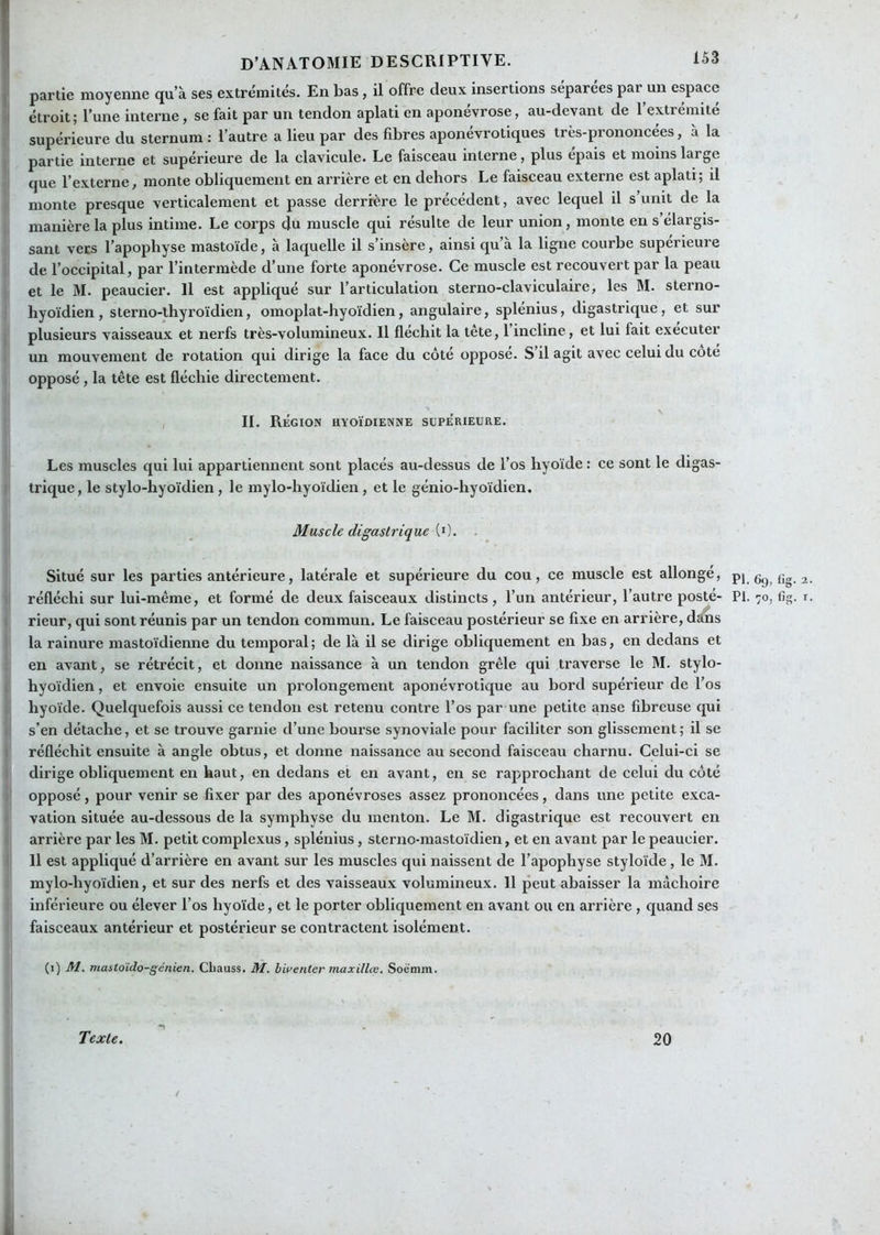 partie moyenne qu’à ses extrémités. En bas, il offre deux insertions séparées par un espace étroit; l’une interne, se fait par un tendon aplati en aponévrose, au-devant de l’extrémité supérieure du sternum : l’autre a lieu par des fibres aponévrotiques très-prononcées, à la partie interne et supérieure de la clavicule. Le faisceau interne, plus épais et moins large que l’externe, monte obliquement en arrière et en dehors Le faisceau externe est aplati; il monte presque verticalement et passe derrière le précédent, avec lequel il s’unit de la manière la plus intime. Le corps du muscle qui résulte de leur union, monte en s’élargis- sant vers l’apophyse mastoïde, à laquelle il s’insère, ainsi qu a la ligne courbe supérieure de l’occipital, par l’intermède d’une forte aponévrose. Ce muscle est recouvert par la peau et le M. peaucier. 11 est appliqué sur l’articulation sterno-claviculaire, les M. sterno- hyoïdien, sterno-thyroïdien, omoplat-hyoïdien, angulaire, splénius, digastrique, et sur plusieurs vaisseaux et nerfs très-volumineux. 11 fléchit la tete, 1 incline, et lui fait executer un mouvement de rotation qui dirige la face du côté opposé. S’il agit avec celui du coté opposé, la tête est fléchie directement. ^ V , IL Région hyoïdienne supérieure. Les muscles qui lui appartiennent sont placés au-dessus de Tos hyoïde : ce sont le digas- trique, le stylo-hyoïdien, le mylo-hyoïdien, et le génio-hyoïdien. Muscle digastrique (i). . Situé sur les parties antérieure, latérale et supérieure du cou, ce muscle est allongé, réfléchi sur lui-même, et formé de deux faisceaux distincts, l’un antérieur, l’autre posté- rieur, qui sont réunis par un tendon commun. Le faisceau postérieur se fixe en arrière, dans la rainure mastoïdienne du temporal; de là il se dirige obliquement en bas, en dedans et en avant, se rétrécit, et donne naissance à un tendon grêle qui traverse le M. stylo- hyoïdien , et envoie ensuite un prolongement aponévrotique au bord supérieur de l’os hyoïde. Quelquefois aussi ce tendon est retenu contre l’os par une petite anse fibreuse qui s’en détache, et se trouve garnie d’une bourse synoviale pour faciliter son glissement ; il se 1 réfléchit ensuite à angle obtus, et donne naissance au second faisceau charnu. Celui-ci se ' dirige obliquement en haut, en dedans et en avant, en se rapprochant de celui du côté 1 opposé , pour venir se fixer par des aponévroses assez prononcées, dans une petite exca- vation située au-dessous de la symphyse du menton. Le M. digastrique est recouvert en arrière par les M. petit complexus, splénius , sterno-mastoïdien, et en avant par le peaucier. ' 11 est appliqué d’arrière en avant sur les muscles qui naissent de l’apophyse styloïde, le M. mylo-hyoïdien, et sur des nerfs et des vaisseaux volumineux. 11 peut abaisser la mâchoire inférieure ou élever l’os hyoïde, et le porter obliquement en avant ou en arrière , quand ses faisceaux antérieur et postérieur se contractent isolément. (i) M. mastoïdo-génien. Cbauss. M. biventer inaxillce, Soè’mm. i Ü Texte. 20